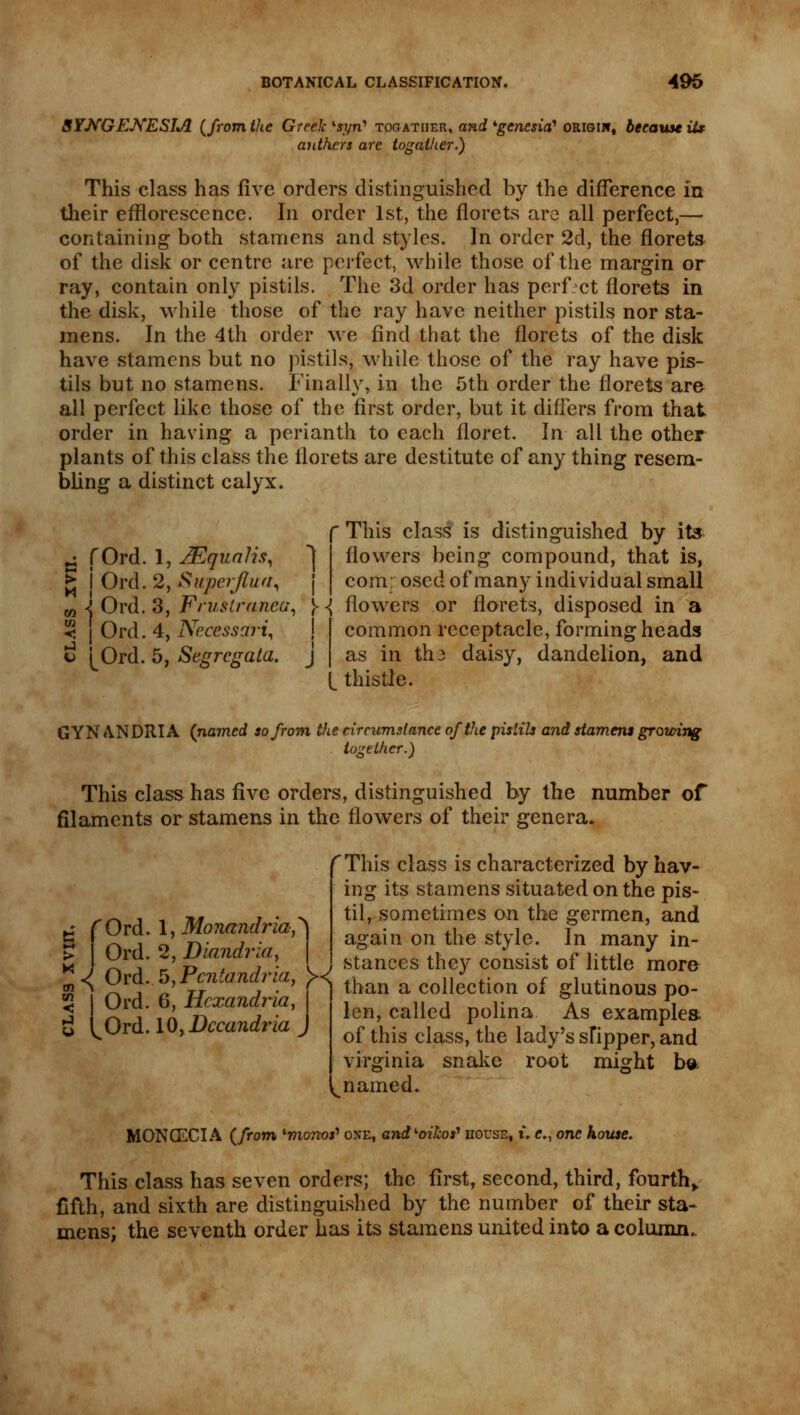 3YNGENESIA {from the Greek lsyn' togatiier, and Agenesia'' origijt, because Us anthers are togatiier.) This class has live orders distinguished by the difference in their efflorescence. In order 1st, the florets are all perfect,— containing both stamens and styles. In order 2d, the florets of the disk or centre are perfect, while those of the margin or ray, contain only pistils. The 3d order has perfect florets in the disk, while those of the ray have neither pistils nor sta- mens. In the 4th order we find that the florets of the disk have stamens but no pistils, while those of the ray have pis- tils but no stamens. Finally, in the 5th order the florets are all perfect like those of the first order, but it differs from that order in having a perianth to each floret. In all the other plants of this class the florets are destitute of any thing resem- bling a distinct calyx. j fOrd. 1, JEquaUs, > i ' I Ord. 2, Superflun, ' This class is distinguished by its flowers being compound, that is, com: oscd of many individual small w -j Ord. 3, Frustrunca, y <{ flowers or florets, disposed in a < J Ord. 4, Nccessari, common receptacle, forming heads as in tli3 daisy, dandelion, and thistle. B [Ord. 5, Segrcgata. j GYN A.NDRI A (named so from the circumstance of the pistils and stamen* growing together.) This class has five orders, distinguished by the number of filaments or stamens in the flowers of their genera. e- fOrd. 1, Monandria, 1 Ord. 2, Diandria, rThis class is characterized by hav- ing its stamens situated on the pis- til, sometimes on the germen, and again on the style. In many in- stances they consist of little more u l^Ord. 10, Dccandria J K. len, called polina As examples, of this class, the lady's sHpper, and Virginia snake root might b& named. MONCECIA (from ^monos^ one, and '-oikos'1 house, t. c, one house. This class has seven orders; the first, second, third, fourth,, fifth, and sixth are distinguished by the number of their sta- mens; the seventh order has its stamens united into a column.