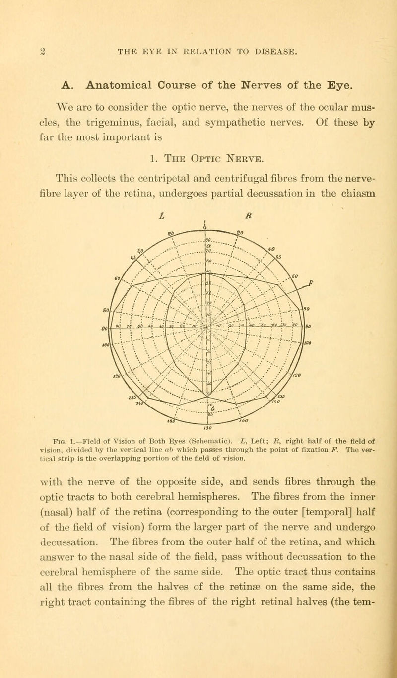 A. Anatomical Course of the Nerves of the Eye. We are to consider the optic nerve, the nerves of the ocular mus- cles, the trigeminus, facial, and sj'mpathetic nerves. Of these by far the most important is 1. The Optic Nerve. This collects the centripetal and centrifugal fibres from the nerve- fibre layer of the retina, undergoes partial decussation in the chiasm Fig. 1.—Field of Vision of Both Eyes (Schematic). L, Left; R, right half of the field of vision, divided by the vertical line ab which passes through the point of fixation F. The ver- tical strip is the overlapping portion of the field of vision. with the nerve of the opposite side, and sends fibres through the optic tracts to both cerebral hemispheres. The fibres from the inner (nasal) half of the retina (corresponding to the outer [temporal] half of the field of vision) form the larger part of the nerve and undergo decussation. The fibres from the outer half of the retina, and which answer to the nasal side of the field, pass without decussation to the cerebral hemisphere of the same side. The optic tract thus contains all the fibres from the halves of the retinae on the same side, the right tract containing the fibres of the right retinal halves (the tern-