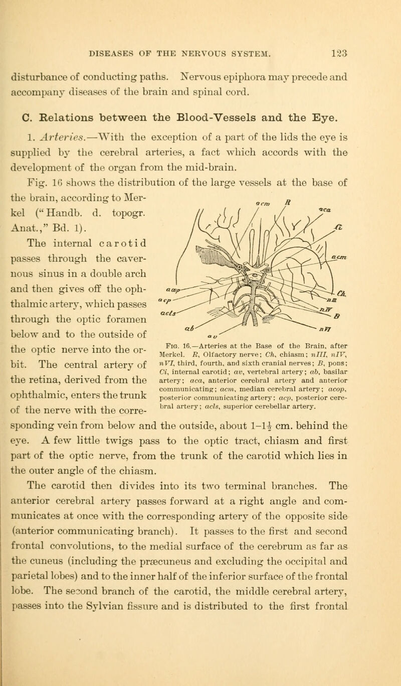 disturbance of conducting paths. Nervous epiphora may precede and accompany diseases of the brain and spinal cord. C. Relations between the Blood-Vessels and. the Eye. 1. Arteries.—With the exception of a part of the lids the eye is supplied by the cerebral arteries, a fact which accords with the development of the organ from the mid-brain. Fig. 10 shows the distribution of the large vessels at the base of the brain, according to Mer- kel ( Handb. d. topogr. Anat, Bd. 1). The internal carotid passes through the caver- nous sinus in a double arch and then gives off the oph- thalmic artery, which passes through the optic foramen below and to the outside of the optic nerve into the or- bit. The central artery of the retina, derived from the ophthalmic, enters the trunk of the nerve with the corre- sponding vein from below and the outside, about 1-1| cm. behind the eye. A few little twigs pass to the optic tract, chiasm and first part of the optic nerve, from the trunk of the carotid which lies in the outer angle of the chiasm. The carotid then divides into its two terminal branches. The anterior cerebral artery passes forward at a right angle and com- municates at once with the corresponding artery of the opposite side (anterior communicating branch). It passes to the first and second frontal convolutions, to the medial surface of the cerebrum as far as the cuneus (including the prsecuneus and excluding the occipital and parietal lobes) and to the inner half of the inferior surface of the frontal lobe. The second branch of the carotid, the middle cerebral artery, passes into the Sylvian fissure and is distributed to the first frontal Fig. 16.—Arteries at the Base of the Brain, after Merkel. i?, Olfactory nerve; Ch, chiasm; nUI, nIV, nVI, third, fourth, and sixth cranial nerves; B, pons; Ci, internal carotid; av, vertebral artery; ab, basilar artery; aca, anterior cerebral artery and anterior communicating; acm, median cerebral artery; acop, posterior communicating artery: acp, posterior cere- bral artery; acls, superior cerebellar artery.