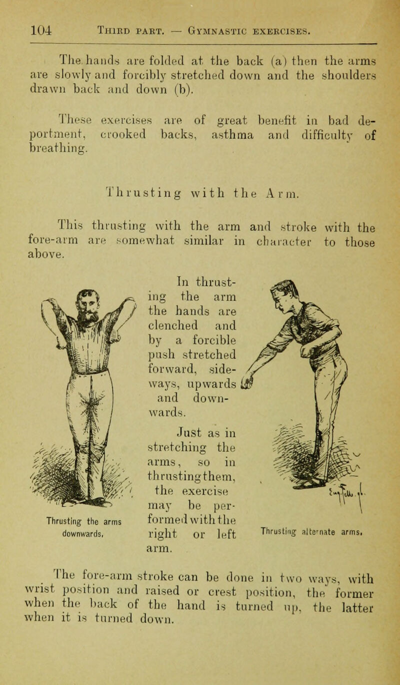 The hands are folded at. the back (a) then the arms are slowly and forcibly stretched down and the shoulders drawn back and down (b). These exercises are of great benefit in bad de- portment, crooked backs, asthma and difficulty of breathing. Thrusting with the Arm. This thrusting with the arm and stroke with the fore-arm are somewhat similar in character to those above. Thrusting the arms downwards. In thrust- ing the arm the hands are clenched and by a forcible push stretched forward, side- ways, upwards and down- wards. Just as in stretching the arms, so in thrusting them, the exercise may be per- formed with the right or left arm. Thrusting alternate arms. The fore-arm stroke can be done in two ways, with wrist position and raised or crest position, the former when the back of the hand is turned up. the latter when it is turned down.