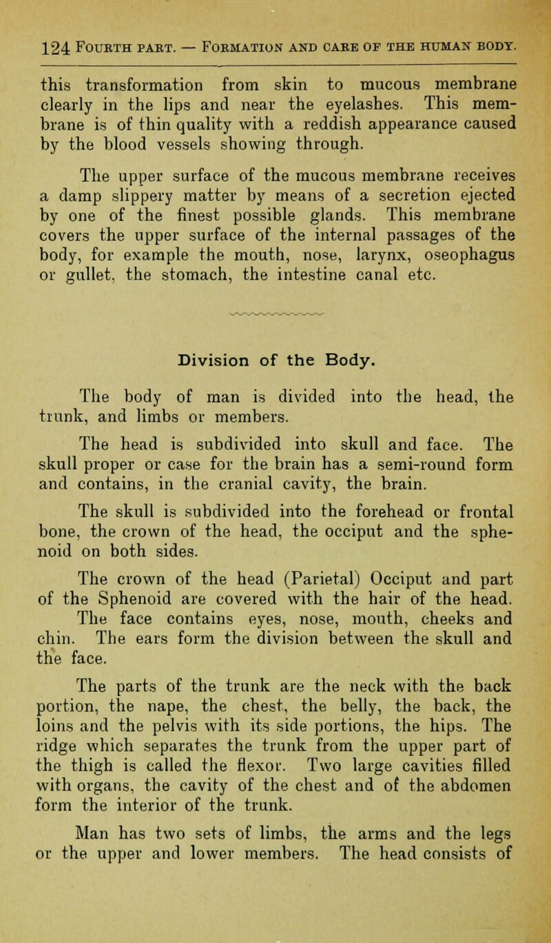 this transformation from skin to mucous membrane clearly in the lips and near the eyelashes. This mem- brane is of thin quality with a reddish appearance caused by the blood vessels showing through. The upper surface of the mucous membrane receives a damp slippery matter by means of a secretion ejected by one of the finest possible glands. This membrane covers the upper surface of the internal passages of the body, for example the mouth, nose, larynx, oseophagus or gullet, the stomach, the intestine canal etc. Division of the Body. The body of man is divided into the head, the trunk, and limbs or members. The head is subdivided into skull and face. The skull proper or case for the brain has a semi-round form and contains, in the cranial cavity, the brain. The skull is subdivided into the forehead or frontal bone, the crown of the head, the occiput and the sphe- noid on both sides. The crown of the head (Parietal) Occiput and part of the Sphenoid are covered with the hair of the head. The face contains eyes, nose, mouth, cheeks and chin. The ears form the division between the skull and the face. The parts of the trunk are the neck with the back portion, the nape, the chest, the belly, the back, the loins and the pelvis with its side portions, the hips. The ridge which separates the trunk from the upper part of the thigh is called the flexor. Two large cavities filled with organs, the cavity of the chest and of the abdomen form the interior of the trunk. Man has two sets of limbs, the arms and the legs or the upper and lower members. The head consists of