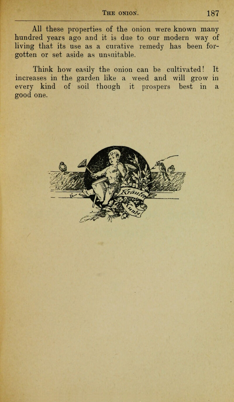 All these properties of the onion were known many hundred years ago and it is due to our modern way of living that its use as a curative remedy has been for- gotten or set aside as unsuitable. Think how easily the onion can be cultivated! It increases in the garden like a weed and will grow in every kind of soil though it prospers best in a good one.