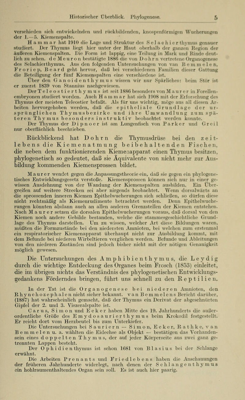 III (arischer Überblick. Phyloge verschieden sieh entwickelnden und rückbildenden, knospenförmigen Wochen der 1.—5. Kiemenspalte. H a in in a r hat IÜ10 die Lage und Struktur di Selaohierl oaaer studiert. Der Thymus lic^f hier unter der II.'imi oberhalb der gai . äußeren Kiemenspalten. Die Form isl lappig, eine Teilung in Mark und Kind'- deut- lich zu seilen. deMeuron bestätigte L886 die von Dohrn rertreb des Selachieithynaus. Aus den folgenden Untersuchungen von van Bemmelen, F r o r i c p, Board geht hervor, daß hei \ii>ehjer|cnen Familien dieser Gattung die Beteiligung der fünf Kiemenspalten eine verschiedene ist. Über den tianoidenthymu« wissen wir nur Spärliches: bt er zuerst 1839 von Stannius nachgewiesen. Der Teleostierthymus ist seit 1886 besondei - von M a u r e r in Forellen- embryonen studiert worden. Auch H a in in a r hat sieh 1908 mit <\<r Erforschung des Thymus der meisten Teleostier befaßt. Als für uns wichtig, möge aus all diesen Ar- beiten hervorgehoben werden, daß die epitheliale Grundlage der ur- sprünglichen Thymusbczirke und ihre Umwandlung zum teren Thymus besonders instruktiv beobachtet werden konnte. Der Thymus der Dipnoer ist am Lungenfisch von Parker und Gr< il nur oberflächlich beschrieben. Rückblickend hat Dohrn die Thymusdrüse bei den zeit- lebens die Kiemenatmung beibehaltenden Fischen. die neben dem funktionierenden Kiemenapparat einen Thymus besitzen, phylogenetisch so gedeutet, daß sie Äquivalente von nicht mehr zur Aus- bildung kommenden Kiemensprossen bildet. Maurer wendet gegen die Anpassungstheorie ein, daß sie gegen ein phylogene- tisches Entwicklungsgesetz verstoße. Kiemensprossen können sich nur in einer ge- wissen Ausdehnung von der Wandung der Kiemenspalten ausbilden. Ein Über- greifen auf weitere Strecken sei aber nirgends beobachtet. Wenn dorsalwärts an die sprossenden inneren Kiemen Epithelwuehcrungen sieh schließen, so dürfen diese nicht rechtmäßig als Kiemenrudimente betrachtet werden. Denn Epithelwuche- rungen könnten alsdann auch an allen anderen Grenzstellen der Kiemen entstehen. Nach Maurer setzen die dorsalen Epithelwucherungen voraus, daß dorsal von den Kiemen noch andere Gebilde bestanden, welche die stammesgeschichtliche Grund- lage des Thymus darstellen. Um zu wissen, welcher Art diese Bildungen waren, müßten die Formzustände bei den niedersten Amnioten, bei welchen zum erstenmal ein respiratorischer Kiemenapparat überhaupt nicht zur Ausbildung kommt, mit dem Befunde bei niederen Wirbeltieren verglichen werden. Befunde und Ableitungen von den niederen Zuständen sind jedoch bisher nicht mit der nötigen Genauigkeit möglich gewesen. Die Untersuchungen des A m p h i b i e n t h y m u s. die L e y d i g durch die wichtige Entdeckung des Organes beim Frosch (1853) einleitet, die im übrigen nichts das Verständnis des phylogenetischen Entwicklungs- gedankens Förderndes bringen, führt uns schnell zu den Reptilien. In der Tat ist die Organogenese bei niederen Amnioten, den R hy n c h o z e p h a 1 e n nicht sicher bekannt, v a n B e m m e 1 e n s Berieht darüber. (1887) hat wahrscheinlich gemacht, daß der Thymus ein Derivat der abgeschnürten Gipfel der 2. und 3. Viszeralspalte ist. Carus, Simon und Ecker haben Mitte des 19. Jahrhunderts die außer- ordentliche Größe des E m y d o s a ur i e r t h y m u s beim Krokodil festgestellt. Er reicht dort vom Herzbeutel bis zum Unterkiefer. Die Untersuchungen bei S a u r i e r n — Simo n. E e k e r. B a t h k e. v a n Bemmelen u. a. wählten die Eidechse als Objekt — bestätigen das Vorhanden- sein eines doppelten Thymus, der auf jeder Körperseite aus zwei ganz ge- trennten Lappen besteht. Der Ophidien thymus ist schon 1081 von B 1 a s i u s bei der Schlange erwähnt. Die Arbeiten Pren a n t s und F r i e d 1 e b e n s haben die Anschauungen der früheren Jahrhunderte widerlegt, nach denen der >S e h lang e n t h y m u s ein hohlraumenthaltendes Organ sein soll. Es ist auch hier paarig.