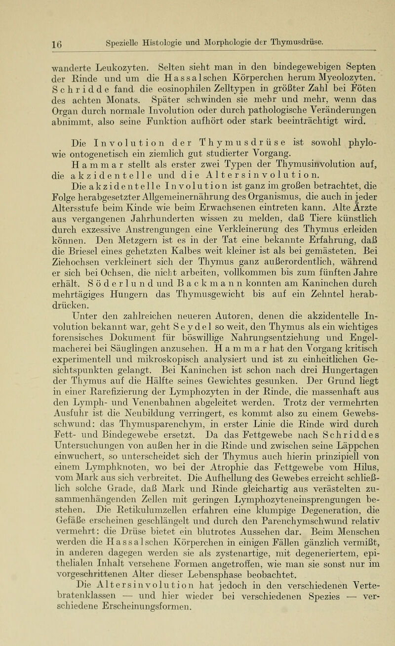 wanderte Leukozyten. Selten sieht man in den bindegewebigen Septen der Einde und um die H a s s a 1 sehen Körperchen herum Myeolozyten. S c h r i d d e fand die eosinophilen Zelltypen in größter Zahl bei Föten des achten Monats. Später schwinden sie mehr und mehr, wenn das Organ durch normale Involution oder durch pathologische Veränderungen abnimmt, also seine Funktion aufhört oder stark beeinträchtigt wird. Die Involution der Thymusdrüse ist sowohl phylo- wie ontogenetisch ein ziemlich gut studierter Vorgang. H a m m a r stellt als erster zwei Typen der Thymusinvolution auf, die akzidentelle und die Altersinvolution. Die akzidentelle Involution ist ganz im großen betrachtet, die Folge herabgesetzter Allgemeinernährung des Organismus, die auch in jeder Altersstufe beim Kinde wie beim Erwachsenen eintreten kann. Alte Ärzte aus vergangenen Jahrhunderten wissen zu melden, daß Tiere künstlich durch exzessive Anstrengungen eine Verkleinerung des Thymus erleiden können. Den Metzgern ist es in der Tat eine bekannte Erfahrung, daß die Briesel eines gehetzten Kalbes weit kleiner ist als bei gemästeten. Bei Ziehochsen verkleinert sich der Thymus ganz außerordentlich, während er sich bei Ochsen, die nicht arbeiten, vollkommen bis zum fünften Jahre erhält. Söderlund und Backmann konnten am Kaninchen durch mehrtägiges Hungern das Thymusgewicht bis auf ein Zehntel herab- drücken. Unter den zahlreichen neueren Autoren, denen die akzidentelle In- volution bekannt war, geht S e y d e 1 so weit, den Thymus als ein wichtiges forensisches Dokument für böswillige Nahrungsentziehung und Engel- macherei bei Säuglingen anzusehen. H a m m a r hat den Vorgang kritisch experimentell und mikroskopisch analysiert und ist zu einheitlichen Ge- sichtspunkten gelangt. Bei Kaninchen ist schon nach drei Hungertagen der Thymus auf die Hälfte seines Gewichtes gesunken. Der Grund liegt in einer Rarefizierung der Lymphozyten in der Rinde, die massenhaft aus den Lymph- und Venenbahnen abgeleitet werden. Trotz der vermehrten Ausfuhr ist die Neubildung verringert, es kommt also zu einem Gewebs- schwund: das Thymusparenchym, in erster Linie die Rinde wird durch Fett- und Bindegewebe ersetzt. Da das Fettgewebe nach Schriddes Untersuchungen von außen her in die Rinde und zwischen seine Läppchen einwuchert, so unterscheidet sich der Thymus auch hierin prinzipiell von einem Lymphknoten, wo bei der Atrophie das Fettgewebe vom Hilus, vom Mark aus sich verbreitet. Die Aufhellung des Gewebes erreicht schließ- lich solche Grade, daß Mark und Rinde gleichartig aus verästelten zu- sammenhängenden Zellen mit geringen Lymphozyteneinsprengungen be- stehen. Die Retikulumzellen erfahren eine klumpige Degeneration, die Gefäße erscheinen geschlängelt und durch den Parenchymschwund relativ vermehrt: die Drüse bietet ein blutrotes Aussehen dar. Beim Menschen werden die H a s s a 1 sehen Körperchen in einigen Fällen gänzlich vermißt, in anderen dagegen werden sie als zystenartige, mit degeneriertem, epi- thelialen Inhalt versehene Formen angetroffen, wie man sie sonst nur im vorgeschrittenen Alter dieser Lebensphase beobachtet. Die Altersinvolution hat jedoch in den verschiedenen Verte- bratenklassen — und hier wieder bei verschiedenen Spezies — ver- schiedene Erscheinungsformen.