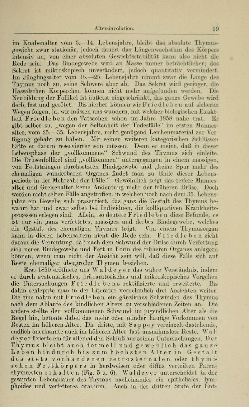 Utei involütion, ] Q im Knabenalter vom 3.— II. Lebensjahre, bleibt dae absolute Thymus- gewicht zwar stationär, jedocli dauerl das Längenwachstum des Körpers intensiv an, von einer absoluten Gewichtsstabilität kann also nicht die Rede sein. Das Bindegewebe wird an Masse immer beträchtlicher; Sekret ist mikroskopisch unverändert, jedoch quantitativ vermindert. Im Jünglingsalter vom 15.—25. Lebensjahre nimmt zwar <\\>- Läng» Thymus noch zu, seine Schwere aber ab. Das Sekret wird geringer, die Hassalschen Körperchen können nicht mehr aufgefunden werden. Die Neubildung der Follikel ist äußerst eingeschränkt, das ganze Gewebe wird derb, fest und gerötet. Bis hierher können wir Friedleben auf sicheren Wegen folgen, ja, wir müssen uns wundern, mit welcher biologischen Exakt- heit Friedleben den Tatsachen'schon im Jahre 1858 nahe trat. Er gibt selber zu, „wegen der Seltenheit der Todesfälle im ersten Mannes- alter, vom 25.—35. Lebensjahre, nicht genügend Leichenmaterial zur Ver- fügung gehabt zu haben. Mit seinen weiteren kategorischen Schlüssen hätte er darum reservierter sein müssen. Denn er meint, daß in dieser Lebensphase der „vollkommene Schwund des Thymus sich einleite. Die Drüsenfollikel sind „vollkommen untergegangen in einem massigen, von Fettsträngen durchsetzten Bindegewebe und „keine Spur mehr des ehemaligen wunderbaren Organes findet man zu Ende dieser Lebens- periode in der Mehrzahl der Fälle. Gewöhnlich zeigt das reifere Mannes- alter und Greisenalter keine Andeutung mehr der früheren Drüse. Doch werden nicht selten Fälle angetroffen, in welchen noch nach dem 35. Lebens- jahre ein Gewebe sich präsentiert, das ganz die Gestalt des Thymus be- wahrt hat und zwar selbst bei Individuen, die kolliquativen Krankheits- prozessen erlegen sind. Allein, so deutete Friedleben diese Befunde, es ist nur ein ganz verfettetes, massiges und derbes Bindegewebe, welches die Gestalt des ehemaligen Thymus trägt. Von einem Thymusorgan kann in diesen Lebensaltern nicht die Bede sein. Friedleben zieht daraus die Vermutung, daß nach dem Schwund der Drüse durch Verfettung sich neues Bindegewebe und Fett in Form des früheren Organes anlagern können, wenn man nicht der Ansicht sein will, daß diese Fälle sich auf Reste ehemaliger übergroßer Thymen beziehen. Erst 1890 eröffnete uns Waldeyer das wahre Verständnis, indem er durch systematisches, präparatorisches und mikroskopisches Vorgehen die Untersuchungen Friedlebens rektifizierte und erweiterte. Bis dahin schleppte man in der Literatur vornehmlich drei Ansichten weiter. Die eine nahm mit Friedleben ein gänzliches Schwinden des Thymus nach dem Ablaufe des kindlichen Alters zu verschiedenen Zeiten an. Die andere stellte den vollkommenen Schwund im jugendlichen Alter als die Regel hin, betonte dabei das mehr oder minder häufige Vorkommen von Resten im höheren Alter. Die dritte, mit Sappey vereinzelt dastehende. endlich anerkannte auch im höheren Alter fast ausnahmslose Beste. Wa 1- dey er fixierte ein für allemal den Schluß aus seinen Untersuchungen. D e r Thymus bleibt auch formell und ge weblich das ganze Leben hindurch bis zum höchsten Alter in Ge s t a1t des stets vorhandenen retrosternalen oder t h y m i- sehen Fettkörpers in herdweisen oder diffus verteilten Paren- chymresten erhalten (Fig. 5 u. 6). W aide y e r unterscheidet in der gesamten Lebensdauer des Thymus nacheinander ein epitheliales, lym- phoides und verfettetes Stadium. Auch in der dritten Stufe der Ent-