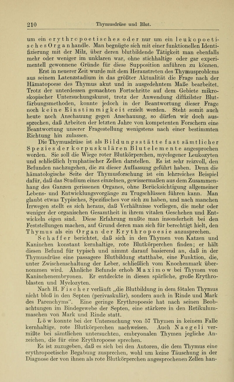 um ein erythropoetisches oder nur um ein leukopoeti- schesOrgan handle. Man begnügte sich mit einer funktionellen Identi- fizierung mit der Milz, über deren blutbildende Tätigkeit man ebenfalls mehr oder weniger im unklaren war, ohne stichhaltige oder gar experi- mentell gewonnene Gründe für diese Supposition anführen zu können. Erst in neuerer Zeit wurde mit dem Heraustreten des Thymusproblcms aus seinem Latenzstadium in das größter Aktualität die Frage nach der Hämatopoese des Thymus akut und in ausgedehntem Maße bearbeitet. Trotz der unterdessen gemachten Fortschritte auf dem Gebiete mikro- skopischer Untersuchungskunst, trotz der Anwendung diffizilster Blut- färbungsmethoden, konnte jedoch in der Beantwortung dieser Frage noch keine Einstimmigkeit erzielt werden. Steht somit auch heute noch Anschauung gegen Anschauung, so dürfen wir doch aus- sprechen, daß Arbeiten der letzten Jahre von kompetenten Forschern eine Beantwortung unserer Fragestellung wenigstens nach einer bestimmten Kichtung hin zulassen. Die Thymusdrüse ist als Bildungsstätte fast sämtlicher Spezies der korpuskularen Blutelemente angesprochen worden. Sie soll die Wiege roter Blutkörperchen, myelogener Leukozyten und schließlich lymphatischer Zellen darstellen. Es ist sehr reizvoll, den Befunden nachzugehen, die zu dieser Auffassung geführt haben. Denn die hämatologische Seite der Thymusforschung ist ein lehrreiches Beispiel dafür, daß das Studium eines einzelnen, gewissermaßen aus dem Zusammen- hang des Ganzen gerissenen Organes, ohne Berücksichtigung allgemeiner Lebens- und Entwicklungsvorgänge zu Trugschlüssen führen kann. Man glaubt etwas Typisches, Spezifisches vor sich zu haben, und nach manchen Irrwegen stellt es sich heraus, daß Verhältnisse vorliegen, die mehr oder weniger der organischen Gesamtheit in ihrem vitalen Geschehen und Ent- wickeln eigen sind. Diese Erfahrung mußte man insonderheit bei den Feststellungen machen, auf Grund deren man sich für berechtigt hielt, den Thymus als ein Organ der Erythropoesie anzusprechen. Schaff er berichtet, daß sich in den Thymen von Katzen und Kaninchen konstant kernhaltige, rote Blutkörperchen finden; er hält diesen Befund für typisch und nimmt darauf basierend an, daß in der Thymusdrüse eine passagere Blutbildung statthabe, eine Funktion, die, unter Zwischenschaltung der Leber, schließlich vom Knochenmark über- nommen wird. Ähnliche Befunde erhob M a x i m o w bei Thymen von Kaninchenembryonen. Er entdeckte in diesen spärliche, große Erytkro- blasten und Myelozyten. Nach H. Fischer verläuft „die Blutbildung in dem fötalen Thymus nicht bloß in den Septen (perivaskulär), sondern auch in Rinde und Mark des Parenchyms. Eine geringe Erythropoesie hat nach seinen Beob- achtungen im Bindegewebe der Septen, eine stärkere in den Retikulum- maschen von Mark und Rinde statt. Low konnte bei der Untersuchung von 57 Thymen in keinem Falle kernhaltige, rote Blutkörperchen nachweisen. Auch N a e g e 1 i ver- mißte bei sämtlichen untersuchten, embryonalen Thymen jegliche An- zeichen, die für eine Erythropoese sprechen. Es ist zuzugeben, daß es sich bei den Autoren, die dem Thymus eine erythropoetische Begabung zusprechen, wohl um keine Täuschung in der Diagnose der von ihnen als rote Blutkörperchen angesprochenen Zellen han-