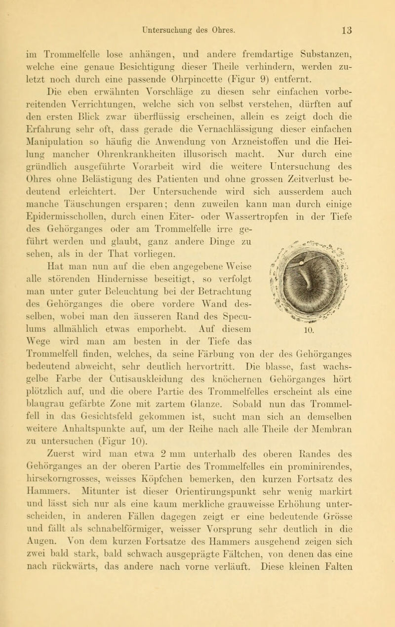 im Trommelfelle lose anhängen, und andere fremdartige Substanzen, welche eine genaue Besichtigung dieser Theile verhindern, werden zu- letzt noch durch eine passende Ohrpincette l Figur 9) entfernt. Die eben erwähnten Vorschläge zu diesen sehr einfachen vorbe- reitenden Verrichtungen, welche sich von seihst verstellen, dürften auf den ersten Blick zwar überflüssig erscheinen, allein es zeigt doch die Erfahrung sehr oft. dass gerade die Vernachlässigung dieser einfachen Manipulation so häufig die Anwendung von Arzneistoffen und die Hei- lung mancher Ohrenkrankheiten illusorisch macht. Nur durch eine gründlich ausgeführte Vorarbeit wird die weitere Untersuchung des Ohres ohne Belästigung des Patienten und ohne grossen Zeitverlust be- deutend erleichtert. Der Untersuchende wird sich ausserdem auch manche Täuschungen ersparen; denn zuweilen kann man durch einige Epidermisschollen, durch einen Eiter- oder Wassertropfen in der Tiefe des Gehörganges oder am Trommelfelle irre ge- führt werden und glaubt, ganz andere Dinge zu -• ««-rr-.„«,, sehen, als in der That vorliegen. Hat man nun auf die eben angegebene Weise alle störenden Hindernisse beseitigt, so verfolgt man unter guter Beleuchtung bei der Betrachtung des Gehörganges die obere vordere Wand des- selben, wobei man den äusseren Rand des Specu- hims allmählich etwas emporhebt. Auf diesem 10. Wege wird man am besten in der Tiefe das Trommelfell finden, welches, da seine Färbung von der des Gehörganges bedeutend abweicht, sehr deutlich hervortritt. Die blasse, fast wachs- gelbe Farbe der Cutisauskleidung des knöchernen Gehörganges hört plötzlich auf. und die obere Partie des Trommelfelles erscheint als eine blaugrau gefärbte Zone mit zartem Glänze. Sobald nun das Trommel- fell in das Gesichtsfeld gekommen ist, sucht man sich an demselben weitere Anhaltspunkte auf, um der Reihe nach alle Theile der Membran zu untersuchen (Figur 10). Zuerst wird man etwa 2 mm unterhalb des oberen Randes des Gehörganges an der oberen Partie des Trommelfelles ein prominirendes, hirsekorngrosses, weisses Köpfchen bemerken, den kurzen Fortsatz des Hammers. Mitunter ist dieser Orientirungspunkt sehr wenig markirt und lässt sich nur als eine kaum merkliche grauweisse Erhöhung unter- scheiden, in anderen Fällen dagegen zeigt er eine bedeutende (irösse und lallt als schnabelförmiger, weisser Vorsprung sehr deutlich in die Augen. Von dem kurzen Fortsatze des Hammers ausgehend zeigen sich zwei bald stark, bald schwach ausgeprägte Fältchen, von denen das eine nach rückwärts, das andere nach vorne verläuft. Diese kleinen Falten