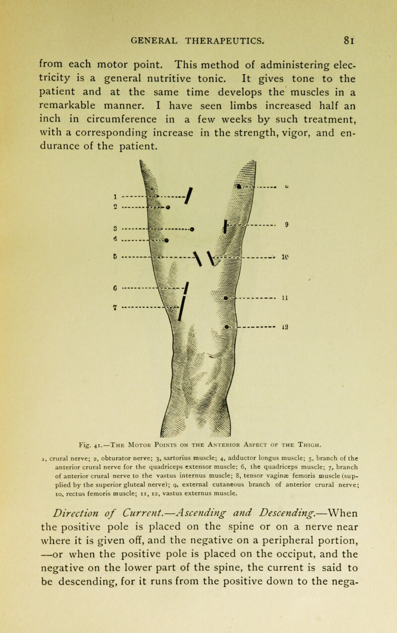 from each motor point. This method of administering elec- tricity is a general nutritive tonic. It gives tone to the patient and at the same time develops the muscles in a remarkable manner. I have seen limbs increased half an inch in circumference in a few weeks by such treatment, with a corresponding increase in the strength, vigor, and en- durance of the patient. Fig. 41.—The Motor Points on the Anterior Asi-ect of the Thigh. 1, crural nerve; 2, obturator nerve; 3, sartorius muscle; 4, adductor longus muscle; 5, branch of the anterior crural nerve for the quadriceps extensor muscle: 6, the quadriceps muscle; 7, branch of anterior crural nerve to the vastus internus muscle; 8, tensor vaginae femoris muscle (sup- plied by the superior gluteal nervel; 9, external cutaneous branch of anterior crural nerve; 10, rectus femoris muscle; 11, 12, vastus externus muscle. Direction of Current.—Ascending and Descending.—When the positive pole is placed on the spine or on a nerve near where it is given off, and the negative on a peripheral portion, —or when the positive pole is placed on the occiput, and the negative on the lower part of the spine, the current is said to be descending, for it runs from the positive down to the nega-