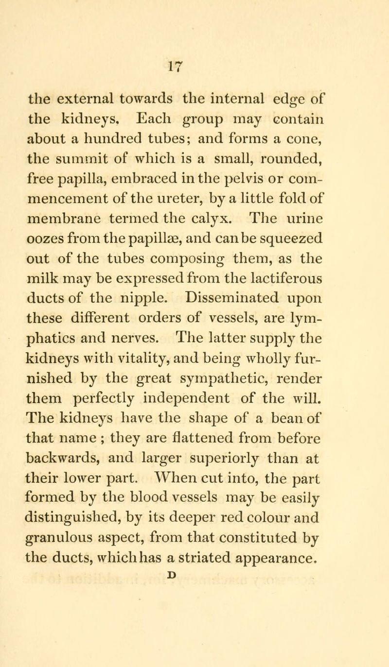 the external towards the internal edge of the kidneys. Each group may contain about a hundred tubes; and forms a cone, the summit of which is a small, rounded, free papilla, embraced in the pelvis or com- mencement of the ureter, by a little fold of membrane termed the calyx. The urine oozes from the papillae, and can be squeezed out of the tubes composing them, as the milk may be expressed from the lactiferous ducts of the nipple. Disseminated upon these different orders of vessels, are lym- phatics and nerves. The latter supply the kidneys with vitality, and being wholly fur- nished by the great sympathetic, render them perfectly independent of the will. The kidneys have the shape of a bean of that name ; they are flattened from before backwards, and larger superiorly than at their lower part. When cut into, the part formed by the blood vessels may be easily distinguished, by its deeper red colour and granulous aspect, from that constituted by the ducts, which has a striated appearance. D