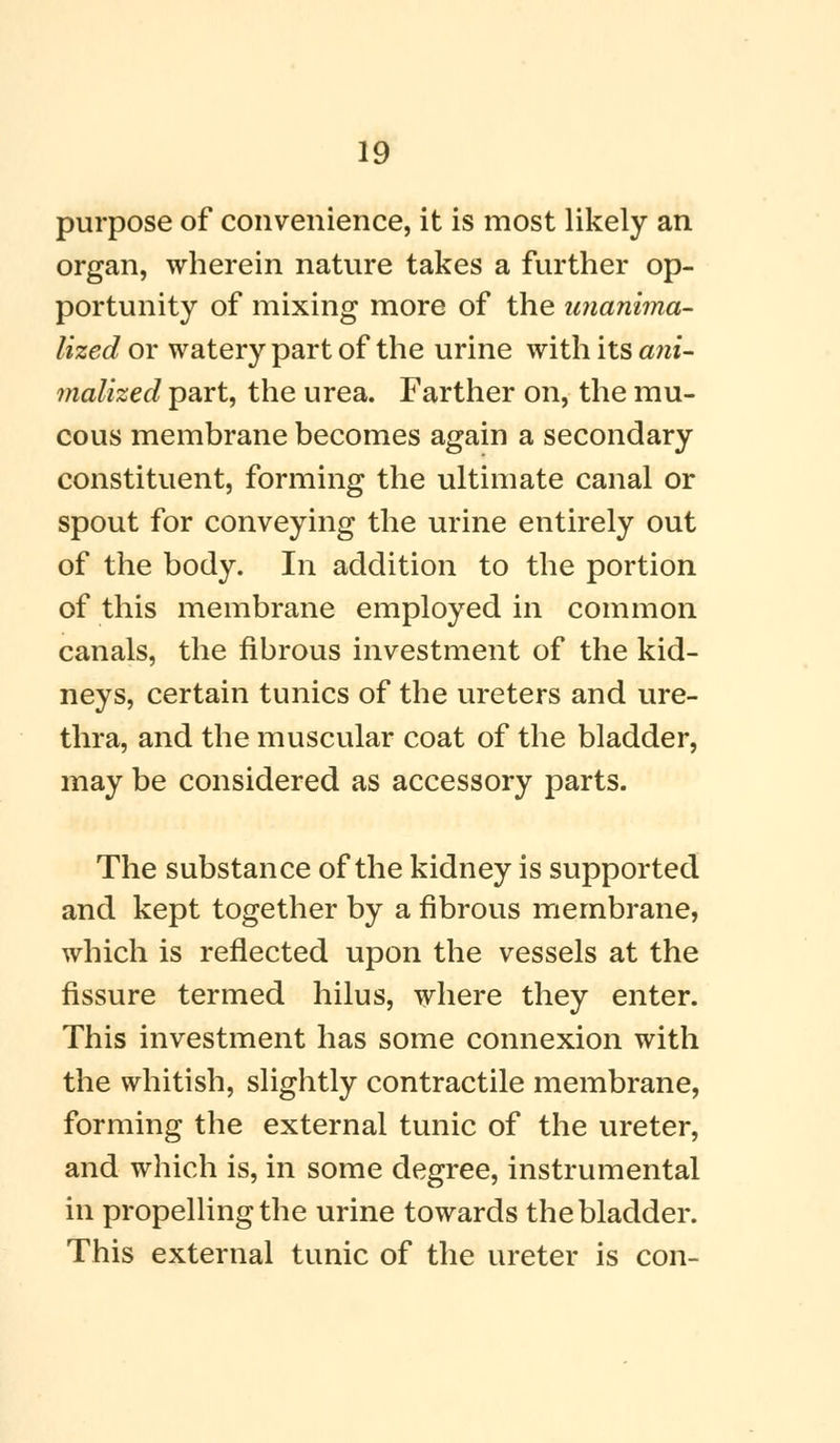 purpose of convenience, it is most likely an organ, wherein nature takes a further op- portunity of mixing more of the unanima- lized or watery part of the urine with its ani- malized part, the urea. Farther on, the mu- cous membrane becomes again a secondary constituent, forming the ultimate canal or spout for conveying the urine entirely out of the body. In addition to the portion of this membrane employed in common canals, the fibrous investment of the kid- neys, certain tunics of the ureters and ure- thra, and the muscular coat of the bladder, may be considered as accessory parts. The substance of the kidney is supported and kept together by a fibrous membrane, which is reflected upon the vessels at the fissure termed hilus, where they enter. This investment has some connexion with the whitish, slightly contractile membrane, forming the external tunic of the ureter, and which is, in some degree, instrumental in propelling the urine towards the bladder. This external tunic of the ureter is con-