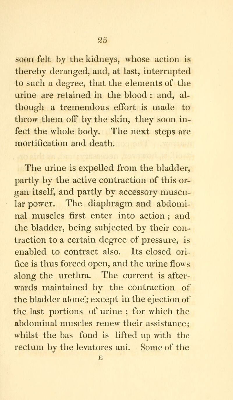 soon felt by the kidneys, whose action is thereby deranged, and, at last, interrupted to such a degree, that the elements of the urine are retained in the blood : and, al- though a tremendous effort is made to throw them off by the skin, they soon in- fect the whole body. The next steps are mortification and death. The urine is expelled from the bladder, partly by the active contraction of this or- gan itself, and partly by accessory muscu- lar power. The diaphragm and abdomi- nal muscles first enter into action ; and the bladder, being subjected by their con- traction to a certain degree of pressure, is enabled to contract also. Its closed ori- fice is thus forced open, and the urine flows along the urethra. The current is after- wards maintained by the contraction of the bladder alone'; except in the ejection of the last portions of urine ; for which the abdominal muscles renew their assistance; whilst the bas fond is lifted up with the rectum by the le vat ores ani. Some of the E