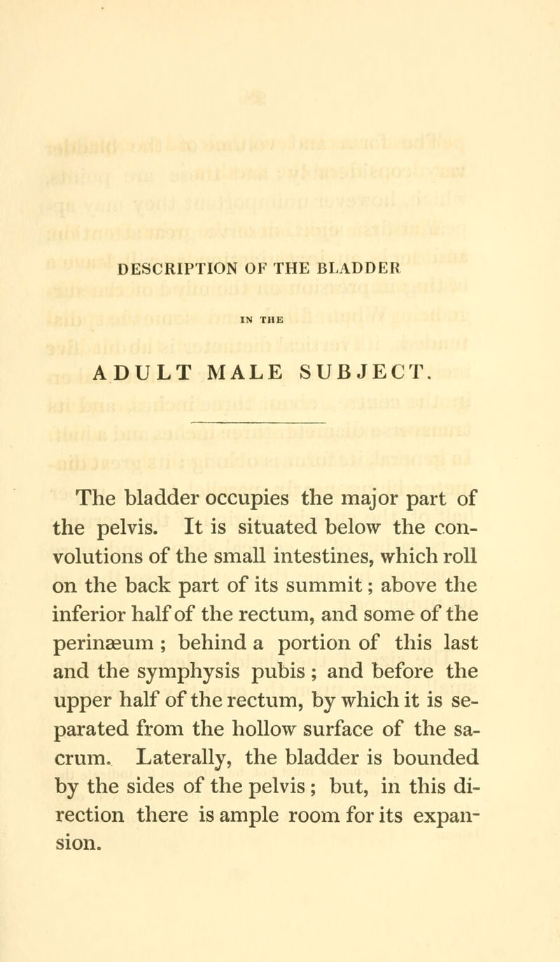 DESCRIPTION OF THE BLADDER ADULT MALE SUBJECT The bladder occupies the major part of the pelvis. It is situated below the con- volutions of the small intestines, which roll on the back part of its summit; above the inferior half of the rectum, and some of the perinaeum ; behind a portion of this last and the symphysis pubis; and before the upper half of the rectum, by which it is se- parated from the hollow surface of the sa- crum. Laterally, the bladder is bounded by the sides of the pelvis ; but, in this di- rection there is ample room for its expan- sion.