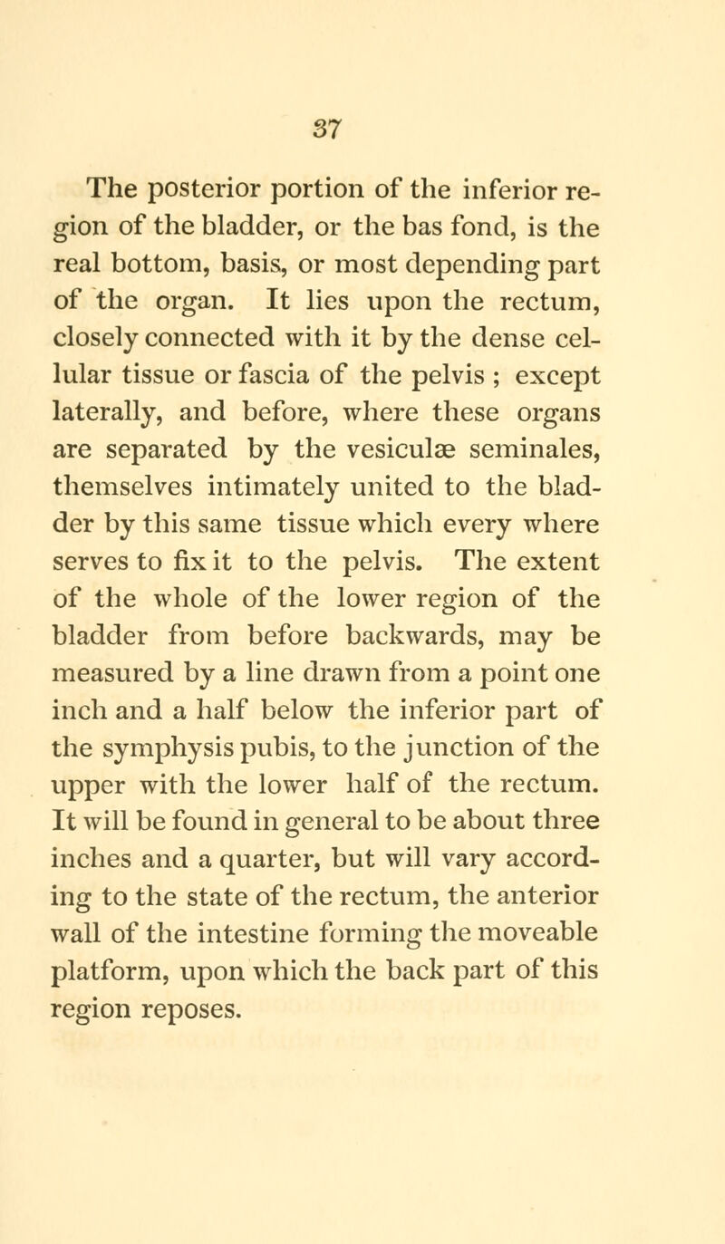 The posterior portion of the inferior re- gion of the bladder, or the has fond, is the real bottom, basis, or most depending part of the organ. It lies upon the rectum, closely connected with it by the dense cel- lular tissue or fascia of the pelvis ; except laterally, and before, where these organs are separated by the vesiculae seminales, themselves intimately united to the blad- der by this same tissue which every where serves to fix it to the pelvis. The extent of the whole of the lower region of the bladder from before backwards, may be measured by a line drawn from a point one inch and a half below the inferior part of the symphysis pubis, to the junction of the upper with the lower half of the rectum. It will be found in general to be about three inches and a quarter, but will vary accord- ing to the state of the rectum, the anterior wall of the intestine forming the moveable platform, upon which the back part of this region reposes.