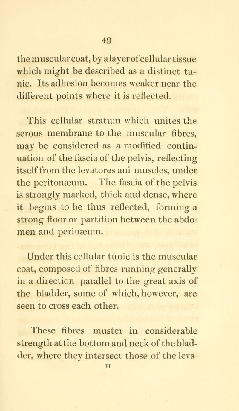 the muscular coat, by a layerof cellular tissue which might be described as a distinct tu- nic. Its adhesion becomes weaker near the different points where it is reflected. This cellular stratum which unites the serous membrane to the muscular fibres, may be considered as a modified contin- uation of the fascia of the pelvis, reflecting itself from the levatores ani muscles, under the peritonaeum. The fascia of the pelvis is strongly marked, thick and dense, where it begins to be thus reflected, forming a strong floor or partition between the abdo- men and perinaeum. Under this cellular tunic is the muscular coat, composed of fibres running generally in a direction parallel to the great axis of the bladder, some of which, however, are seen to cross each other. These fibres muster in considerable strength at the bottom and neck of the blad- der, where they intersect those of the leva- H