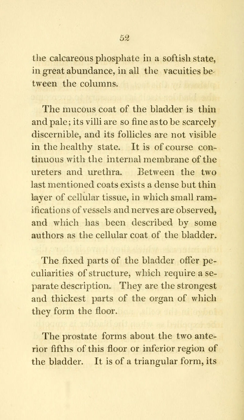 the calcareous phosphate in a softish state, in great abundance, in all the vacuities be tween the columns. The mucous coat of the bladder is thin and pale; its villi are so fine as to be scarcely discernible, and its follicles are not visible in the healthy state. It is of course con- tinuous with the internal membrane of the ureters and urethra. Between the two last mentioned coats exists a dense but thin layer of cellular tissue, in which small ram- ifications of vessels and nerves are observed, and which has been described by some authors as the cellular coat of the bladder. The fixed parts of the bladder offer pe- culiarities of structure, which require a se- parate description. They are the strongest and thickest parts of the organ of which they form the floor. The prostate forms about the two ante- rior fifths of this floor or inferior region of the bladder. It is of a triangular form, its