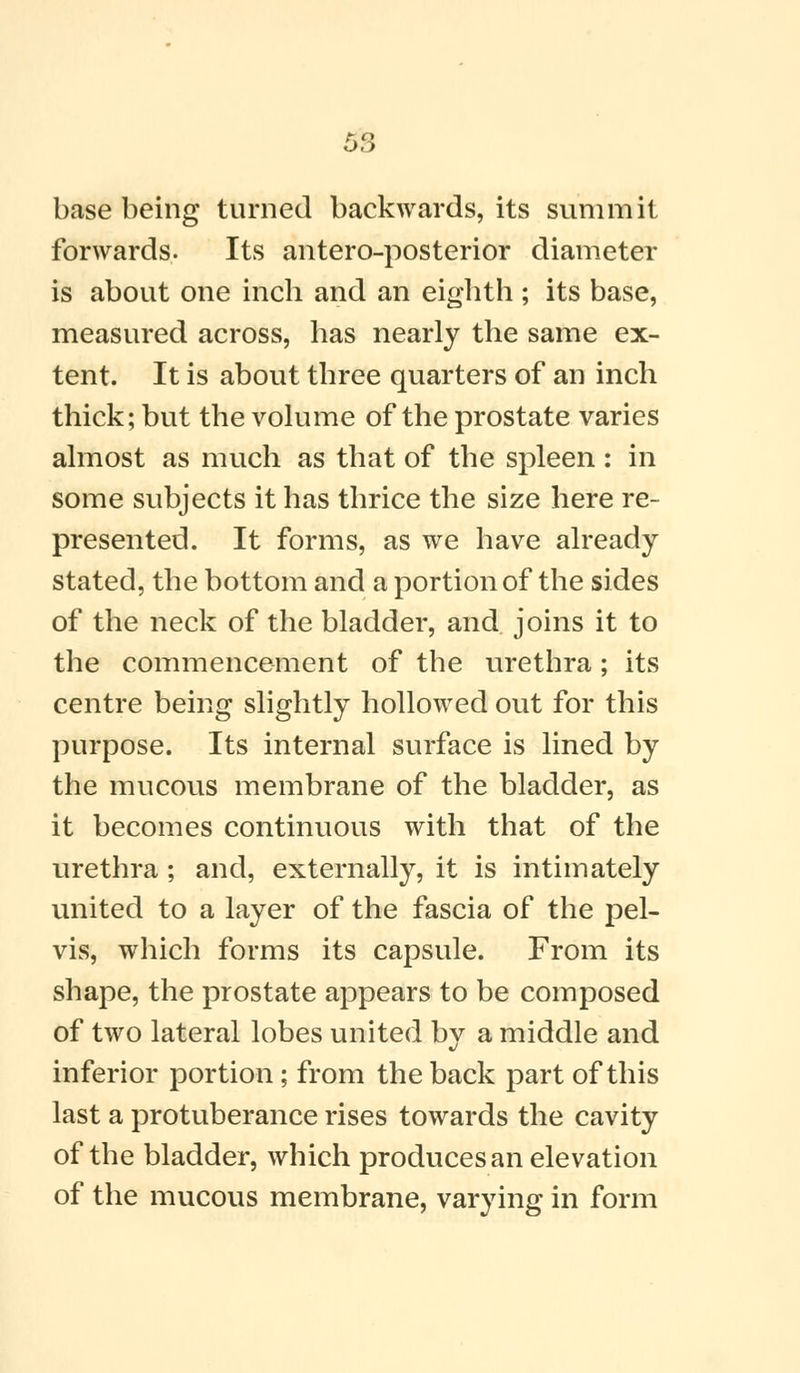 base being turned backwards, its summit forwards. Its antero-posterior diameter is about one inch and an eighth ; its base, measured across, has nearly the same ex- tent. It is about three quarters of an inch thick; but the volume of the prostate varies almost as much as that of the spleen : in some subjects it has thrice the size here re- presented. It forms, as we have already stated, the bottom and a portion of the sides of the neck of the bladder, and joins it to the commencement of the urethra; its centre being slightly hollowed out for this purpose. Its internal surface is lined by the mucous membrane of the bladder, as it becomes continuous with that of the urethra ; and, externally, it is intimately united to a layer of the fascia of the pel- vis, which forms its capsule. From its shape, the prostate appears to be composed of two lateral lobes united by a middle and inferior portion; from the back part of this last a protuberance rises towards the cavity of the bladder, which produces an elevation of the mucous membrane, varying in form