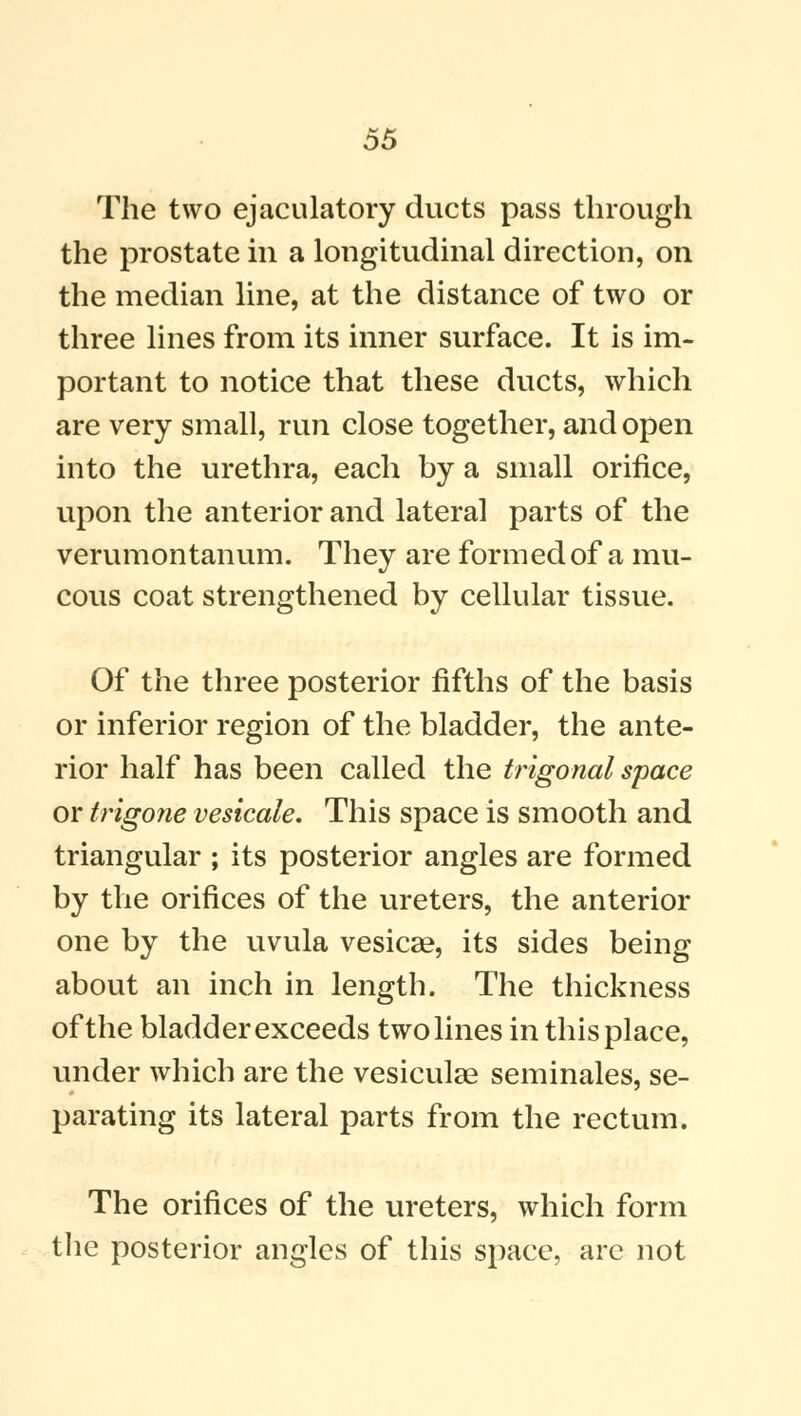 The two ejaculatory ducts pass through the prostate in a longitudinal direction, on the median line, at the distance of two or three lines from its inner surface. It is im- portant to notice that these ducts, which are very small, run close together, and open into the urethra, each by a small orifice, upon the anterior and lateral parts of the verumontanum. They are formed of a mu- cous coat strengthened by cellular tissue. Of the three posterior fifths of the basis or inferior region of the bladder, the ante- rior half has been called the trigonal space or trigone vesicate. This space is smooth and triangular ; its posterior angles are formed by the orifices of the ureters, the anterior one by the uvula vesicae, its sides being about an inch in length. The thickness of the bladder exceeds two lines in this place, under which are the vesiculaa seminales, se- parating its lateral parts from the rectum. The orifices of the ureters, which form the posterior angles of this space, are not