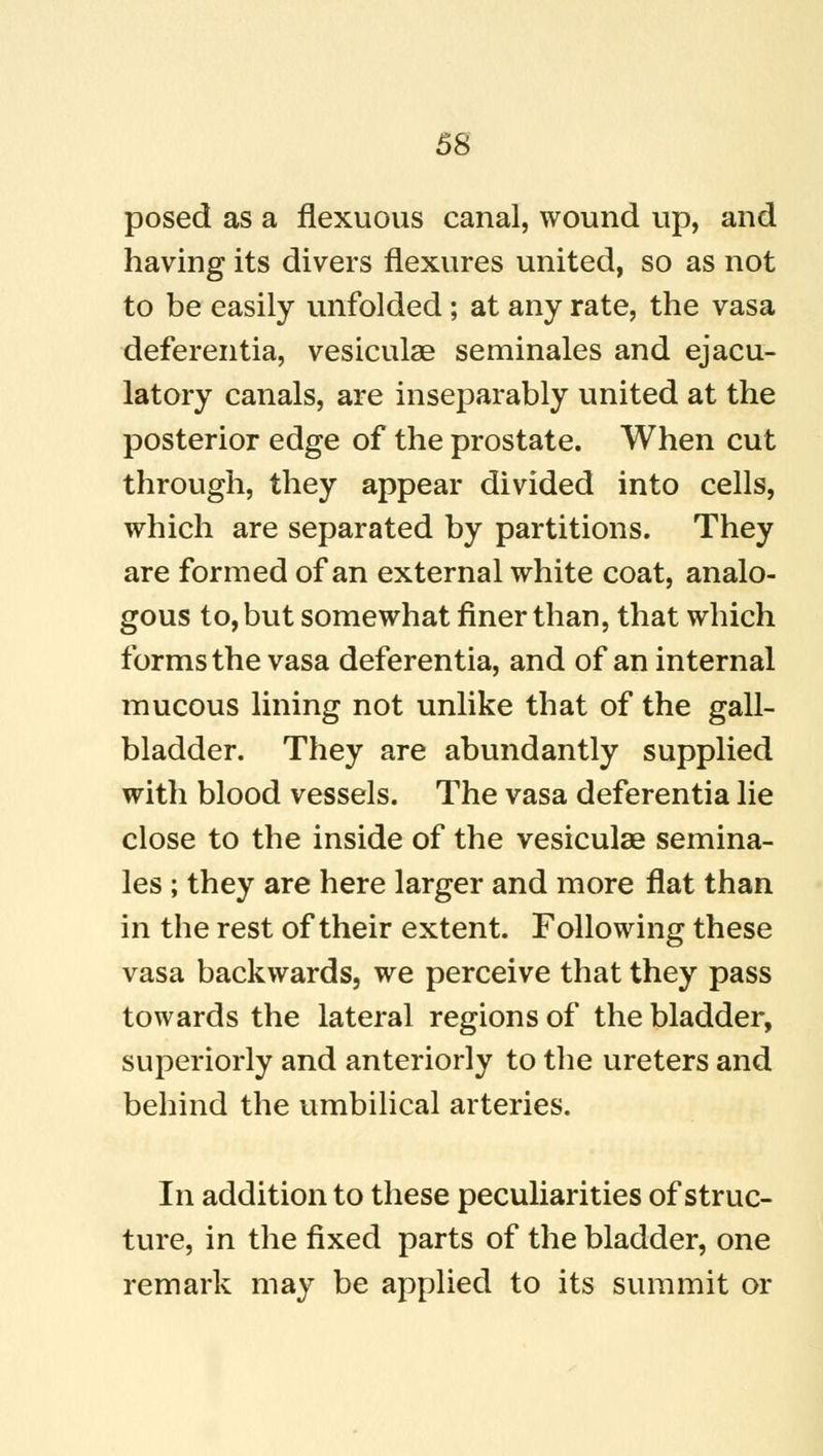 posed as a flexuous canal, wound up, and having its divers flexures united, so as not to be easily unfolded; at any rate, the vasa deferentia, vesiculae seminales and ejacu- latory canals, are inseparably united at the posterior edge of the prostate. When cut through, they appear divided into cells, which are separated by partitions. They are formed of an external white coat, analo- gous to, but somewhat finer than, that which forms the vasa deferentia, and of an internal mucous lining not unlike that of the gall- bladder. They are abundantly supplied with blood vessels. The vasa deferentia lie close to the inside of the vesiculae semina- les ; they are here larger and more flat than in the rest of their extent. Following these vasa backwards, we perceive that they pass towards the lateral regions of the bladder, superiorly and anteriorly to the ureters and behind the umbilical arteries. In addition to these peculiarities of struc- ture, in the fixed parts of the bladder, one remark may be applied to its summit or