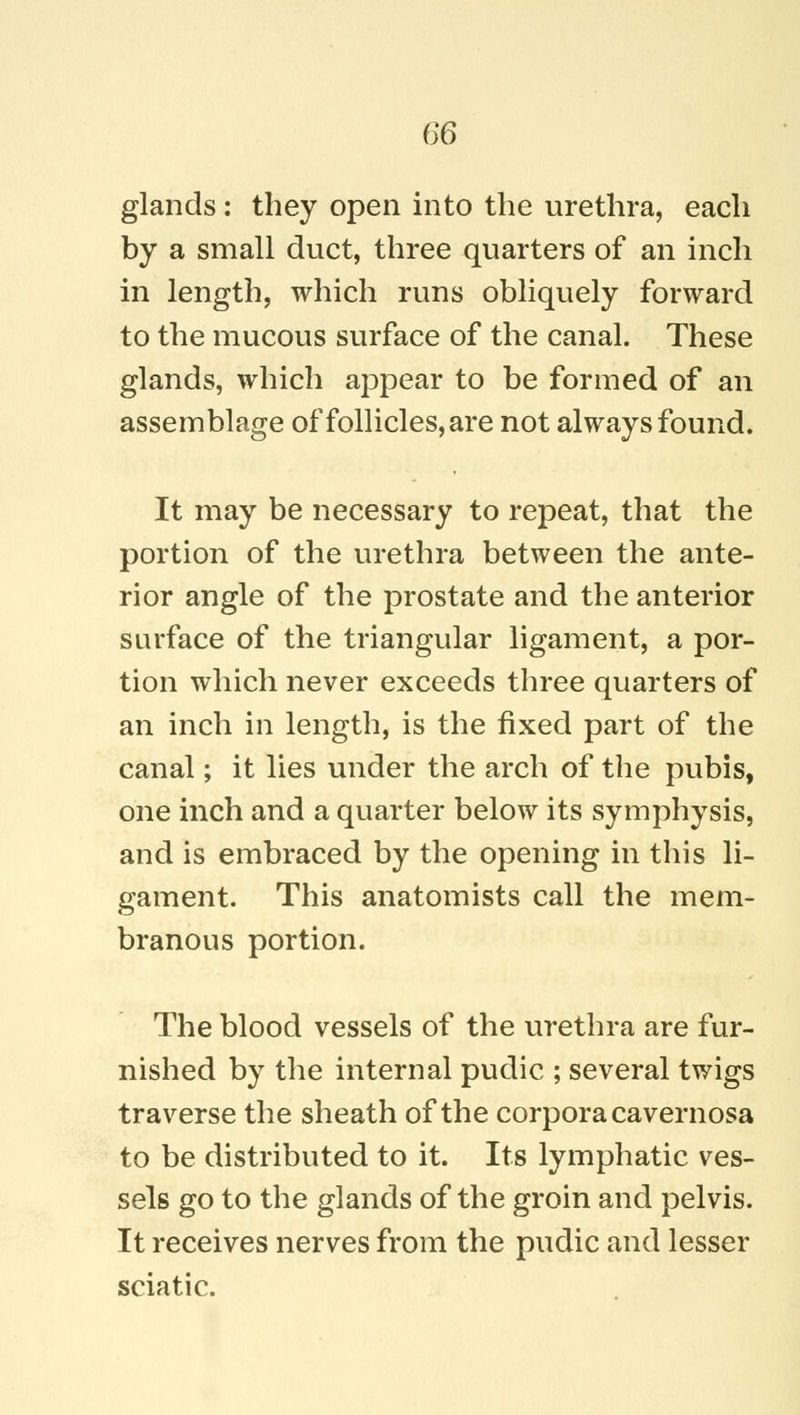 glands: they open into the urethra, each by a small duct, three quarters of an inch in length, which runs obliquely forward to the mucous surface of the canal. These glands, which appear to be formed of an assemblage of follicles, are not always found. It may be necessary to repeat, that the portion of the urethra between the ante- rior angle of the prostate and the anterior surface of the triangular ligament, a por- tion which never exceeds three quarters of an inch in length, is the fixed part of the canal; it lies under the arch of the pubis, one inch and a quarter below its symphysis, and is embraced by the opening in this li- gament. This anatomists call the mem- branous portion. The blood vessels of the urethra are fur- nished by the internal pudic ; several twigs traverse the sheath of the corpora cavernosa to be distributed to it. Its lymphatic ves- sels go to the glands of the groin and pelvis. It receives nerves from the pudic and lesser sciatic.