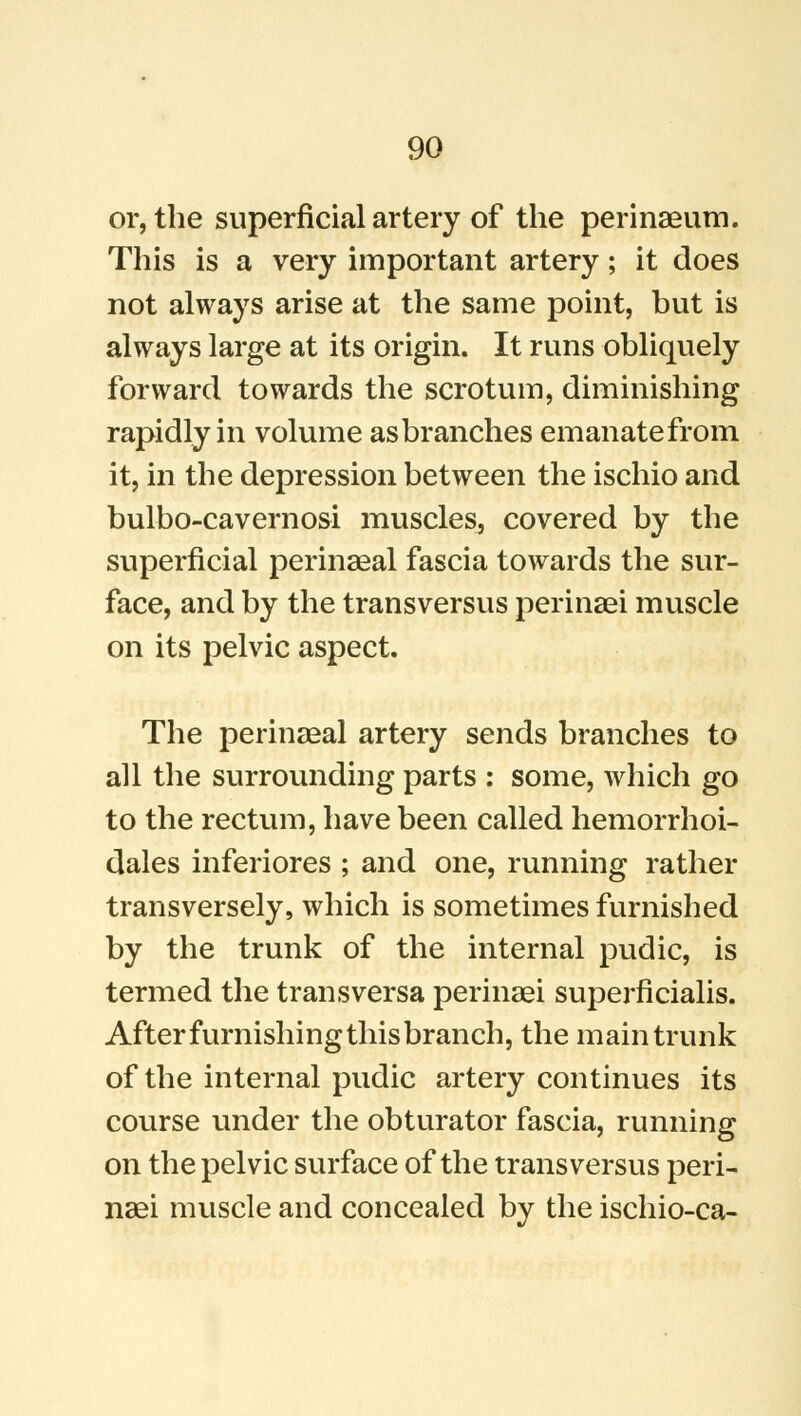 or, the superficial artery of the perinaeum. This is a very important artery; it does not always arise at the same point, but is always large at its origin. It runs obliquely forward towards the scrotum, diminishing rapidly in volume as branches emanate from it, in the depression between the ischio and bulbo-cavernosi muscles^ covered by the superficial perinaeal fascia towards the sur- face, and by the transversus perinaei muscle on its pelvic aspect. The perinaeal artery sends branches to all the surrounding parts : some, which go to the rectum, have been called hemorrhoi- dales inferiores ; and one, running rather transversely, which is sometimes furnished by the trunk of the internal pudic, is termed the transversa perinaei superficialis. After furnishing this branch, the main trunk of the internal pudic artery continues its course under the obturator fascia, running on the pelvic surface of the transversus peri- naei muscle and concealed by the ischio-ca-