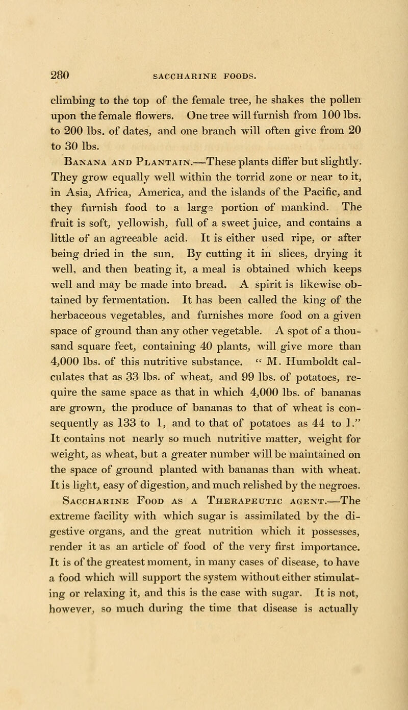 climbing to the top of the female tree, he shakes the pollen upon the female flowers. One tree will furnish from 100 lbs. to 200 lbs. of dates, and one branch will often give from 20 to 30 lbs. Banana and Plantain.—These plants differ but slightly. They grow equally well within the torrid zone or near to it, in Asia, Africa, America, and the islands of the Pacific, and they furnish food to a larg? portion of mankind. The fruit is soft, yellowish, full of a sweet juice, and contains a little of an agreeable acid. It is either used ripe, or after being dried in the sun. By cutting it in slices, drying it well, and then beating it, a meal is obtained which keeps well and may be made into bread. A spirit is likewise ob- tained by fermentation. It has been called the king of the herbaceous vegetables, and furnishes more food on a given space of ground than any other vegetable. A spot of a thou- sand square feet, containing 40 plants, will give more than 4,000 lbs. of this nutritive substance.  M. Humboldt cal- culates that as 33 lbs. of wheat, and 99 lbs. of potatoes, re- quire the same space as that in which 4,000 lbs. of bananas are grown, the produce of bananas to that of wheat is con- sequently as 133 to 1, and to that of potatoes as 44 to 1. It contains not nearly so much nutritive matter, weight for weight, as wheat, but a greater number will be maintained on the space of ground planted with bananas than with wheat. It is light, easy of digestion, and much relished by the negroes. Saccharine Food as a Therapeutic agent.—The extreme facility with which sugar is assimilated by the di- gestive organs, and the great nutrition which it possesses, render it as an article of food of the very first importance. It is of the greatest moment, in many cases of disease, to have a food which will support the system without either stimulat- ing or relaxing it, and this is the case with sugar. It is not, however, so much during the time that disease is actually