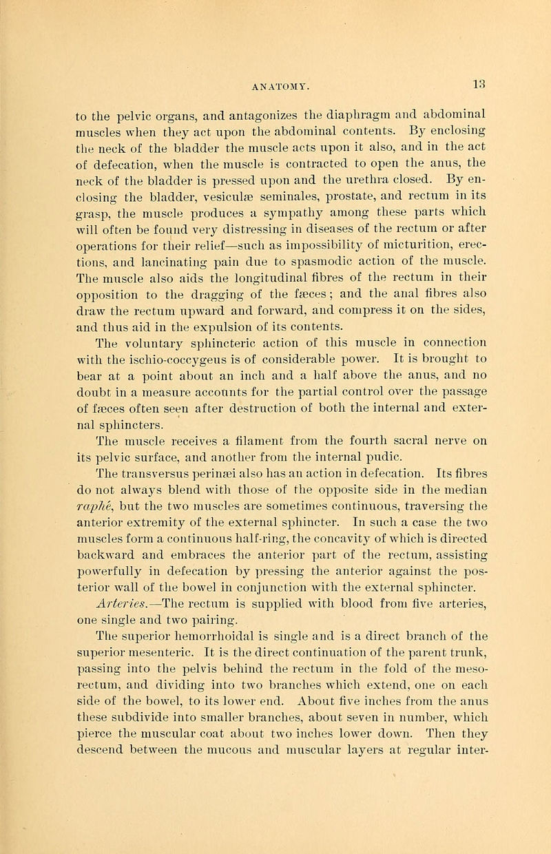 to the pelvic organs, and antagonizes the diaphragm and abdominal muscles when they act upon the abdominal contents. By enclosing the neck of the bladder the muscle acts upon it also, and in the act of defecation, when the muscle is contracted to open the anus, the neck of the bladder is pressed upon and the urethra closed. By en- closing the bladder, vesiculee seminales, prostate, and rectum in its grasp, the muscle produces a sympathy among these parts which will often be found very distressing in diseases of the rectum or after operations for their relief—such as impossibility of micturition, erec- tions, and lancinating pain due to spasmodic action of the muscle. The muscle also aids the longitudinal fibres of the rectum in their opposition to the dragging of the faeces; and the anal fibres also draw the rectum upward and forward, and compress it on the sides, and thus aid in the expulsion of its contents. The voluntary sphincteric action of this muscle in connection with the ischio-coccygeus is of considerable power. It is brought to bear at a point about an inch and a half above the anus, and no doubt in a measure accounts for the partial control over the passage of faeces often seen after destruction of both the internal and exter- nal sphincters. The muscle receives a filament from the fourth sacral nerve on its pelvic surface, and another from the internal pudic. The transversus perinaei also has an action in defecation. Its fibres do not always blend with those of the opposite side in the median raphe, but the two muscles are sometimes continuous, traversing the anterior extremity of the external sphincter. In such a case the two muscles form a continuous half-ring, the concavity of which is directed backward and embraces the anterior part of the rectum, assisting powerfully in defecation by pressing the anterior against the pos- terior wall of the bowel in conjunction with the external sphincter. Arteries.—The rectum is supplied with blood from five arteries, one single and two pairing. The superior hemorrhoidal is single and is a direct branch of the superior mesenteric. It is the direct continuation of the parent trunk, passing into the pelvis behind the rectum in the fold of the meso- rectum, and dividing into two branches which extend, one on each side of the bowel, to its lower end. About five inches from the anus these subdivide into smaller branches, about seven in number, which pierce the muscular coat about two inches lower down. Then they descend between the mucous and muscular layers at regular inter-