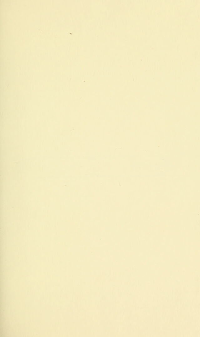 digitised image 3