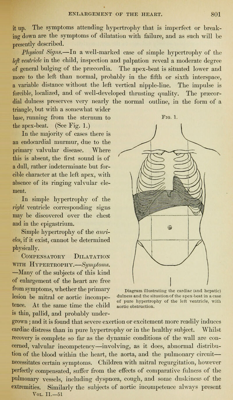 Fig. 1. it up. The symptoms attending hypertrophy that is imperfect or break- ing down are the symptoms of dilatation with failure, and as such will be presently described. Physical Signs.—In a well-marked case of simple hypertrophy of the kfi ventricle in the child, inspection and palpation reveal a moderate degree of general bulging of the prieeordia. The apex-beat is situated lower and more to the left than normal, probably in the fifth or sixth interspace, a variable distance without the left vertical nipple-line. The impulse is forcible, localized, and of well-developed thrusting quality. The prsecor- dial dulness preserves very neai'ly the normal outline, in the form of a triangle, but with a somewhat wider base, running from the sternum to the apex-beat. (See Fig. 1.) In the majority of cases there is an endocardial murmur, due to the primary valvular disease. Where this is absent, the first sound is of a dull, rather indeterminate but for- cible character at the left apex, with absence of its ringing valvular ele- ment. In simple hypertrophy of the tight ventricle corresponding signs may be discovered over the chest and in the epigastrium. Simple hypertrophy of the auri- des, if it exist, cannot be determined physically. Compensatory Dilatation WITH Hypertrophy.—Symiitoms. —Many of the subjects of this kind of enlargement of the heart are free from symptoms, whether the primary lesion be mitral or aortic incompe- tence. At the same time the child is thin, pallid, and probably under- grown ; and it is found that severe exertion or excitement more readily induces cardiac distress than in pure hypertrophy or in the healthy subject. Whilst recovery is complete so far as the dynamic conditions of the wall are con- cerned, valvular incompetency—involving, as it does, abnormal distribu- tion of the blood within the heart, the aorta, and the pulmonary circuit— necessitates certain symptoms. Children with mitral regurgitation, however perfectly compensated, suifer from the eifects of comparative fulness of the pulmonary vessels, including dyspnoea, cough, and some duskiness of the extremities. Similarly the subjects of aortic incompetence always present Vol. II.—51 Diagram illustrating the cardiac (and hepatic) dulness and the situation of the apex-beat in a case of pure hypertrophy of the left ventricle, with aortic obstruction.