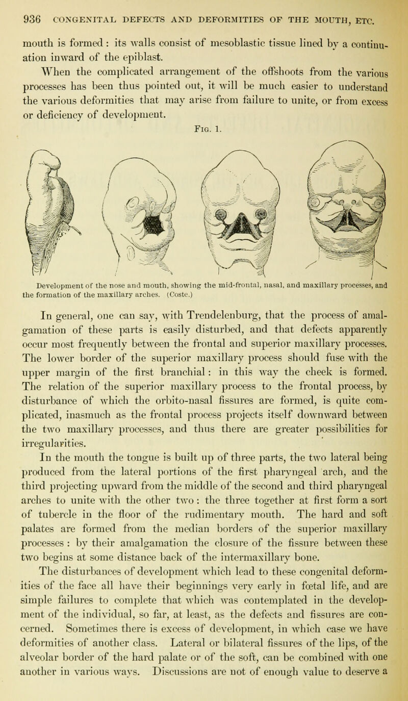mouth is formed : its Malls consist of mesoblastic tissue liued by a continu- ation inward of the epiblast. When the complicated arrangement of the offshoots from the various processes has been thus pointed out, it will be much easier to understand the various deformities that may arise from failure to unite, or from excess or deficiency of development. Fig. 1. Develupment of the nose and mouth, showing the mid-frontal, nasal, and maxillary processes, and the formation of the maxillary arches. (Coste.) In general, one can say, with Trendelenburg, that the process of amal- gamation of these parts is easily disturbed, and that defects apparently occur most frequently between the frontal and superior maxillary processes. The lower border of the superior maxillary process should fuse with the upper margin of the first branchial: in this M'ay the cheek is formed. The relation of the superior maxillary process to the frontal process, by disturbance of which the orbito-nasal fissures are formed, is quite com- plicated, inasmuch as the frontal process projects itself downward between the two maxillary processes, and thus there are greater possibilities for iri'egulavities. In the mouth the tongue is built up of three parts, the two lateral being produced from the lateral portions of the first pharyngeal arch, and the third projecting upward from the middle of the second and third pharyngeal arches to unite with the other two : the three together at first form a sort of tubercle in the floor of the rudimentary mouth. The hard and soft palates are formed from the median borders of the superior maxillary processes : by their amalgamation the closure of the fissure between these two begins at some distance back of the intermaxillary bone. The disturbances of development which lead to these congenital deform- ities of the face all have their beginnings very early in foetal life, and are simple failures to complete that which was contemplated in the develop- ment of the individual, so far, at least, as the defects and fissures are con- cerned. Sometimes there is excess of development, in which case we have deformities of another class. Lateral or bilateral fissures of tlie lips, of the alveolar border of the hard palate or of the soft, can be combined with one another in various ways. Discussions are not of enough value to deserve a
