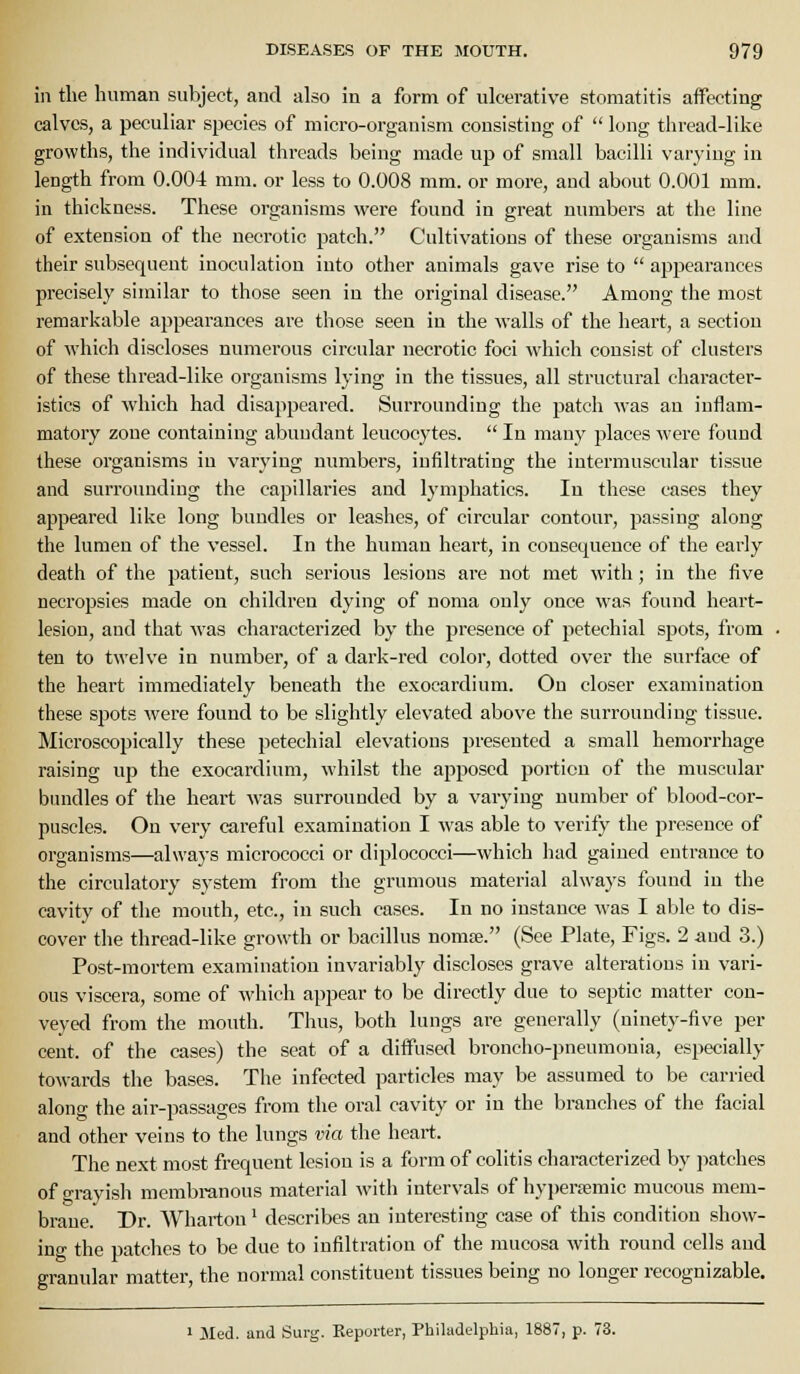 in the human subject, and also in a form of ulcerative stomatitis affecting calves, a peculiar species of micro-organism consisting of  long thread-like growths, the individual threads being made up of small bacilli varying in length from 0.00-4 mm. or less to 0.008 mm. or more, and about 0.001 mm. in thickness. These organisms were found in great numbers at the line of extension of the necrotic patch. Cultivations of these organisms and their subsequent inoculation into other animals gave rise to  appearances precisely similar to those seen in the original disease. Among the most remarkable appearances are those seen in the walls of the heart, a section of which discloses numerous circular necrotic foci which consist of clusters of these thread-like organisms lying in the tissues, all structural character- istics of which had disappeared. Surrounding the patch was an inflam- matory zone containing abundant leucocytes.  In many places were found these organisms in varying numbers, infiltrating the intermuscular tissue and surrounding the capillaries and lymphatics. In these eases they appeared like long bundles or leashes, of circular contour, passing along the lumen of the vessel. In the human heart, in consequence of the early death of the patient, such serious lesions are not met with; in the five necropsies made on children dying of noma only once was found heart- lesion, and that was characterized by the presence of petechial spots, from ten to twelve in number, of a dark-red color, dotted over the surface of the heart immediately beneath the exocardium. On closer examination these sj)ots were found to be slightly elevated above the surrounding tissue. Microscopically these petechial elevations presented a small hemorrhage raising up the exocardium, whilst the apposed portion of the muscular bundles of the heart was surrounded by a varying number of blood-cor- puscles. On very careful examination I was able to verify the presence of organisms—always micrococci or diplococci—which had gained entrance to the circulatory system from the grumous material always found in the cavity of the mouth, etc., in such cases. In no instance was I able to dis- cover the thread-like growth or bacillus noma;. (See Plate, Figs. 2 and 3.) Post-mortem examination invariably discloses grave alterations in vari- ous viscera, some of which appear to be directly due to septic matter con- veyed from the mouth. Thus, both lungs are generally (ninety-five per cent, of the cases) the seat of a diifused broncho-pneumonia, especially towards the bases. The infected particles may be assumed to be carried along the air-passages from the oral cavity or in the branches of the facial and other veins to the lungs via the heart. The next most frequent lesion is a form of colitis characterized by patches of grayish membranous material with intervals of hyperamic mucous mem- brane. Dr. Wharton' describes an interesting case of this condition show- ing the patches to be due to infiltration of the mucosa with round cells and granular matter, the normal constituent tissues being no longer recognizable. 1 Med. and Surg. Reporter, Philadelphia, 1887, p. 73.