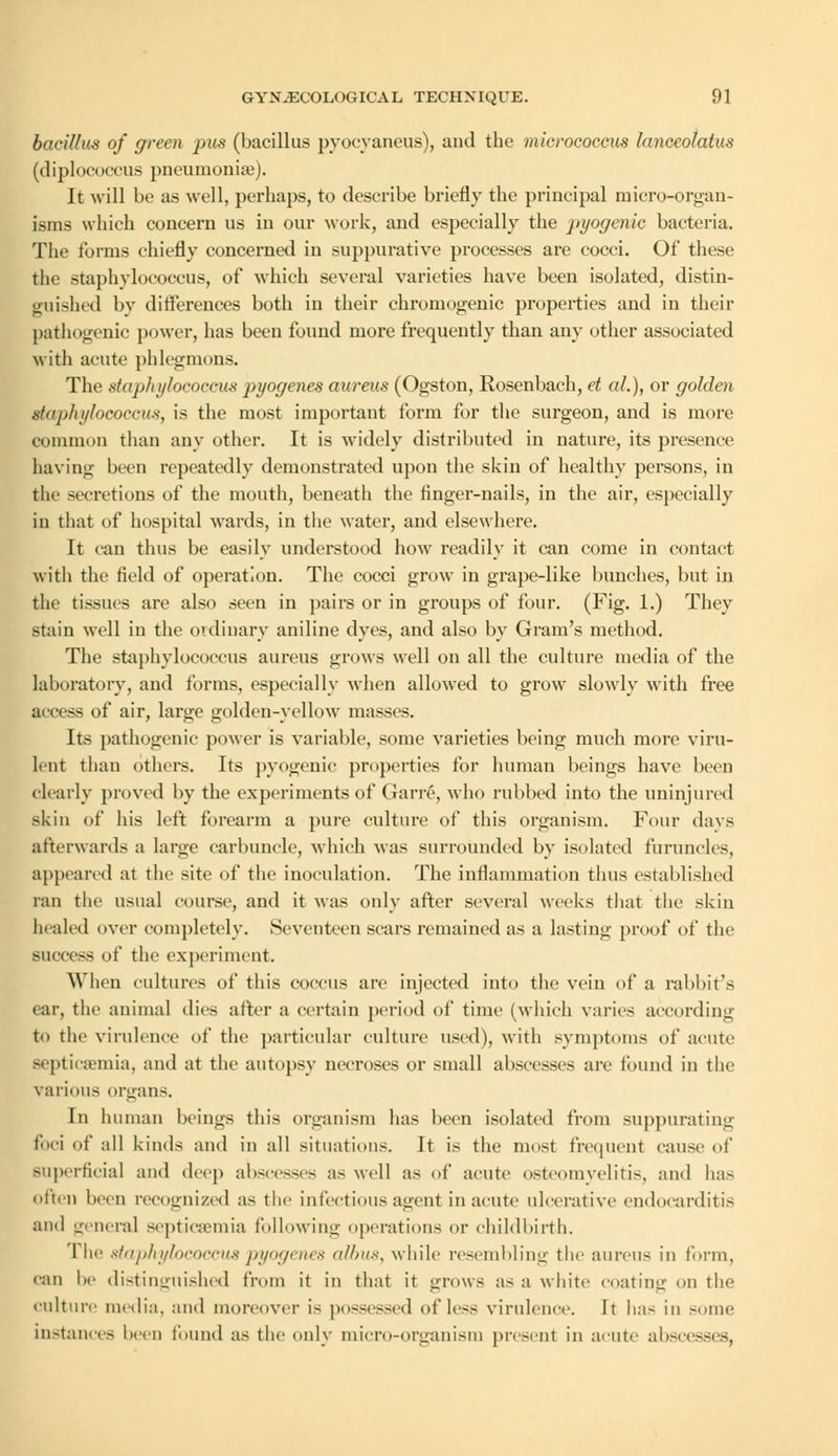bacillus of green pus (bacillus pyoeyaneus), and the micrococcus lanceolatus (diplococcus pneumoniae). It will be as well, perhaps, to describe briefly the principal micro-organ- isms which concern us in our work, and especially the pyogenic bacteria. The forms chiefly concerned in suppurative processes are cocci. Of these the staphylococcus, of which several varieties have been isolated, distin- guished by differences both in their chromogenic properties and in their pathogenic power, has been found more frequently than any other associated with acute phlegmons. The .staphylococcus pyogenes aureus (Ogston, Rosenbach, et al.), or golden t&aphylococcus, is the most important form for the surgeon, and is more Common than any other. It is widely distributed in nature, its presence having been repeatedly demonstrated upon the skin of healthy persons, in the secretions of the mouth, beneath the finger-nails, in the air, especially in that of hospital wards, in the water, and elsewhere. It can thus be easily understood how readily it can come in contact with the field of operation. The cocci grow in grape-like bunches, but in the tissues are also seen in pairs or in groups of four. (Fig. 1.) They stain well in the ordinary aniline dyes, and also by Gram's method. The staphylococcus aureus grows well on all the culture media of the laboratory, and forms, especially when allowed to grow slowly with free access of air, large golden-yellow masses. Its pathogenic power is variable, some varieties being much more viru- lent than others. Its pyogenic properties for human beings have been clearly proved by the experiments of (Jarre, who rubbed into the uninjured skin of his left forearm a pure culture of this organism. Four days afterwards a large carbuncle, which was surrounded by isolated furuncles, appeared at the site of the inoculation. The inflammation thus established ran the usual course, and it was only after several weeks that the skin healed over completely. Seventeen scars remained as a lasting proof of the success of the experiment. When cultures of this coccus are injected into the vein of a rabbit's ear, the animal dies after a certain period of time (which varies according to the virulence of the particular culture used), with symptoms of acute Bepticsemia, and at the autopsy necroses or small abscesses are found in the various organs. In human beings this organism has been isolated from suppurating foci of all kinds and in all situations. It is the most frequent cause of superficial and deep abscesses as well as of acute osteomyelitis, and lias often been recognized as the infectious agent in acute ulcerative endocarditis and general septicaemia following operation- or childbirth. 1 he staphylococcus pyogenes albus, while resembling the aureus in form, can be distinguished from it in that it grows as a white coating on the culture media, and moreover is possessed of less virulence. It has in some instances been found as the only micro-organism present in acute abscesses,
