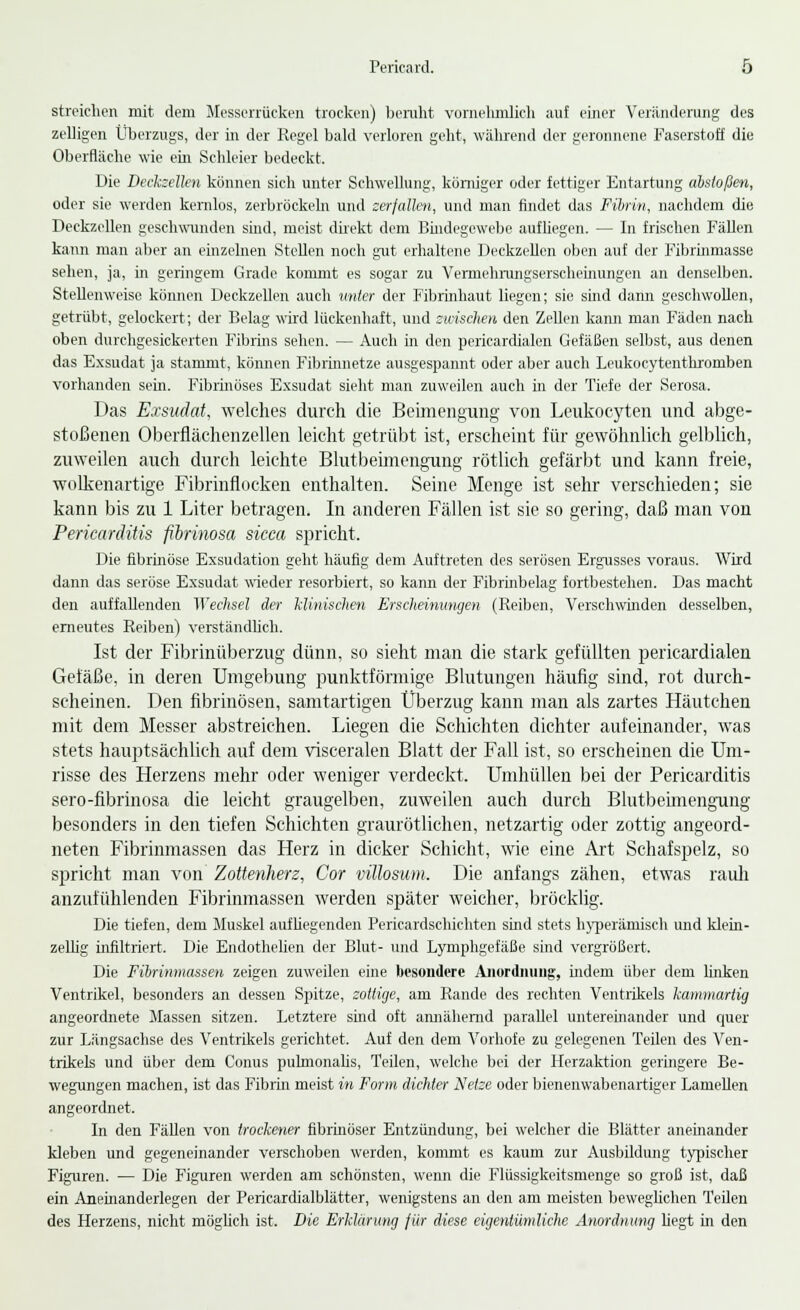 streichen mit dein Messerrücken trocken) beruht vornehmlich auf einer Veränderung des zelligen Überzugs, der in der Regel bald verloren geht, während der geronnene Faserstoff die Oberfläche wie ein Schleier bedeckt. Die Deckzellen können sich unter Schwellung, körniger oder fettiger Entartung abstoßen, oder sie werden kernlos, zerbröckeln und zerfallen, und man findet das Fibrin, nachdem die Deckzellen geschwunden sind, meist direkt dem Bindegewebe auf hegen. — In frischen Fällen kann man aber an einzelnen Stellen noch gut erhaltene Deckzellen oben auf der Fibrinmasse sehen, ja, in geringem Grade kommt es sogar zu Vermehrungserscheinungen an denselben. Stellenweise können Deckzellen auch unter der Fibrinhaut liegen; sie sind dann geschwollen, getrübt, gelockert; der Belag wird lückenhaft, und zwischen den Zellen kann man Fäden nach oben durchgesickerten Fibrins sehen. — Auch in den pericardialen Gefäßen selbst, aus denen das Exsudat ja stammt, können Fibrinnetze ausgespannt oder aber auch Leukocytenthromben vorhanden sein. Fibrinöses Exsudat sieht man zuweilen auch in der Tiefe der Serosa. Das Exsudat, welches durch die Beimengung von Leukocyten und abge- stoßenen Oberflächenzellen leicht getrübt ist, erscheint für gewöhnlich gelblich, zuweilen auch durch leichte Blutbeimengimg rötlich gefärbt und kann freie, wolkenartige Fibrinflocken enthalten. Seine Menge ist sehr verschieden; sie kann bis zu 1 Liter betragen. In anderen Fällen ist sie so gering, daß man von Pericarditis fibrinosa sicca spricht. Die fibrinöse Exsudation geht häufig dem Auftreten des serösen Ergusses voraus. Wird dann das seröse Exsudat wieder resorbiert, so kann der Fibrinbelag fortbestehen. Das macht den auffallenden Wechsel der Minischen Erscheinungen (Reiben, Verschwinden desselben, erneutes Reiben) verständlich. Ist der Fibrinüberzug dünn, so sieht man die stark gefüllten pericardialen Gefäße, in deren Umgebung punktförmige Blutungen häufig sind, rot durch- scheinen. Den fibrinösen, samtartigen Überzug kann man als zartes Häutchen mit dem Messer abstreichen. Liegen die Schichten dichter aufeinander, was stets hauptsächlich auf dem visceralen Blatt der Fall ist, so erscheinen die Um- risse des Herzens mehr oder weniger verdeckt. Umhüllen bei der Pericarditis sero-fibrinosa die leicht graugelben, zuweilen auch durch Blutbeimengung besonders in den tiefen Schichten graurötlichen, netzartig oder zottig angeord- neten Fibrinmassen das Herz in dicker Schicht, wie eine Art Schafspelz, so spricht man von Zottenherz, Cor vülosum. Die anfangs zähen, etwas rauh anzufühlenden Fibrinmassen werden später weicher, bröcklig. Die tiefen, dem Muskel aufhegenden Pericardschichten sind stets hyperämisch und klein- zellig infiltriert. Die Endothelien der Blut- und Lymphgefäße sind vergrößert. Die Fibrinmassen zeigen zuweilen eine besondere Anordnung, indem über dem linken Ventrikel, besonders an dessen Spitze, zottige, am Rande des rechten Ventrikels kaminartig angeordnete Massen sitzen. Letztere sind oft annähernd parallel untereinander und quer zur Längsachse des Ventrikels gerichtet. Auf den dem Vorhofe zu gelegenen Teilen des Ven- trikels und über dem Conus pulmonalis, Teilen, welche bei der Herzaktion geringere Be- wegungen machen, ist das Fibrin meist in Form dichter Netze oder bienenwabenartiger Lamellen angeordnet. In den Fällen von trockener fibrinöser Entzündung, bei welcher die Blätter anehiander kleben und gegeneinander verschoben werden, kommt es kaum zur Ausbildung typischer Figuren. — Die Figuren werden am schönsten, wenn die Flüssigkeitsmenge so groß ist, daß ein Aneinanderlegen der Pericardialblätter, wenigstens an den am meisten beweglichen Teilen des Herzens, nicht möglich ist. Die Erklärung für diese eigentümliche Anordnung hegt in den