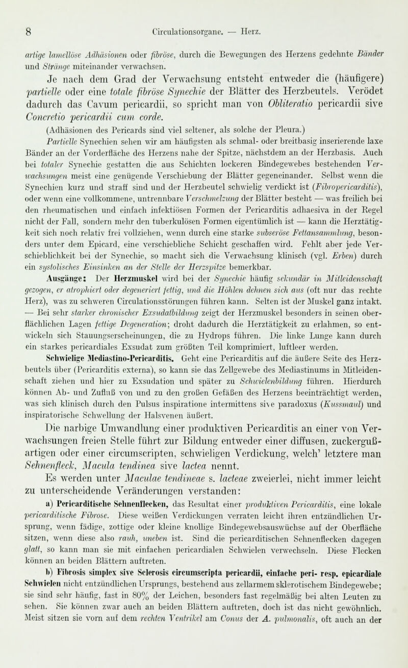 artige lamellöse Adhäsionen oder fibröse, durch die Bewegungen des Herzens gedehnte Bänder und Stränge miteinander verwachsen. Je nach dem Grad der Verwachsung entsteht entweder die (häufigere) partielle oder eine totale fibröse Synechie der Blätter des Herzbeutels. Verödet dadurch das Cavum pericardii, so spricht man von OUiteratio pericardii sive Concretio pericardii cum corde. (Adhäsionen des Pericards sind viel seltener, als solche der Pleura.) Partielle Synechien sehen wir am häufigsten als schmal- oder breitbasig inserierende laxe Bänder an der Vorderfläche des Herzens nahe der Spitze, nächstdem an der Herzbasis. Auch bei totaler Synechie gestatten die aus Schichten lockeren Bindegewebes bestehenden Ver- wachsungen meist eine genügende Verschiebung der Blätter gegeneinander. Selbst wenn die Synechien kurz und straff sind und der Herzbeutel schwielig verdickt ist (Fibropericarditis), oder wenn eine vollkommene, untrennbare Verschmelzung der Blätter besteht — was freilich bei den rheumatischen und einfach infektiösen Formen der Pericarditis adhaesiva in der Regel nicht der Fall, sondern mehr den tuberkulösen Formen eigentümlich ist — kann die Herztätig- keit sich noch relativ frei vollziehen, wenn durch eine starke subseröse Fettansammlung, beson- ders unter dem Epicard, eine verschiebliche Schicht geschaffen wird. Fehlt aber jede Ver- schieblichkeit bei der Synechie, so macht sich die Verwachsung klinisch (vgl. Erben) durch ein systolisches Einsinken an der Stelle der Herzspitze bemerkbar. Ausgänge: Der Herzmuskel wird bei der Synechie häufig sekundär in Mitleidenschaft gezogen, er alrophürt oder degeneriert fettig, und die Höhlen dehnen sich atts (oft nur das rechte Herz), was zu schweren Circulationsstörungcn führen kann. Selten ist der Muskel ganz intakt. — Bei sehr starker chronischer Exsudalbildung zeigt der Herzmuskel besonders in seinen ober- flächlichen Lagen fettige Degeneration; droht dadurch die Herztätigkeit zu erlahmen, so ent- wickeln sich Stauungserscheinungen, die zu Hydrops führen. Die linke Lunge kann durch ein starkes pericardiales Exsudat zum größten Teil komprimiert, luftleer werden. Schwielige Mcdiastino-Pericarditis. Geht eine Pericarditis auf die äußere Seite des Herz- beutels über (Pericarditis externa), so kann sie das Zellgewebe des Mediastinums in Mitleiden- schaft ziehen und hier zu Exsudation und später zu Schicielenbildung führen. Hierdurch können Ab- und Zufluß von und zu den großen Gefäßen des Herzens beeinträchtigt werden, was sich klinisch durch den Pulsus inspiratione intermittens si\e paradoxus (Kussmaul) und inspiratorische Schwellung der Halsvenen äußert. Die narbige Umwandlung einer produktiven Pericarditis an einer von Ver- wachsungen freien Stelle führt zur Bildung entweder einer diffusen, zuckerguß- artigen oder einer circumscripten, schwieligen Verdickung, welch' letztere man Sehnenfleck, Macida tendinea sive lactea nennt. Es werden unter Maculae tendineae s. lodern zweierlei, nicht immer leicht zu unterscheidende Veränderungen verstanden: a) Pericarditische Sehnenflecken, das Resultat einer produktiven Pericarditis, eine lokale pericarditische Fibrose. Diese weißen Verdickungen verraten leicht ihren entzündlichen Ur- sprung, wenn fädige, zottige oder kleine knollige Bindegewebsauswüchse auf der Oberfläche sitzen, wenn diese also rauh, uneben ist. Sind die pericarditischen Sehnenflecken dagegen glatt, so kann man sie mit einfachen pericardialen Schwielen verwechseln. Diese Flecken können an beiden Blättern auftreten. b) Fibrosis simples sive Sclerosis circumscripta pericardii, einlache peri- resp. epicardiale Schwielen nicht entzündlichen Ursprungs, bestehend aus zellarmem sklerotischem Bindegewebe; sie sind sehr häufig, fast in 80% der Leichen, besonders fast regelmäßig bei alten Leuten zu sehen. Sie können zwar auch an beiden Blättern auftreten, doch ist das nicht gewöhnlich. Meist sitzen sie vom auf dem rechten Ventrikel am Conus der A. pulmonales, oft auch an der