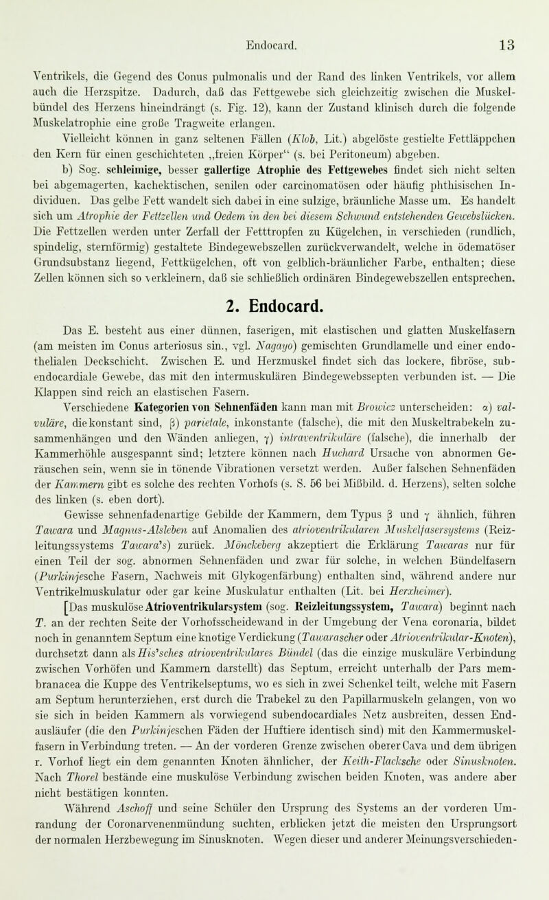Ventrikels, die Gegend des Conus pulmonalis und der Rand des linken Ventrikels, vor allem auch die Herzspitze. Dadurch, daß das Fettgewebe sich gleichzeitig zwischen die Muskel- bündel des Herzens hineindrängt (s. Fig. 12), kann der Zustand klinisch durch die folgende Muskelatrophie eine große Tragweite erlangen. Vielleicht können in ganz seltenen Fällen (Klob, Lit.) abgelöste gestielte Fettläppchen den Kern für einen geschichteten „freien Körper (s. bei Peritoneum) abgeben. b) Sog. schleimige, besser gallertige Atrophie des Fettgewebes findet sich nicht selten bei abgemagerten, kachektisehen, senilen oder carcinomatösen oder häufig phtlüsischen In- dividuen. Das gelbe Fett wandelt sich dabei in eine sulzige, bräunliche Masse um. Es handelt sich um Atrophie der Fettzellen und Oedem in den bei diesem Schwund entstehenden Geicebslücken. Die Fettzellen werden unter Zerfall der Fetttropfen zu Kügelchen, in verschieden (randlich, spindelig, sternförmig) gestaltete Bindegewebszellen zurückverwandelt, welche in ödematöser Grandsubstanz hegend, Fettkügelchen, oft von gelblich-bräunlicher Farbe, enthalten; diese Zellen können sich so verkleinem, daß sie schließlich ordinären Bindegewebszellen entsprechen. 2. Endocard. Das E. besteht aus einer dünnen, faserigen, mit elastischen und glatten Muskelfasern (am meisten im Conus arteriosus sin., vgl. Nagcujo) gemischten GrandlameUe und einer endo- thelialen Deckschicht. Zwischen E. und Herzmuskel findet sich das lockere, fibröse, sub- endocardiale Gewebe, das mit den intermuskulären Bindegewebssepten verbunden ist. — Die Klappen sind reich an elastischen Fasern. Verschiedene Kategorien von Sehnenfäden kann man mit Broiäcz unterscheiden: v.) val- vuläre, diekonstant sind, ß) parietale, inkonstante (falsche), die mit den Muskeltrabekeln zu- sammenhängen und den Wänden anhegen, y) intraventrikuläre (falsche), die innerhalb der Kammerhölile ausgespannt sind; letztere können nach Huchard Ursache von abnormen Ge- räuschen sein, wenn sie in tönende Vibrationen versetzt werden. Außer falschen Sehnenfäden der Kammern gibt es solche des rechten Vorhofs (s. S. 56 bei Mißbild. d. Herzens), selten solche des linken (s. eben dort). Gewisse sehnenfadenartige Gebüde der Kammern, dem Typus ß und j ähnlich, führen Tawara und Magnus-Alsleben auf Anomalien des atrioventrikulären Muskelfasersystems (Reiz- leitungssystems Tawara,s) zurück. Mönckeberg akzeptiert die Erklärung Tamaras nur für einen Teil der sog. abnormen Sehnenfäden und zwar für solche, in welchen Bündelfasem (Purkinjesche Fasern, Nachweis mit Glykogenfärbung) enthalten sind, während andere nur Ventrikelmuskulatur oder gar keine Muskulatur enthalten (Lit. bei Herxheinier). [Das muskulöse Atrioventrikularsystem (sog. Reizleitungssystem, Tawara) beginnt nach T. an der rechten Seite der Vorhofsscheidewand in der Umgebung der Vena coronaria, bildet noch in genanntem Septum eine knotige Verdickung (Tawarascher oder Atrioventrikidar-Knoten), durchsetzt dann als His'sches atrioventrikuläres Bündel (das die einzige muskuläre Verbindung zwischen Vorhöfen und Kammern darstellt) das Septum, erreicht unterhalb der Pars mem- branacea die Kuppe des Ventrikelseptums, wo es sich in zwei Schenkel teilt, welche mit Fasern am Septum herunterziehen, erst durch die Trabekel zu den Papillamiuskebi gelangen, von wo sie sich in beiden Kammern als vorwiegend subendocardiales Netz ausbreiten, dessen End- ausläufer (die den Purkinjeschen Fäden der Huftiere identisch sind) mit den Kammermuskel- fasern in Verbindung treten. — An der vorderen Grenze zwischen oberer Cava und dem übrigen r. Vorhof liegt ein dem genannten Knoten ähnlicher, der Keith-Flacksche oder Sinusknolen. Nach Thorel bestände eine musknlöse Verbindung zwischen beiden Knoten, was andere aber nicht bestätigen konnten. Während Aschoff und seine Schüler den Ursprung des Systems an der vorderen Um- randung der Coronarvenenrnündung suchten, erblicken jetzt die meisten den Ursprungsort der normalen Herzbew*egung im Sinusknoten. Wegen dieser und anderer Meinungsverschieden-