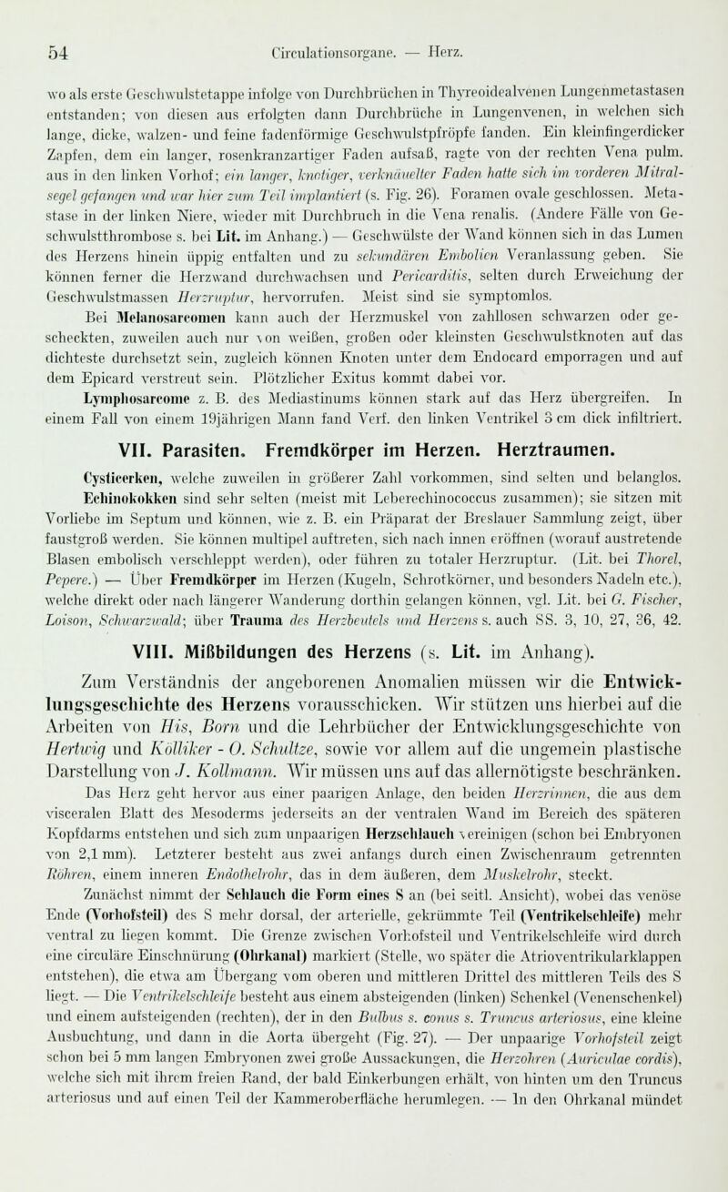 wo als erste Geschwulstetappe infolge von Durchbrächen in Thj-reoidealvenen Lungenmetastasen entstanden; von diesen aus erfolgten dann Durchbrüche in Lungenvenen, in welchen sich lange, dicke, walzen- und feine fadenförmige Geschwulstpfröpfe fanden. Ein kieinfingerdicker Zapfen, dem ein langer, rosenkranzartiger Faden aufsaß, ragte von der rechten Vena pulm. aus in den linken Vorhof; ein langer, knotiger, verknäuelter Faden hatte sich im vorderen Miträl- segel gefangen und war hier zum Teil implantiert (s. Fig. 26). Foramen ovale geschlossen. Meta- stase in der linken Niere, wieder mit Durchbruch in die Vena renalis. (Andere Fälle von Ge- schwulstthrombose s. bei Lit. im Anhang.) — Geschwülste der Wand können sich in das Lumen des Herzens hinein üppig entfalten und zu sekundären Embolien Veranlassung geben. Sie können ferner die Herzwand durchwachsen und Perikarditis, selten durch Erweichung der Geschwulstmassen Herrruptur, hervorrufen. Meist smd sie symptomlos. Bei Melanosarcomen kann auch der Herzmuskel von zahllosen schwarzen oder ge- scheckten, zuweilen auch nur \on weißen, großen oder kleinsten Geschwulstknoten auf das dichteste durchsetzt sein, zugleich können Knoten unter dem Endocard emporragen und auf dem Epicard verstreut sein. Plötzlicher Exitus kommt dabei vor. Lymphosarkome z. B. des Mediastinums können stark auf das Herz übergreifen. In einem Fall von einem 19jährigen Mann fand Verf. den linken Ventrikel 3 cm dick infiltriert. VII. Parasiten, Fremdkörper im Herzen. Herztraumen. Cystieerken, welche zuweilen in größerer Zahl vorkommen, sind selten und belanglos. Echinokokken sind sehr selten (meist mit Lcberechinococcus zusammen); sie sitzen mit Vorliebe im Septum und können, wie z. B. ein Präparat der Breslauer Sammlung zeigt, über faustgroß werden. Sie können multipel auftreten, sich nach innen eröffnen (worauf austretende Blasen embolisch verschleppt werden), oder führen zu totaler Herzruptur. (Lit. bei Thorel, Pepere.) — Über Fremdkörper im Herzen (Kugeln, Schrotkörner, und besonders Nadeln etc.), welche direkt oder nach längerer Wanderung dorthin gelangen können, vgl. Lit. bei G. Fischer, Loison, Schwarzwald; über Trauma des Herzbeutels und Herzens s. auch SS. 3, 10, 27, 36, 42. VIII. Mißbildungen des Herzens (s. Lit. im Anhang). Zum Verständnis der angeborenen Anomalien müssen wir die Entwick- lungsgeschichte des Herzens vorausschicken. Wir stützen uns hierbei auf die Arbeiten von His, Born und die Lehrbücher der Entwicklungsgeschichte von Hertwig und Kölliker - 0. Schnitze, sowie vor allem auf die ungemein plastische Darstellung von ./. Kollmann. Wir müssen uns auf das allernötigste beschränken. Das Herz geht hervor aus einer paarigen Anlage, den beiden Herzrinnen, die aus dem visceralen Blatt des Mesoderms jederseits an der ventralen Wand im Bereich des späteren Kopfdarms entstehen und sich zum unpaarigen Herzschlauch vereinigen (schon bei Embryonen von 2,1 mm). Letzterer besteht aus zwei anfangs durch einen Zwischenraum getrennten Röhren, einem inneren Endolhelrohr, das in dem äußeren, dem Muskelrohr, steckt. Zunächst nimmt der Schlauch die Form eines S an (bei seitl. Ansicht), wobei das venöse Ende (Vorhofsteil) des S mehr dorsal, der arterielle, gekrümmte Teil (Ventrikelschleife) mehr ventral zu hegen kommt. Die Grenze zwischen Vorhofsteil und Ventrikelschleife wird durch eine circuläre Einschnürung (Olirkaual) markiert (Stelle, wo später die Atrioventrikularklappen entstehen), die etwa am Übergang vom oberen und mittleren Drittel des mittleren Teils des S liegt. — Die Ventrikelschleife besteht aus einem absteigenden (linken) Schenkel (Venenschenkel) und einem aufsteigenden (rechten), der in den Bulbus s. conus s. Truncas arteriosus, eine kleine Ausbuchtung, und dann in die Aorta übergeht (Fig. 27). — Der unpaarige Vorhofsteil zeigt schon bei 5 mm langen Embryonen zwei große Aussackungen, die Herzohren (Auriculae cordis), welche sich mit ihrem freien Rand, der bald Einkerbungen erhält, von hinten um den Truncus arteriosus und auf einen Teil der Kammeroberfläche herumlegen. — In den Ohrkanal mündet