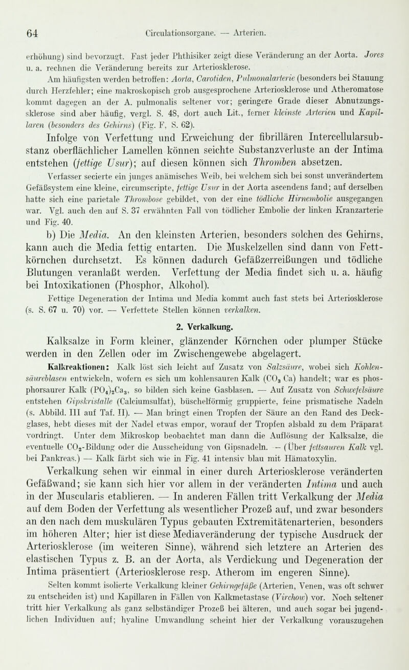 erhöhung) sind bevorzugt. Fast jeder Phthisiker zeigt diese Veränderung an der Aorta. Jores u. a. rechnen die Veränderung bereits zur Arteriosklerose. Am häufigsten werden betroffen: Aorta, Carotiden, Pulmonalarterie (besonders bei Stauung durch Herzfehler; eine makroskopisch grob ausgesprochene Arteriosklerose und Atheromatose kommt dagegen an der A. pulmonalis seltener vor; geringere Grade dieser Abnutzungs- sklerose sind aber häufig, vergl. S. 48, dort auch Lit„, ferner kleinste Arterien und Kapil- laren (besonders des Gehirns) (Fig. F, S. 62). Infolge von Verfettung und Erweichung der fibrillären Intercellularsub- stanz oberflächlicher Lamellen können seichte Substanzverluste an der Intima entstehen (fettige Usur); auf diesen können sich Thromben absetzen. Verfasser secierte ein junges anämisches Weib, bei welchem sich bei sonst unverändertem Gefäßsystem eine kleine, chcumscripte, fettige Usur in der Aorta ascendens fand; auf derselben hatte sich eine parietale Thrombose gebildet, von der eine tödliche Hirnembolie ausgegangen war. Vgl. auch den auf S. 37 erwähnten Fall von tödlicher Embolie der linken Kranzarterie und Fig. 40. b) Die Media, An den kleinsten Arterien, besonders solchen des Gehirns, kann auch die Media fettig entarten. Die Muskelzellen sind dann von Fett- körnchen durchsetzt. Es können dadurch Gefäßzerreißungen und tödliche Blutungen veranlaßt werden. Verfettung der Media findet sich u. a. häufig bei Intoxikationen (Phosphor, Alkohol). Fettige Degeneration der Intima und Media kommt auch fast stets bei Arteriosklerose (s. S. 67 u. 70) vor. — Verfettete Stellen können verkalken. 2. Verkalkung. Kalksalze in Form kleiner, glänzender Körnchen oder plumper Stücke werden in den Zellen oder im Zwischengewebe abgelagert. Kalkreaktionen: Kalk löst sich leicht auf Zusatz von Salzsäure, wobei sich Kohlen- säureblasen entwickeln, wofern es sich um kohlensauren Kalk (C03 Ca) handelt; war es phos- phorsaurer Kalk (P04)2Ca3, so bilden sich keine Gasblasen. — Auf Zusatz von Schwefelsäure entstehen Gipskristalle (Calciumsulfat), büschelförmig gruppierte, feine prismatische Nadeln (s. Abbild. III auf Taf. II). — Man bringt einen Tropfen der Säure an den Rand des Deck- glases, hebt dieses mit der Nadel etwas empor, worauf der Tropfen alsbald zu dem Präparat vordringt. Unter dem Mikroskop beobachtet man dann die Auflösung der Kalksalze, die eventuelle C02-Bildung oder die Ausscheidung von Gipsnadeln. - (Über fettsauren Kalk vgl. bei Pankreas.) — Kalk färbt sich wie in Fig. 41 intensiv blau mit Hämatoxylin. Verkalkung sehen wir einmal in einer durch Arteriosklerose veränderten Gefäßwand; sie kann sich hier vor allem in der veränderten Intima und auch in der Muscularis etablieren. — In anderen Fällen tritt Verkalkung der Media auf dem Boden der Verfettung als wesentlicher Prozeß auf, und zwar besonders an den nach dem muskulären Typus gebauten Extremitätenarterien, besonders im höheren Alter; hier ist diese Mediaveränderung der typische Ausdruck der Arteriosklerose (im weiteren Sinne), während sich letztere an Arterien des elastischen Typus z. B. an der Aorta, als Verdickung und Degeneration der Intima präsentiert (Arteriosklerose resp. Atherom im engeren Sinne). Selten kommt isolierte Verkalkung kleiner Gehirngefäße (Arterien, Venen, was oft schwer zu entscheiden ist) und Kapillaren in Fällen von Kalkmetastase (Virchow) vor. Noch seltener tritt hier Verkalkung als ganz selbständiger Prozeß bei älteren, und auch sogar bei jugend- lichen Individuen auf; hvaline Umwandlung scheint hier der Verkalkung vorauszugehen