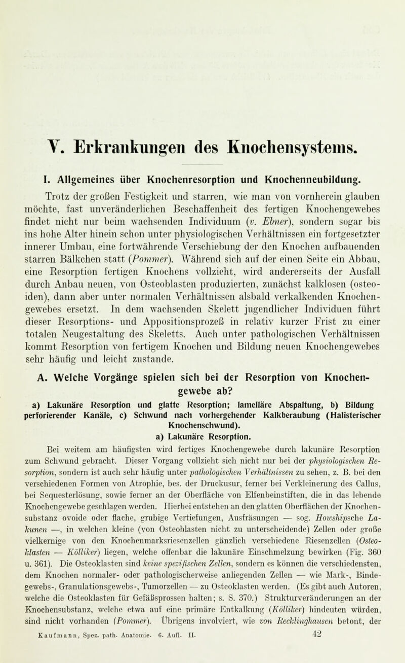 Y. Erkrankungen des Knocliensystenis. I. Allgemeines über Knochenresorption und Knochenneubildung. Trotz der großen Festigkeit und starren, wie man von vornherein glauben möchte, fast unveränderlichen Beschaffenheit des fertigen Knochengewebes findet nicht nur beim wachsenden Individuum {v. Ebner), sondern sogar bis ins hohe Alter hinein schon unter phj'siologischen Verhältnissen ein fortgesetzter innerer Umbau, eine fortwährende Verschiebung der den Knochen aufl)aucnden starren Bälkchen statt (Pommer). Während sich auf der einen Seite ein Abbau, eine Resorption fertigen Knochens vollzieht, wird andererseits der Ausfall dm-ch Anbau neuen, von Osteoblasten produzierten, zunächst kalklosen (osteo- iden), dann aber unter normalen Verhältnissen alsbald verkalkenden Knochen- gewebes ersetzt. In dem wachsenden Skelett jugendlicher Individuen führt dieser Eesorptions- und Appositionsprozeß in relativ kurzer Frist zu einer totalen Neugestaltung des Skeletts. Auch unter pathologischen Verhältnissen kommt Resorption von fertigem Knochen und Bildung neuen Knochengewebes sehr häufig und leicht zustande. A. Welche Vorgänge spielen sich bei der Resorption von Knochen- gewebe ab? a) Lakunäre Resorption und glatte Resorption; lamelläre Abspaltung, b) Bildung perforierender Kanäle, c) Schwund nach vorhergehender Kalkberaubung (Halisterischer Knochenschwund), a) Lakunäre Resorption. Bei weitem am liäufigsten wii'd fertiges Knochengewebe durcli lakunäre Resorption zum Schwund gebracht. Dieser Vorgang vollzieht sich nicht nur bei der physiologischen Re- sorption, sondern ist auch sehr häufig unter pathologischen Verhältnissen zu sehen, z. B. bei den verschiedenen Formen von Atrophie, bes. der Druclaisur, ferner bei Verklemening des CaUus, bei Sequesterlösung, so^\^e ferner an der Obeifläche von Elfenbeuistiften, die in das lebende Knochengewebe geschlagen werden. Hierbei entstehen an den glatten Oberflächen der Kjiochen- substanz ovoide oder flache, grubige Vertiefungen, Ausfräsungen — sog. Hoioshipsche La- kunen —, in welchen kleine (von Osteoblasten nicht zu unterscheidende) Zellen oder große vielkemige von den Knochenmarksriesenzellen gänzUch verschiedene Riesenzellen {Osteo- klasten — KölUker) liegen, welche offenbar die lakunäre Eüischmelzung bewirken (Fig. 360 u. 361). Die Osteoklasten sind keine spezifischen Zellen, sondern es können die verschiedensten, dem Knochen normaler- oder pathologischerweise anliegenden Zellen — wie Mark-, Binde- gewebs-, Granulationsgewebs-, Tumorzellen — zu Osteoklasten werden. (Es gibt auch Autoren, welche die Osteoklasten für Gefäßsprossen halten; s. S. 370.) Strukturverändennigen an der Knochensubstanz, welche etwa auf eine primäre Entkalkung (KölUker) hindeuten würden, sind nicht vorhanden (Pommer). Übrigens involviert, wie von Recklinghausen betont, der Kaufmann. S]iez. path. Anatomie. G. Aufl. U. 42