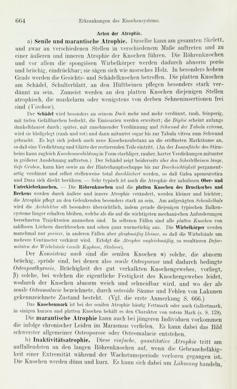 Arten der Atrophie. a) Senile und marantische Atrophie. Dieselbe kann am gesamten Skelett, imd zwar an verschiedeneii Stellen in verschiedenem Maße auftreten und zu einer äußeren und inneren x\trophie der Knochen führen. Die Kölu-enknochen und vor allem die spongiösen AVirbelkörper werden dadurch abnorm porös und brüchig, eindrückbar; sie sägen sich wie morsches Holz. In besonders hohem Grade werden die Gesichts- und Schädelknochen betroffen. Die platten Knochen am Schädel, Schulterblatt, an den Hüftbeinen pflegen besonders stark ver- dünnt zu sein. Zumeist werden an den platten Knochen diejenigen Stellen atro])hisch, die muskelarm oder wenigstens von derben Sehneniusertionen frei sind (Virchow). Der Scliädel wird Ijesonders an seinem Dacli melir und mehr verdünnt, rauh, feinporig, mit tiefen Gefäßfnrclien bedeelit, die Emissarien werden erweitert; die Diploe scheint anfangs dunkelblamot durcli; später, mit zuneliniender Verdünnung und Schinmd der Tahtila externa, wild sie bloßgelegt (rauli imd rot) und dann mitunter sogar bis zur Tabula vitrea zum Schwund gebracht. Es legt sich jedoch auch neue Knochensubstanz an die eröffneten Markräume an, so daß eine Verdichtung und Glätte der restierenden Teile eintritt. (Ari der Innenfläche des Stirn- beins kann zugleich Knochenneulüdunci in Form stachliger, rauher, harter Verdickungen mitunter in größerer Ausdehnung auftreten.) Der Schädel zeigt beiderseits iiher den Scheitelbeinen lange, tiefe Gruben, kann hier sowie an der Hinterhauptsschuppe bis zur Durchsichtigkeit pergament- artig verdünnt und selbst stellenweise total dvrchlöchert werden, so daß Galea aponeurotica und T>ura sich direkt berühren. — Sehr t^-pisch ist auch die Atropliie der zahnlosen Ober- und Unferkiderkiioehen. — Die Rölirenkiiochen und die platten Knodieii des Brustkorbes und IJeokons werden durch äußere und innere Atrophie verändert, werden kleiner und leichter; (He Atropliie pflegt an den Gelenkenden besonders stark zu sein. Am aufgesägten Schenkelhals wird die Architektur oft l^esonders übersichtlich, indem gerade diejenigen t3irischen Balken- systeme länger erhalten bleiben, welche als die auf die wichtigsten mechanischen Anforderungen berechneten Trajektorien anzusehen sind. In seltenen Fällen sind alle platten Knochen von zahllosen Löchern durchbrochen und sehen ganz ^\1u■mstichig aus. Die AVirbelkörper werden manchmal nur poröser, in anderen Phallen aber gleichmäßig kleiner, so daß die Wirbelsäule um mehrere Centimeter verkür-zt wii-d. Erfolgt che Atrophie vngleichmäßig. so resultieren Defor- mitäten der Wirbelsävle (senile Ki/phose, Skoliose). Der Ko7isistenz nach sind die senilen Knochen a) solche, die abnorm brüchig, spröde sind, bei denen also senile Osteoporose und dadurch bedingte Osteopsathiirosis. Brüchigkeit des gut verkalkten Knochengewebes, vorliegt, ß) solche, bei welchen die eigentliche Festigkeit des Knochengewebes leidet, wodurch der Knochen abnorm weich und schneidbar wird, und wo der als senile Osteovialacie bezeichnete, durch osteoide Säume und Fehlen von Lakunen gekennzeichnete Zustand besteht. (Vgl. die erste Anmerkung S. 666.) Das Knoehemnark ist bei der senilen Atrophie häufig Fettmark oder auch Gallertmark, in einigen kurzen und platten Knochen Ijehält es den Charakter von rotem Mark (s. S. 179). Die marantische Atrophie kann auch bei jüngeren Individuen vorkommen die infolge chronischer Leiden ün Marasmus verfielen. Es kann dabei das Bild schwerster allgemeiner Osteoporose oder Osteomalacie entstehen. b) Inaktivitätsatrophie. Diese einfnche. quantitative Atrophie tritt am auffallendsten an den langen Röhrenknochen auf, wenn die Gebrauchsfähig- keit einer Extremität während der Wachstumsperiode verloren gegangen ist. Die Knochen werden dünn und kurz. Es kann sich dabei mn Lähmung handeln,