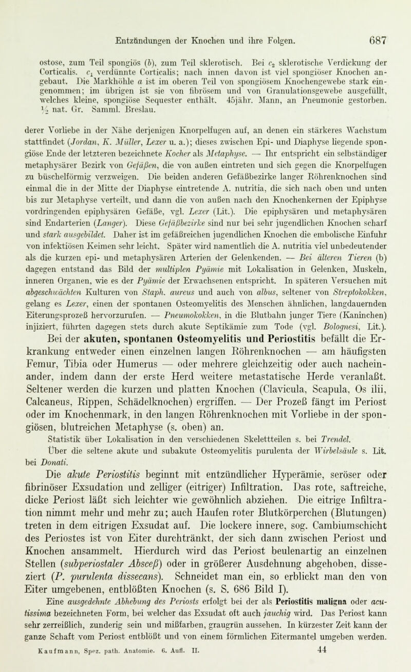 ostose, zum Teil spongiös [b], zum Teil sklerotiscli. Bei fj sklerotische Verdickung der Corticalis. c^ verdünnte Corticalis; nach innen davon ist viel spongioser Ivnochen an- gebaut. Die Markhühle a ist im oberen Teil von spongiosem ICnochengewebe stark ein- genommen; im übrigen ist sie von fibrösem und von Granulationsgewebe ausgefüllt, welches kleine, spongiöse Sequester enthält. 45jähr. Jlann, an Pneumonie gestorben. ^2 nat. Gr. Samml. Breslau. derer Vorliebe in der Xähe derjenigen IvnorpeUugen auf, an denen ein stärkeres Wachstum stattfindet {Jordan, K. Müller, Lexer u. a.); dieses zwischen Epi- und Diaphyse liegende spon- giöse Ende der letzteren bezeichnete Kocher als Meiaphyse. — Hir entspricht ein selbständiger metaphysärer Bezirk von Gefäßen, die von außen eintreten und sich gegen die Knorpelfugen zu büschelförmig verzweigen. Die beiden anderen Gefäßbezirke langer Röhrenknochen sind einmal die in der Jlitte der Diaphyse eintretende A. nutritia, die sich nach oben und unten bis zur iletaphyse verteilt, und dann die von außen nach den Knochenkemen der Epiphyse vordringenden epiphysären Gefäße, vgl. Lexer (Lit.). Die epiphysären mid metaphysären sind Endarterien [Langer). Diese Gefäßbezirke sind nur bei sehr jugendlichen Knochen scharf und siarlc ausgebildet. Daher ist im gefäßreichen jugendHchen Knochen die embolische Einfuhr von infektiösen Keimen selir leicht. Später wird namenthch die A. nutritia viel unbedeutender als die kurzen epi- und metaphysären Arterien der Gelenkenden. — Bei älteren Tieren (b) dagegen entstand das Bild der multiplen Pijämie mit Lokaüsation in Gelenken, Muskeln, inneren Organen, wie es der Pyämie der Erwachsenen entspricht. In späteren Versuchen mit abgeschuächten Kulturen von Stapli. aureus und auch von albus, seltener von Streptokokken, gelang es Lexer, einen der spontanen Osteomyelitis des Jlenschen ähnlichen, langdauemden Eiterungsprozeß hervorzurufen. — Pneumokokken, in che Blutbahn junger Tiere (Kaninchen) injiziert, führten dagegen stets durch akute Septikämie zum Tode (vgl. Bolognesi, Lit.). Bei der akuten, spontanen Osteomyelitis und Periostitis befällt die Er- krankung entweder einen einzelnen langen Köhrenknochen — am häufigsten Femur, Tibia oder Hiimerus — oder melirere gleichzeitig oder auch nachein- ander, indem dann der erste Herd weitere metastatische Herde veranlaßt. Seltener werden die kurzen und platten Knochen (Cla\äcula, Scapula, Os ilii, Calcaneus, Rippen, Schädellmochen) ergriffen. — Der Prozeß fängt im Periost oder im Knochenmark, in den langen Röhrenknochen mit Vorliebe in der spon- giösen, blutreichen Metaphyse (s. oben) an. Statistik über Lokahsation in den verschiedenen SkelettteUen s. bei Trendel. Über die seltene akute und subakute Osteomyehtis purulenta der Wirbelsäule s. Lit. bei Donati. Die akute Periostitis beginnt mit entzündlicher Hyi)eräraie, seröser oder fibrinöser Exsudation und zelliger (eitriger) Infiltration. Das rote, saftreiche, dicke Periost läßt sich leichter wie gewöhnlich abziehen. Die eitrige Infiltra- tion nimmt mehr und mehr zu; auch Haufen roter Blutkörperchen (Blutungen) treten in dem eitrigen Exsudat auf. Die lockere innere, sog. Cambiumschicht des Periostes ist von Eiter durchtränkt, der sich dann zwischen Periost und Knochen ansammelt. Hierdurch wird das Periost beulenartig an einzelnen Stellen {suhperiostaler Absceß) oder in größerer Ausdehnung abgehoben, disse- ziert (P. purulenta dissecans). Schneidet man ein, so erblickt man den von Eiter lungebenen, entblößten Knochen (s. S. 686 Bild I). Eine ausgedehnte Abhebung des Periosts erfolgt bei der als Periostitis maligna oder acu- tissima bezeichneten Form, bei welcher das Exsudat oft auch jauchig wird. Das Periost kann sehr zerreißlich, zunderig sein und mißfarben, graugrün aussehen. In küi'zester Zeit kann der ganze Schaft vom Periost entblößt und von einem förmlichen Eitermantel umgeben werden. Kaufmann. Spfz. patli. Anatomie, fi. Aufl. U. 44