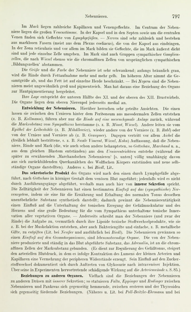 Im Mark liegen zahlreiche Kapillaren und Venengeflechte. Im Centnim der Neben- niere liegen die großen Venenslämme. In der Kapsel und in den Septen sowie um die centralen Venen finden sich Geflechte von Lijm-phgefüßen. — Nerven sind sehr zahlreich und bestehen aus marklosen Fasern (meist aus dem Plexus coeliacus), die von der Kapsel aus eindringen. In der Zona reticularis und vor allem im Mark bilden sie Geflechte, die im Mark äußerst dicht sind und jede einzelne Zelle umgeben. Im Mark .sind auch Gnippen sympathischer Ganglien- zellen, die nach ^Yiesel ebenso wie die chromaffinen Zellen von ursprünglichen sympathischen , Bildungszellen' abstammen. Die dröße und die Farbe der Nebenniere ist sehr schwankend; anfangs bräunlich grau, wird die Rinde durch Fettaufnahme mehr und mehr gelb. Im höheren Alter nimmt die Ge- samtgröße ab, und das Fett ist auf einzelne Herde beschränkt. — Bei Negern sind die Neben- nieren meist ungewöhnlich groß und pigmentreich. Man hat daraus eine Beziehung des Organs zur Hautpigmentiening hergeleitet. Ihre Lage entspricht der unteren Hälfte des XI. und der oberen des XII. Bi-ustwirbels. Die Organe hegen dem oljeren Nierenpol jederseits medial an. Enhrieklung der Nebennieren. Hierüber henschen sehr geteilte Ansichten. Die einen lassen sie zwischen den Urnieren hinter dem Peritoneum aus niesodermalen Zellen entstehen (z. B. KoUmann), führen aber nur die Rinde auf eine mesenchymale Anlage zurück, während die Marksiihsfanz vom Sgmpathiciis herstamme (s. z. B. Mimt, ^VieseT). Andere leiten sie vom Epithel der Leiheshöhle (z. B. Mihälkovics), wieder andere von der Vorniere (z. B. Babl) oder von der Umiere und Vorniere ab (z. B. Graupner). Dagegen vertritt vor allem Aichel die (freiEch lebhaft bestrittene, s. z. B. Stvale Vincent, Wiesel, Kohn) Auffassung, daß die Neben- niere, Rinde und Mark (die, wie auch schon andere behaupteten, so Gottschau, Marchand u. a., aus dem gleichen Blastem entständen) aus den Vrni-erentrichtern entstehe (während die später zu erwähnenden .Jlarchandschen Nebennieren' [s. unten] völhg unabhängig davon aus sich zurückbildenden Querkanälchen des Wolffschen Körpers entständen und neue selb- ständige Organe darstellten). Anderes s. bei Biedl, Lit. Das sekretorische Produkt des Organs wird nach den einen durch Lymphgefäße abge- führt, nach Gottschau in körniger Gestalt dem venösen Blut zugeführt; jedenfalls wird es nicht durcli Ausführungsgänge abgeführt, weshalb man auch hier von innerer Sekretion spricht. Die ZeUtätigkeit der Nebennieren hat einen bestimmten Einfluß auf das {sympathische) Ner- vensystem, indem sie eine für die Ernährung und Erhaltung des normalen Tonus desselben unentbehriiche Substanz synthetisch darstellt; dadurch gewinnt die Nebennierentätigkeit einen Einfluß auf (üe Unterhaltung der tonischen Erregung der Gefäßmuskulatur und des Herzens und eine große Bedeutung für die vom SjTupathicus unterhaltene tonische Inner- vation aller vegetativen Organe. — Anderseits schreibt man der Nebenniere (und zwar der Rinde) die Aufgabe zu, vermutUch durch ihre Lipoide toxische Stoffwechselprodukte, wie sie z. B. bei der Muskelaktion entstehen, aber auch Bakteriengifte und einfache, z. B. metallische Gifte, zu entgiften (Lit. bei Xeußer und ausführlich bei Biedl). Die Nebennieren gewännen so einen Einfluß auf den Gesamtorganisnms, sind lebensnotwendige Organe. Die von der Neben- niere produzierte und ständig in das Blut abgeführte Substanz, das Adrenalin, ist an die chrom- affinen Zellen der Marksubstanz gebunden. (Es dient zur Regulierung des Gefäßtonus, steigert den arteriellen Blutdnick, in dem es infolge Kontraktion des Lumens der kleinen Arterien und Kapillaren eine Vermehrung der peripheren Widerstände erzeugt. Sein Einfluß auf den Zucker- stoffwechsel dokumentiert sich durch Auftreten von tilykosurie nach intravenöser Injektion. Über seine in Experimenten hervortretende schädigende Wirkung auf äie Artericmcände s. S. 85.) Beziehungen zu anderen Organen. Vielfach sind die Beziehungen der Nebennieren zu anderen Drüsen mit innerer Sekretion; so statuieren Falta, Eppinger und Rudinger zwischen Nebennieren und Pankreas sicli gegenseitig hemmende, zwischen ersteren und der Thyreoidea sich gegenseitig fördernde Beziehungen. (Näheres u. Lit. bei Poll-Bcitzke-Elirmunn und bei