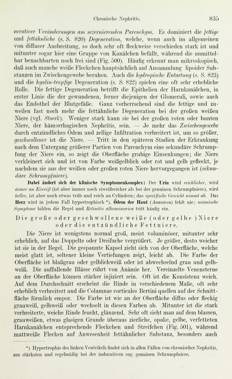 nerativer Veränderungen am sezernierenden PareneJujm. Es doiiiiniei't die fettige und fettähnliche (s. S. 820) Degeneration, welche, wenn auch im alJgeineincn von diffuser Ausbreitung, so docli selir oft fleclvweise verschieden starlv ist und mitunter sogar hier eine Gruppe von Kanäichen befällt, wälirend die unmittel- bar benachbarten noch fi-ei sind (Fig. 500). Häufig erkennt man mikroskopisch, daß auch manche weiße Fleckchen liauptsächlich auf Ansammlung lipoider Sub- stanzen im Zwischengewebe beruhen. Audi die luidropiselic Entartung (s. S. 823) und die hijalin-tropfige Degeneration (s. S. 822) spielen eine oft sehr erhebliche EoUe. Die fettige Degeneration betrifft die Epithelicn der Harnkanälchen, in erster Linie die der gewundenen, ferner diejenigen der Glomeruli, sowie auch das Endothel der Blutgefäße. Ganz vorherrschend sind die fettige und zu- weilen fast noch mehr die fettähnliche Degeneration bei der großen weißen Niere (vgl. Stoerk). Weniger stark kann sie bei der großen roten oder bunten Niere, der hämorrhagischen Nephritis, sein. — Je melir das Zwischengetvehe durch entzündliches Ödem und zellige Infiltration verbreitert ist, um so größer, geschwollener ist die Niere. — Tritt in den späteren Stadien der Erla'anlmng nach dem Untergang größerer Partien von Parenchyni eine sekundäre Schrump- fung der Niere ein, so zeigt die Oberfläche grubige Einsenkungen; die Niere verldeinert sich und ist von Farbe weißgelblich oder rot und gelb gefleckt, je nachdem sie aus der weißen oder großen roten Niere hervorgegangen ist {sekun- däre Schrumpfniere). Dabei ändert sieh der kliniselie Syinptomeiikomplex: Der Urin wird reichlidier, wird ärmer an Eiiceiß (ist aber immer iiocli eiweißreicher als bei der genuinen Schrumpfniere), wird heller, ist aber nocli etwas trüb und reich an Cyhndern; das spesifisdie OeuiclU nimmt ab. Das Herz wird in jedem Fall hypertrophisch *), Ödem der Haut {Anasarccij fehlt nie; urämische Symptome bilden die Regel und Retinitis albuminurica tritt häufig ein. Die große oder geschwollene weiße (oder gelbe )Niere 0 d e r d i e e n t z ü n d 1 i c h e F e 11 n i e r e. Die Niere ist wenigstens normal groß, meist voluminöser, mitunter sehr erhebhch, auf das Doppelte oder Dreifache vergrößert. Je größer, desto weicher ist sie in der Regel. Die gespannte Kapsel zieht sich von der Oberfläche, welche meist glatt ist, seltener kleine Vertiefungen zeigt, leicht ab. Die Farbe der Oberfläche ist blaßgrau oder gelblichweiß oder ist abwechselnd grau und gelb- weiß. Die auffallende Blässe rührt von Anämie her. Vereinzelte Venensterne an der Oberfläche können stärker injiziert sein. Oft ist die Konsistenz weich. Auf dem Durchschnitt erscheint die Rinde in verschiedenem Maße, oft sehr erheblich verbreitert und die Columnae corticales Bertini quellen auf der Schnitt- fläche förmlich empor. Die Farbe ist wie an der Oberfläche diffus oder fleckig grauweiß, gelbweiß oder wechselt in diesen Farben ab. Mitunter ist die stark verbreiterte, weiche Rinde feucht, glänzend. Sehr oft sieht man auf dem blassen, grauweißen, etw^as glasigen Grunde überaus zierliche, opake, gelbe, verfetteten Harnkanälchen entsprechende Fleckchen und Streifchen (Fig. 501), während mattweiße Flecken auf Anwesenheit fettähnlicher Substanz, besonders auch *) H)Toertrophie des linken Ventrikels findet sich in allen Fällen von chronischer Nephritis, am stärksten und regelmäßig bei der indurativen sog. genuinen Schrumpfniere.