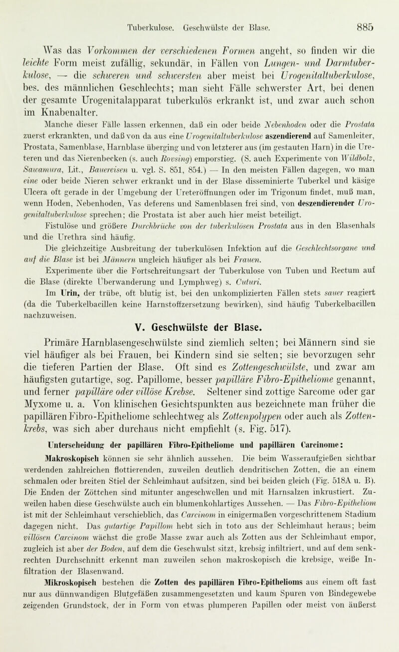 Was das Vorlvinmen der verschiedenen Formen aiigelit, so finden wir die leichte Form meist zufällig, sekundär, in Fällen von Lungen- und Ücmntuber- kulose, — die schweren und schwersten aber meist bei Urogenitaltuherhilose, bes. des männlichen Geschlechts; man sieht Fälle schwerster Art, bei denen der gesamte Urogenitalapparat tuberkulös erkrankt ist, und zwar auch schon im Knabenalter. blanche dieser Fälle lassen erkennen, daß ein oder beide Nebenhoden oder die Prostata zuerst ericrankten, und dalS von da aus eine ['i-ogenitaltuberkiilose aszeiidierend auf Samenleiter, Prostata, Sanuniblase, Harnblase überging und von letzterer aus (im gestauten Harn) in die Ure- teren und das Nierenbecken (s. auch Rovsing) emporstieg. (S. auch Experimente von Wildliolz, Sawamura, Lit., Bauereisen u. vgl. S. 861, 854.) — In den meisten Fällen dagegen, wo man eine oder beide Nieren schwer erkrankt und in der Blase disseminierte Tuberkel und käsige Ulcera oft gerade in der Umgebung der Ureteröffnungen oder im Trigonum findet, muß man, wenn Hoden, Nebenhoden, Vas deferens und Samenblasen frei sind, von (Icszeiidicreiider Uro- genitaltnberkulose sprechen; die Prostata ist aber auch hier meist beteüigt. Fistulöse und größere Durchbriiche von der tuberkulösen Prostata aus in den Blasenhals und die Urethra sind häufig. Die gleichzeitige Ausbreitung der tuberkulösen Infektion auf die (lesclüechtsorgane und auf die Blase ist bei ]\Iännern ungleich liäufiger als bei Frauen. Exiierimente über che Fortschreitungsart der Tuberkulose von Tuljen und Rectum auf che Blase (dii-ekte i'berwanderung und L3anphweg) s. Cuturi. Im Urüi, der trübe, oft blutig ist, bei den unkomphzierten Fällen stets sauer reagiert (da die Tuberkelbacillen keine Harnstoftzersetzung bewirken), sind häufig TuberkelbaciUen nachzuweisen. V. Geschwülste der Blase. Primäre Harnblascngeschwülste sind ziemlich selten; bei Männern sind sie viel häufiger als bei Frauen, bei Kindern sind sie selten; sie bevorzugen sehr die tieferen Partien der Blase. Oft sind es Zottengeschivülste, und zwar am häufigsten gutartige, sog. Papillome, besser papilläre Fibro-EpitheUome genannt, und ferner papilläre oder villöse Krebse. Seltener sind zottige Sarcome oder gar Myxome u. a. Von klinischen Gesichtspunkten aus bezeichnete man früher die papillären Fibro-Epitheliome schlechtweg als Zottenpolijpen oder auch als Zotten- kreis, was sich aber durchaus nicht empfiehlt (s. Fig. 517). Unterseheidiuig der papillären Fibro-Epitlieliuine und papillären Carcinome: Makroskopisch können sie sehr ähnlicli aussehen. Die beim Wasseraufgießen sichtbar werdenden zahlreichen flottierenden, zuweilen deutlich dendritischen Zotten, die an einem schmalen oder breiten Stiel der Schleimhaut aufsitzen, sind bei beiden gleich (Fig. 518A u. B). Die Enden der Zöttchen sind mitunter angeschwollen und mit Harnsalzen inkrustiert. Zu- weilen haben diese Geschwülste auch ein blumenkohlartiges Aussehen. — Das Fibro-Epitheliom ist mit der Schleimhaut verschiebhch, das Carcimmi in einigermaßen vorgeschrittenem Stadium dagegen nicht. Das (jutartige Payülom hebt sich in toto aus der Schleimhaut heraus; beim villösen Carcinom wächst die große Masse zwar auch als Zotten aus der Schleimhaut empor, zugleich ist aber der Boden, auf dem die Geschwulst sitzt, krebsig infiltriert, und auf dem senk- rechten Durchschnitt erkennt man zuweilen schon makroskopisch die krebsige, weiße In- filtration der Blasenwand. Mikroskopisch bestehen die Zotten des papillären Fibro-Epithelioms aus einem oft fast nur aus dünnwandigen Blutgefäßen zusammengesetzten und kaum Spuren von Bindegewebe zeigenden Grundstock, der in Form von etwas plumperen Papillen oder meist von äußerst