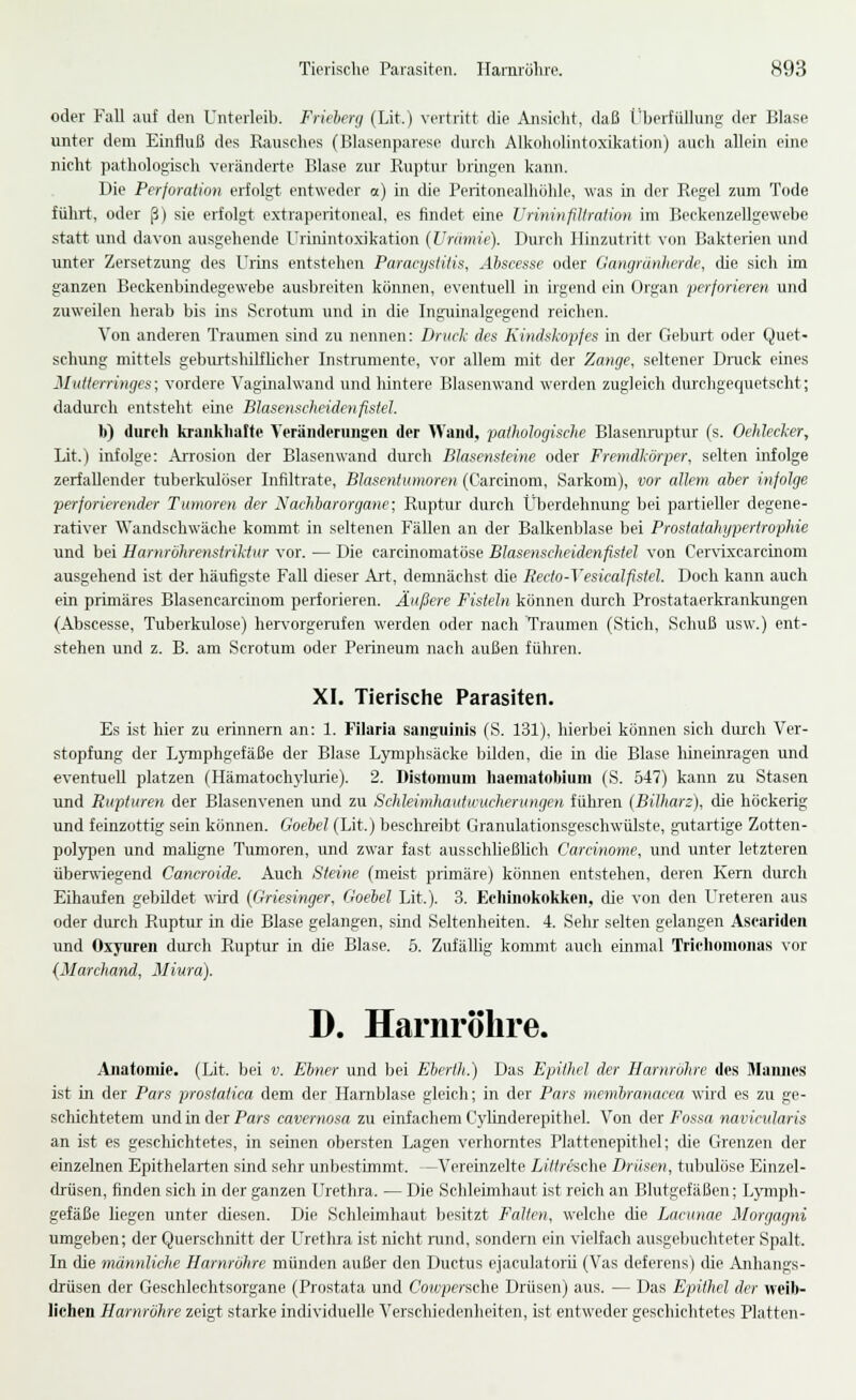 oder Fall auf den Unterleib. Friehenj (Lit.) vertritt die Ansieht, daß LberfüUung der Blase unter dem Einfluß des Rausches (Blasenparese d\irch Alkoholintoxikation) auch allein eine nicht pathologisch veränderte Blase zur Ruptur bringen kann. Die Perforation erfolgt entweder a) in die Peritonealhöhle, was rn der Regel zum Tode iührt, oder ß) sie erfolgt extraperitoneal, es findet eine Vrininpltrnüon im Beckenzellgewebe statt und davon ausgehende Urinintoxikation {Urämie). Durch Hinzutritt von Bakterien und unter Zersetzung des Urins entstehen Paracysiitis, Ahscesse oder Gangränherde, die sich im ganzen Beckenbindegewebe ausbreiten können, eventuell in irgend ein Organ perforieren und zuweilen herab bis ins Scrotum und in die Inguinalgegend reichen. Von anderen Traumen sind zu nennen: Druck des Kindskopfes in der Geburt oder Quet- schung mittels geburtshilflicher Instrumente, vor allem mit der Zange, seltener Druck eines Mutterringes; vordere Vaginalwand und hintere Blasenwand werden zugleich durchgequetscht; dadurch entsteht eine Blasenscheidenfisiel. I») durch krankliatte Veränderungen der Wand, pathologische Blasenniptur (s. Oehlecker, Lit.) infolge: Arrosion der Blasenwand durch Blasensteine oder Fremdl;örper, selten infolge zerfallender tuberkulöser Infiltrate, Blasentumoren (Carcinom, Sarkom), vor allem aher infolge perforierender Tumoren der Nachiarorgane; Ruptur durch Überdehnung bei partieller degene- rativer Wandschwäche kommt in seltenen Fällen an der Balkenblase bei Prostatahypertrophie und bei Harnröhrenstriktur vor. — Die carcinomatöse Blasenscheidenfisiel von Cervixcarcinom ausgehend ist der häufigste Fall dieser Art, demnächst die Becto-Vesicalfistel. Doch kann auch ein primäres Blasencarcinom perforieren. Äußere Fisteln können durch Prostataerkrankungen (Abscesse, Tuberkulose) hervorgenifen werden oder nach Traumen (Stich, Schuß usw.) ent- stehen und z. B. am Scrotum oder Perineum nach außen führen. XI. Tierische Parasiten. Es ist hier zu erinnern an: 1. Filaria sanguinis (S. 131), hierbei können sich durch Ver- stopfung der Lymphgefäße der Blase Lymphsäcke bilden, die in die Blase lüneinragen und eventuell platzen (Hämatoch3'lurie). 2. Distomiim haematobium (S. 547) kann zu Stasen und Rupturen der Blasenvenen und zu Schleimhautuucherungen führen (Bilhars), die höckerig rrnd feinzottig sein können. Goehel (Lit.) besclireibt Granulationsgeschwülste, gutartige Zotten- polypen und mahgne Tumoren, und zwar fast ausschließhch Carcinome, und unter letzteren überwiegend Cancroide. Auch Steine (meist primäre) können entstehen, deren Kern dirrch Eihaivfen gebildet wird {Griesinger, Goehel Lit.). 3. Echinokokken, die von den Ureteren aus oder durch Ruptur in die Blase gelangen, sind Seltenheiten. 4. Sehr selten gelangen Asearideii und Oxyuren durch Ruptur in die Blase. 5. Zufällig kommt auch einmal Trichomonas vor {Marchand, Miura). D. Harnröhre. Anatomie. (Lit. bei v. Ebner und bei Eherth.) Das Epithel der Harnröhre des Mamies ist in der Pars prostalica dem der Harnblase gleich; in der Pars membranacea wud es zu ge- schichtetem und in der Pars cavernosa zu einfachem Cyhnderepithel. Von der Fossa navicularis an ist es geschichtetes, in seinen obersten Lagen verhorntes Plattenepithel; die Grenzen der einzelnen Epithelarten sind sehr unbestimmt. -Vereinzelte LHtrhche Drüsen, tubulöse Einzel- drüsen, finden sicli in der ganzen LIrethra. — Die Schleimhaut ist reich an Blutgefäßen; LjTiiph- gefäße Hegen unter (üesen. Die Schleimhaut besitzt Falten, welche die Lacunae Morgagni umgeben; der Querschnitt der Uretlira ist nicht rund, sondern ein vielfach ausgebuchteter Spalt. In die männliche Harnröhre münden außer den Ductus ejaculatorii (Vas deferens) die Anhangs- drüsen der Geschlechtsorgane (Prostata und Cowperache Drüsen) aus. — Das Epithel der weib- lichen Harnröhre zeigt starke individuelle Verschiedenheiten, ist entweder geschichtetes Platten-