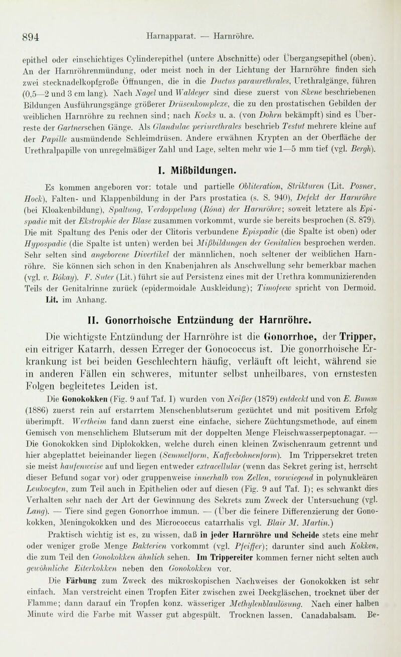 epithel oder einsdiichtiges Cylinderepitliel (untere Abschnitte) oder Übergangsepithel (oben). An der Harnröhrenmündung, oder meist noch in der Lichtung der Harnröhre finden sich zwei stecknadelkopfgroße Öffnungen, die in die Ductus paraurethrales. Uretlu'algänge, führen (0,5—2 und 3 cm lang). Nach Nagel und Waldeyer sind diese zuerst von Skene beschriebenen Bildungen Ausführungsgänge größerer Drüsenlcomplexe, die zu den prostatischen Gebilden der weibhchen Harnröhre zu rechnen sind; nach Kocks u. a. (von Dohrn bekämpft) sind es Über- reste der Garfeecschen Gänge. Als Glandulae periurethrales beschrieb Testut mehrere kleine auf der Papille ausmündende Schleinrdrüsen. Andere erwähnen löypten an der Oberfläche der Urethralpapille von unregelmäßiger Zahl und Lage, selten mehr wie 1—b mm tief (vgl. Bergh). I. Mißbildungen. Es kommen angeboren vor: totale und partielle Ohliteration, SiriJduren (Lit. Posner. Hock), Falten- und Klappenbüdung in der Pars prostatica (s. S. 940), Defekt der Harnröhre (bei lüoakenbildung), Spaltung, Verdoppelung (ßöna) der Harnröhre; soweit letztere als £pi- spadie mit der Ekstrophie der Blase zusammen vorkommt, wurde sie bereits besprochen (S. 879). Die mit Spaltung des Peius oder der Chtoris verbundene Epispadie (die Spalte ist oben) oder Hypospadie (die Spalte ist unten) werden bei MißUldungen der Genitalien besprochen werden. Sehr selten sind angeborene Divertikel der männlichen, noch seltener der weiblichen Harn- röhre. Sie können sich schon in den Knabenjahren als Anschwellung sehr bemerkbar machen (vgL V. Bökay). F. Suter (Lit.) führt sie auf Persistenz eines mit der LTrethra kommunizierenden Teils der Genitalrinne zurück (epidermoidale Auskleidung); Timofeew spricht von Dermoid. Lit. im Anhang. II. Gonorrhoisciie Entzündung der Harnröhre. Die wichtigste Entzündung der Harnröhre ist die Gonorrhoe, der Tripper, ein eitriger Katarrh, dessen Erreger der Gonococcus ist. Die gonorrhoische Er- kranlvung ist bei beiden Geschlechtern häufig, verläuft oft leicht, während sie in anderen Fällen ein schweres, mitunter selbst unheilbares, von ernstesten Folgen begleitetes Leiden ist. Die Gonokokken (Fig. 9 auf Taf. I) wurden von Neißer (1879) entdeckt uird von E. Bumm (1886) zuerst rein auf erstarrtem Menschenblutserum gezüchtet und mit positivem Erfolg überimpft. Wertheim fand dann zuerst eine einfache, sichere Züchtungsmethode, auf einem Gemisch von menschlichem Blutsenim mit der doppelten Menge Fleischwasserpeptonagar. — Die Gonokokken sind Diplokokken, welche dm'ch einen kleinen Zwischem'aum getrennt und hier abgeplattet beieinander hegen (Semmelform, Kaffeehohnenform). Im Trippersekr'et treten sie meist haufeniveise auf und hegen entweder exiracellulär (wenn das Sekret gering ist, heiTscht dieser Befund sogar vor) oder gi-uppenweise innerhalh von Zellen, vonciegend in poljTiukleären Leukocyten, zum Teil auch in Epithelien oder auf diesen (Fig. 9 auf Taf. I); es schwankt dies Verhalten sehr nach der Art der Gewinnung des Sekrets zum Zweck der L'ntersuchung (vgl. Lang). — Tiere sind gegen Gonorrhoe immun. — (Über die feinere Differenzierung der Gono- kokken, Meningokokken und des Micrococcus catarrhahs vgl. Blair M. Martin.) Praktisch wichtig ist es, zu wissen, daß in jeder Harnröhre und Scheide stets eine mehr oder weniger große Menge Bakterien vorkommt (vgl. Pfeiffer); darunter sind auch Kokken, die zum Ted den Gonokokken ähnlich sehen. Im Trippereiter kommen ferner nicht selten auch gewöhnliche Eiterkokken neben deir Gonokokken vor. Die Färbung zum Zweck des mikroskopischen Nachweises der Gonokokken ist sehr einfach. Man verstreicht einen Tropfen Eiter zwischen zwei Deckgläschen, trocknet über der Flamme; dann darauf ein Tropfen konz. wässeriger Methylenhlaulbsimg. Nach einer halben Minute wird die Farbe mit Wasser gut abgespült. Trocknen lassen. Canadabalsam. Be-