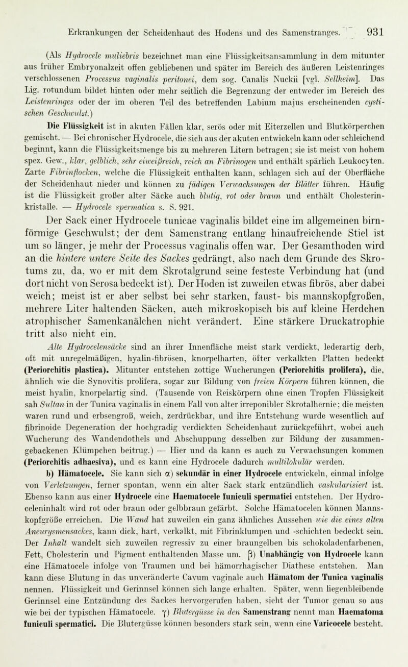 (Als Hydrocele muliebris bezeichnet man eine Flüssigkeitsansammlung in dem mitunter aus früher Embryonalzeit offen gebhebenen und später im Bereich des äußeren Leistenringes verschlossenen Processus vaginalis peritonei, dem sog. Canalis Nuckii [vgl. Selllieim]. Das Lig. rotundum bildet hinten oder mehr seithch die Begrenzung der entweder im Bereich des Leistenringes oder der im oberen Teil des betreffenden Labium majus erscheinenden cysli- schen Geschwiiht.) Die Fllissig:keit ist in akuten Fällen Mar, serös oder mit Eiterzellen und Blutkörperchen gemischt. — Bei chronischer Hydrocele, die sicli aus der akuten entwickeln kann oder schleichend beginnt, kann (üe Flüssigkeitsmenge bis zu melireren Litern betragen; sie ist meist von hohem spez. Gew., Mar, gelblich, sehr eiweißreich, reich an Fibrinogen und enthält spärlich Leukocyten. Zarte Fibrinflocken, welche die Flüssigkeit enthalten kann, schlagen sich auf der Oberfläche der Scheidenhaut nieder und können zu Jädigen Verwachsungen der Bläller führen. Häufig ist die Flüssigkeit großer alter Säcke auch blutig, rot oder braun und enthält Cholesterin- kristalle. — Hijdrocele spermatica s. S. 921. Der Sack einer Hydrocele tunicae vaginalis bildet eine im allgemeinen birn- förmige Geschwulst; der dem Samenstrang entlang hinaufreichende Stiel ist mii so länger, je mehr der Processus vaginalis offen war. Der Gesamthoden wird an die hintere untere Seite des Sackes gedrängt, also nach dem Grunde des Sliro- tums zu, da, wo er mit dem Slvrotalgrund seine festeste Verbindung hat (und dort nicht von Serosa bedeckt ist). Der Hoden ist zuweilen etwas fibrös, aber dabei weich; meist ist er aber selbst bei sehr starken, faust- bis mannskopfgroßen, mehrere Liter haltenden Säcken, auch mikroskopisch bis auf kleine Herdchen atrophischer Samenkanälchen nicht verändert. Eine stärkere Druckatrophie tritt also nicht ein. Alte Hydrocelensäcke sind an ihrer Linenfläclie meist stark verdickt, lederartig derb, oft mit unregelmäßigen, hyalin-fibrösen, knoi-pelharten, öfter verkalkten Platten bedeckt (Periorfhltis plastica). Mitunter entstehen zottige Wucherungen (Periorchitis prolilera), die, ähnhch wie die Synovitis prohfera, sogar zur Bildung von freien Körpern füliren können, die meist hyahn, knorpelartig sind. (Tausende von Reiskörpern ohne einen Tropfen Flüssigkeit sah Sultan in der Tunica vaginaUs in einem Fall von alter irreponibler Slüotalhernie; die meisten waren rund und erbsengroß, weich, zerdrückbar, und ihre Entstehung wurde wesentUch auf fibrinoide Degeneration der hochgradig verdickten Scheidenhaut zurückgeführt, wobei auch Wucherung des Wandendothels und Abschuppung desselben zur Bildung der zusammen- gebackenen Klümpclien beitnig.) — Hier und da kann es aucli zu Verwachsungen kommen (Periorchitis adhaesivaj, und es kann eine Hydrocele dadurcli muUiloliular werden. b) Hämatocele. Sie kann sich a) sekundär in einer Hydrocele entwickeln, einmal infolge von Verletcungen, ferner spontan, wenn ein alter Sack stark entzündhch vaskularisiert ist. Ebenso kann aus einer Hydrocele eine Haeniatocele Iiiniculi spernnitici entstehen. Der Hycüo- celeninhalt wird rot oder braun oder gelbbraun gefärbt. Solclie Hämatocelen können Manns- kopfgröße erreichen. Die Wand hat zuweilen ein ganz ähnhches Aussehen irie die eines alten Aneurysmensackes, kann dick, hart, verkalkt, mit Fibrinklumpen und -schichten bedeckt sein. Der Inhalt wandelt sich zuweilen regressiv zu einer braungelben bis schokoladenfarbenen, Fett, Cholesterin und Pigment entluiltenden Masse um. ß) Unabliängig von Hydrocele kann eine Hämatocele infolge von Traumen und bei hämorrhagischer Diathese entstehen. Man kann diese Blutung in das unveränderte Ca\'nm vaginale auch Hämatom der Tunica vaginalis nennen. Flüssigkeit und Gerinnsel können sich lange erhalten. Später, wenn liegenbleibende Gerinnsel eine Entzündung des Sackes hervorgerufen haben, sieht der Tumor genau so aus wie bei der typischen Hämatocele. [■) Blutergüsse in den Samenstrang nennt man Haematoma funiculi spermatiei. Die Blutergüsse können besonders stark sein, wenn eine Varicoccle besteht.