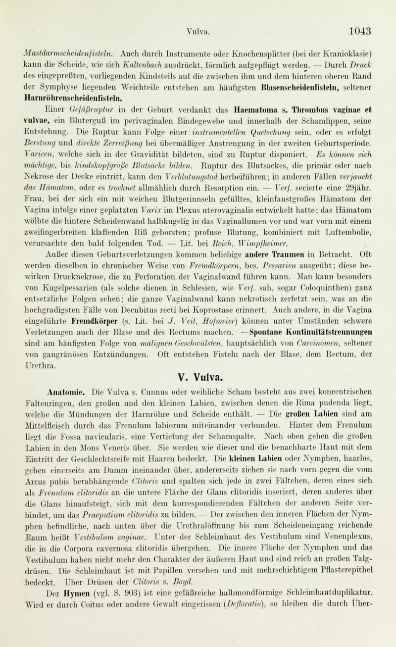 Mastdarmscheidenjistein. Auch durch Instrumente oder lüioehensplitter (bei der Kraiiioklasiej kann die Scheide, wie sich Kaltenbach auschückt, förmlich aufgepflügt werden. — Durch Druck des eingepreßten, vorliegenden Kiiidsteils auf die zwischen ilun und dem hinteien oberen Rand der Symphyse liegenden Weiclitcilo entstehen am häufigsten Bliisciischcidcnlistehi, seltener Harnrölirenst'lieidenfisteln. Einer (lefäßruptur in der tfeburt verdankt das Hacmatoma s. Thrdinbiis vagiiiae et vulvae, ein Bluterguß im perivaginalen Bindegewebe und innerhalb der Schamlippen, seine Entstehung. Die Ruptur kann Folge einer instriimenteilen Quetschimg sein, oder es erfolgt Berstung und direkte Zerreißung bei übermäßiger Anstrengung in der zweiten Geburtsperiode. Varicen, welche sich in der Gravidität bildeten, sind zu Ruptur disponiert. Es können sich mächtige, bis kindskopfgroße Blutsiieke hilden. Ruptur des Blutsackes, die primär oder nach jMekrose der Decke eintritt, kann den Verblutungstod herbeiführen; in anderen Fällen verjaucht das Hämatom, oder es trocknet allmählich durch Resorption ein. — Verf. secierte eine 29jähr. Frau, bei der sich ein mit weichen Blutgerinnseln gefülltes, kleinfaustgroßes Hämatom der Vagina infolge einer geplatzten T«)-i.rim Plexus uterovaginalis entwickelt hatte; das Hämatom wölbte die hintere Scheidenwand halbkugeUg in das Vaginallumen vor und war vorn mit einem zweifingerbreiten klaffenden Riß geborsten; profuse Blutung, kombiniert mit Luftembolie, verursachte den bald folgenden Tod. — Lit. bei Reich, Wimpfheimer. Außer diesen Geburtsverletzungen kommen behebige andere Traumen in Betracht. Oft werden dieselben in chronischer Weise von Fremdkörpern, bes. Pessarien ausgeübt; cüese be- wirken Drucknelaose, die zu Perforation der Vaginalwand führen kann. Man kann besonders von Kugelpessarien (als solche dienen in Schlesien, wie Verf. sah, sogar Coloquinthen) ganz entsetzhche Folgen sehen; die ganze Vaginalwand kann nekrotisch zeiietzt sein, was an die hochgradigsten Fälle von Decubitus recti bei Koprostase erinnert. Auch andere, in die Vagina eingeführte Fremdkörper (s. Lit. bei J. Veit, Hofmeier) köimen unter Umständen schwere Verletzungen aucli der Blase und des Rectums machen. —Spontane Kontinuitätstremiungeu sind am häufigsten Folge von malignen Geschwulsten, hauptsächlich von Carcinomen, seltener von gangränösen Entzündungen. Oft entstehen Fisteln nach der Blase, dem Rectum, der Urethra. V. Vulva. Anatomie. Die Vulva s. Cunnus oder weibliche Scham besteht aus zwei koncentrischen Faltenringen, den großen und den kleinen Labien, zwischen denen die Rima pudenda liegt, welche die Mündungen der Harnröhre und Scheide enthält. — Die großen Labien sind am Mittelflcisch diuch das Frenulum labioruni miteinander verbunden. Huiter dem Frenulum liegt die Fossa navicularis, eine Vertiefung der Schamspalte. Nach oben gehen die großen Labien in den Mons Veneris über. Sie werden wie dieser und die Ijenachbarte Haut mit dem Eintritt der Geschlechtsreife mit Haaren bedeckt. Die kleinen Labien oder Nymphen, haarlos, gehen einerseits am Damm ineinander über, andererseits ziehen sie nach vorn gegerr die vom Arcus pubis herabhängende Clitoris und spalten sich jede in zwei Fältehen, deren emes sich als Frenulum clitoridis an die untere Fläche der Glans clitoridis inseriert, deren anderes über die Glans hinaufsteigt, sich mit dem korrespondierenden Fältchen der anderen Seite ver- bindet, um das Praeputium clitoridis zu bilden. — Der zwischen den inneren Flächen der Nym- phen befindliche, nach unten über die Urethralöffnung bis zum Scheidenemgang reichende Raum heißt Vestihulum vaginae. Unter der Schleimhaut des Vestibulum sind Venenplexus, die in die Corpora cavemosa clitoridis übergehen. Die innere Fläche der Nymphen und das Vestibulum haben nicht mehr den Charakter der äußeren Haut und sind reich an großen Talg- drüsen. Die Schleimhaut ist mit Papillen versehen und mit mehrschichtigem Pflasterepithel bedeckt. Über Drüsen der Clitoris s. Boyd. Der Hyinen (vgl. S. 903) ist eine gefäßreiche halbmondförmige Schleimhautduplikatur. Wird er durch Coitus oder andere Gewalt eingerissen (Defloratio), so Ideiben die durch Über-