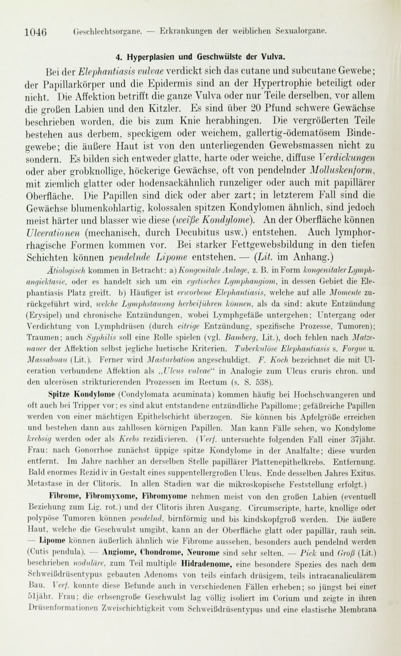 4. Hyperplasien und Geschwülste der Vulva. Bei der Elephantiasis vulvae verdickt sich das cutane und subcutane Gewebe; der Papillarkörper und die Epidermis sind an der Hypertrophie beteiligt oder nicht. Die Affektion betrifft die ganze Vulva oder nur Teile derselben, vor allem die großen Labien und den Kitzler. Es sind über 20 Pfund schwere Gewächse beschrieben worden, die bis zum Knie herabhingen. Die vergrößerten Teile bestehen aus derbem, speckigem oder weichem, gallertig-ödematösem Binde- gewebe; die äußere Haut ist von den unterliegenden Gewebsmassen nicht zu sondern. Es bilden sich entweder glatte, harte oder weiche, diffuse Verdichmgen oder aber grobknollige, höckerige Gewächse, oft von pendelnder MoUuskenform, mit ziemlich glatter oder hodensackähnlich runzeliger oder auch mit papillärer Oberfläche. Die Papillen sind dick oder aber zart; in letzterem Fall sind die Gewächse blumenkohlartig, kolossalen spitzen Kondylomen ähnlich, sind jedoch meist härter und blasser wie diese {wei'ße Kondtßome). An der Oberfläche können Ulcerationen (mechanisch, durch Decubitus usw.) entstehen. Auch Ijmiphor- rhagische Formen kommen vor. Bei starker Fettgewebsbildung in den tiefen Schichten können pe^idelnde Lipome entstehen. — (Lit. im Anhang.) Ätiologisch kommen in Betracht: a) Kongenitale Anlage, z. B. inForm kongenitaler Lymiph- angieltasie, oder es handelt sich nm ein cystisches Lymphangiom, in dessen Gebiet die Ele- phantiasis Platz greift, b) Häufiger ist envorbene Elephantiasis, welche auf alle Momente zu- rückgeführt wird, welche Lymphstauung herleifiihren können, als da sind: akute Entzündung (Erysipel) und chronische Entzündungen, wobei Lymphgefäße untergehen; Untergang oder Verdichtung von Lymphdrüsen (durch citrige Entzündung, spezifische Prozesse, Tumoren); Traumen; auch Syphilis soll eine Piolle spielen (vgl. Bamberg, Lit.), doch fehlen nach Matze- nauer der Affektion selbst jegliche luetische Ivriterien. Tuberkulöse Elephantiasis s. Forgxie u. Massabuau (Lit.). Ferner wird Masturbation angeschuldigt. F. Koch bezeichnet die mit Ul- ceration verbundene Affektion als „Ulcus vulvae'' in Analogie zum Ulcus cruris chron. und den ulcerösen strikturierenden Prozessen im Rectum (s. S, 538). Spitze Koiiilylonie (Condylomata acuminata) kommen häufig bei Hochschwangeren und oft auch bei Tripper vor; es smd akut entstandene entzündliche Papillome; gefäßreiche Papillen werden von einer mächtigen Epithelschicht überzogen. Sie können bis Apfelgröße erreichen und Ijestehen dann aus zahllosen körnigen Papillen. Man kann Fälle sehen, wo Kondylome krebsig werden oder als Krebs rezidi^-ieren. (Verf. untersuchte folgenden Fall einer 37jähr. Frau: nach Gonorrhoe zunächst üppige spitze Kondylome in der Analfalte; diese \\Tuden entfernt. Im Jahre nachher an derselben Stelle papillärer Plattenepithelkreljs. Entfemung. Bald enormes Rezidiv in Gestalt eines suppentellergroßen Ulcus. Ende desselben Jahres Exitus. Metastase in der Clitoris. In allen Stadien war die mikroskopische Feststellung erfolgt.) Fibrome, Fibromj-sonie. Fibromyome nehmen meist von den großen Labien (eventuell Beziehung zum Lig. rot.) und der Clitoris ihren Ausgang. Circumscripte, harte, knollige oder polypöse Tumoren können pendelnd, birnfönnig und bis kindskopfgroß werden. Die äußere Haut, welche die Geschwulst umgibt, kann an der Oberfläche glatt oder papillär, rauh sein. — Lipome können äußerlich ähnlich wie Fibrome aussehen, besonders auch pendelnd werden (Cutis pendula). — Angionie, Chondrome. Neuronu' sind sehr selten. — Pick und Groß (Lit.) beschrieben nodulare, zum Teil multipli' Hidradciiome, eine besondere Spezies des nach dem Schweißdrüsentypus gebauten Adenoms von teils einfach drüsigem, teils intracanaliculärem Bau. Verf. konnte diese Befunde auch in verschiedenen Fällen erheben; so jüngst bei einer öljähr. Frau; die erbsengi'oße Geschwulst lag völlig isoliert im Corium und zeigte in ihren Drüsenformationen Zweischiclitigkeit vom Schweißdrüsent^-jius und eine elastische Membrana