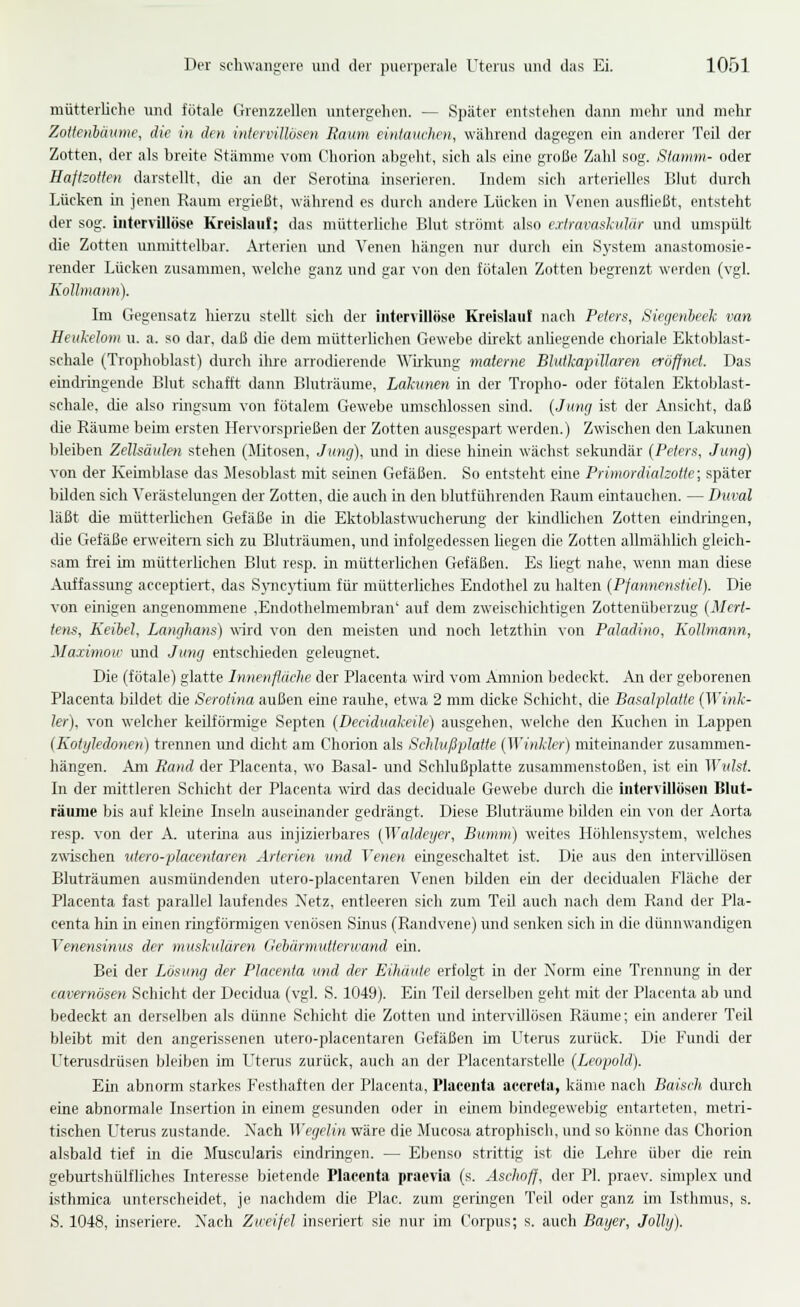 mütterliche und fötale Grenzzellen untergehen. — Später entstehen dann mehr und mehr ZottenMume, die in den intervillösen Raum eintauchen, während dagegen ein anderer Teil der Zotten, der als breite Stämme vom Chorion abgeht, sich als eine große Zahl sog. ßiamm- oder Haftzotten darstellt, die an der Serotina inserieren. Indem sich arterielles Blut durch Lücken m jenen Raum ergießt, während es durch andere Lücken in Venen ausfließt, entsteht der sog. iiiti'rvillöse Kreislaut: das mütterliche Blut strömt also extravaskulär und umspült die Zotten luimittelbar. Arterien imd Venen hängen nur durch ein System anastomosie- render Lücken zusammen, welche ganz und gar von den fötalen Zotten begrenzt werden (vgl. Konmann). Im Gegensatz Merzu stellt sich der inter^illöse Kreislauf nach Peters, Siegenheek van Heukelom u. a. so dar, daß die dem mütterlichen Gewebe direkt anliegende choriale Ektoblast- schale (Trophoblast) durch ihre arrodierende Wirkung materne Blutkapillaren eröffnet. Das einchingende Blut schafft dann Bluträume, Lahmen in der Tropho- oder fötalen Ektoblast- schale, die also ringsum von fötalem Gewebe umschlossen sind. (Jnng ist der Ansicht, daß die Räume beim ersten Hervorsprießen der Zotten ausgespart werden.) Zwischen den Lakunen bleiben Zellsäulen stehen (Mitosen, Jung), und in diese hinein wächst sekundär {Peters, Jung) von der Keimblase das Mesoblast mit seinen Gefäßen. So entsteht eine Primordialzotte; später büden sich A^erästelungen der Zotten, die auch in den blutführenden Raum eintauchen. — Duval läßt die mütterhchen Gefäße in die Ektoblastwucherung der kindlichen Zotten eindringen, cUe Gefäße erweitern sich zu Bluträumen, und infolgedessen hegen die Zotten allmählich gleich- sam frei im mütterlichen Blut resp. in mütterlichen Gefäßen. Es liegt nahe, wenn man diese Auffassung acceptiei-t, das Syncjiium für mütterliches Endothel zu halten {Pfannenstiel). Die von einigen angenommene ,Endothelmembran' auf dem zweischichtigen Zottenüberzug {Mert- tens, Keibel, Langhans) wird von den meisten und noch letzthin von Paladino, Kollmann, Maximow und Jung entschieden geleugnet. Die (fötale) glatte Innenflache der Placenta wkd vom Amnion bedeckt. An der geborenen Placenta bildet die Serotina außen eine rauhe, etwa 2 mm dicke Schicht, die Basalplatte {Wink- ler), von welcher keilförmige Septen {Deciduakeile) ausgehen, welche den Kuchen in Lappen {Kotyledonen) trennen luid dicht am Chorion als Sclüußplatte {Winkler) miteinander zusammen- hängen. Am Band der Placenta, wo Basal- und Schlußplatte zusammenstoßen, ist ein Wtdst. In der mittleren Schicht der Placenta wü'd das deciduale Gewebe durch die intervillösen Blut- räume bis auf kleine Inseln auseinander gedrängt. Diese Bluträume bilden ein von der Aorta resp. von der A. uterina aus injizierbares {Waldeyer, Bumm) weites Höhlensystem, welches zwischen utero-placentaren Arterien und Venen eingeschaltet ist. Die aus den intervillösen Bluträumen ausmündenden utero-placentaren Venen bilden eui der decidualen Fläche der Placenta fast parallel laufendes A'etz, entleeren sich zum Teil auch nach dem Rand der Pla- centa hin in einen ringförmigen venösen Sinus (Randvene) und senken sich in die dünnwandigen Venensinus der muskulären Gehärmutterwand ein. Bei der Lösung der Placenta und der Eihäute erfolgt in der Norm eine Trennung in der cavernösen Schicht der Decidua (vgl. S. 1049). Ein Teil derselben geht mit der Placenta ab und bedeckt an derselben als dünne Schicht die Zotten und intervillösen Räume; ein anderer Teil bleibt mit den angerissenen utero-placentaren Gefäßen im LIterus zurück. Die Fundi der L^terusdrüsen bleiben im Uterus zurück, auch an der Placentarstelle {Leopold). Ein abnorm starkes Festhaften der Placenta, Placenta accreta, käme nach Baisch dm'ch eine abnormale Insertion in einem gesunden oder in einem bindegeweljig entarteten, metri- tischen L^tenis zustande. Nach Wegelin wäre die Mucosa atrophisch, und so könne das Chorion alsbald tief in die Muscularis eindringen. — Ebenso strittig ist die Lehre über die rein geburtshülfliches Interesse bietende Placenta praevia (s. Asehoff, der PL praev. simplex und isthmica unterscheidet, je nachdem die Plac. zum geringen Teil oder ganz im Isthmus, s. S. 1048, inseriere. Nach Zweifel inseriert sie nur im Corpus; s. auch Bayer, Jolhj).