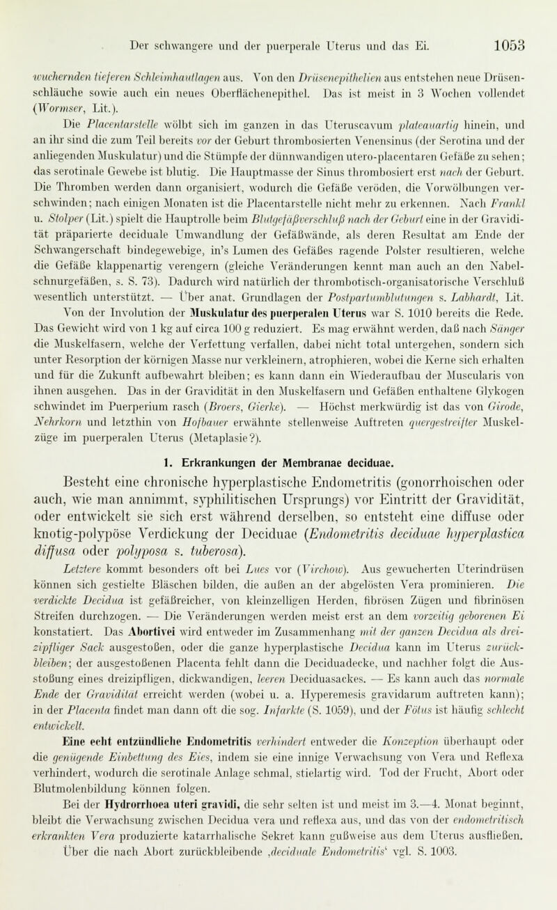 wuchernden tieferen Sclileiniliaiiilagen aus. Von den DrüaenepüJielien aus entstehen neue Drüsen- schläuche sowie aucli ein neues Oberflächenepitliel. Das ist meist in 3 Wochen vollendet (Wormser, Lit.). Die Placenlart-tcUe wölbt sich im ganzen in das Uteruscavum platvauarliij hinein, und an ihr sind die zum Teil bereits vor der Geburt thrombosierten Venensinus (der Serotina und der anliegenden Muskulatur) und die Stümpfe der dünnwandigen utero-placentaren Gefäße zu sehen; das serotinale Gewebe ist blutig. Die Hauptmasse der Sinus thrombosiert erst nach der Geburt. Die Thromben werden dann organisiert, wodurcli die Gefäße veröden, die Vorwölbungen ver- schwinden : nach einigen Monaten ist die Placentaistelle nicht mehr zu erkennen. Nach Frunld u. Sto]per{lAt.) spielt die Hauptrolle beim Bliitiiefußn'rachluß nach der Gehurl eine in der Gravidi- tät präparierte deciduale Umwandlung der Gefäßwände, als deren Resultat am Ende der Schwangerschaft bindegewebige, in's Lumen des Gefäßes ragende Polster resultieren, welche die Gefäße klappenartig verengern (gleiche Veränderungen kennt man auch an den Nabel- schnurgefäßen, s. S. 73). Dadmch wird natüilich der thrombotiscli-organisatorische Verschluß wesentHch unterstützt. — Über anat. Grundlagen der Poslparlunihluiumjen s. Lahhardt, Lit. Von der Involution der Muskulatur des puerperalen Uterus war S. 1010 bereits die Rede. Das Gewicht wird von 1 kg auf circa 100 g reduziert. Es mag erwähnt werden, daß nach Sänger die Muskelfasern, welche der Verfettung verfallen, dabei nicht total untergehen, sondern sich unter Resorption der körnigen Masse nur verkleinern, atrophieren, wobei die Kerne sich erhalten nnd für die Zukunft aufbewahrt bleiben; es kann dann ein Wiederaufbau der Jluscularis von ihnen ausgehen. Das in der Gravidität in den Muskelfasern und Gefäßen enthaltene Gl3'kogen schwindet im Puerperium rasch (Broers, Gierke). — Höchst merkwüi-dig ist das von Girode, Nehrkorn und letzthin von Hofbauer erwähnte stellenweise Auftreten quergestreifter Muskel- züge im puerperalen Utenis (Jletaplasie?). 1. Erkrankungen der Membranae deciduae. Besteht eine chronische hyperplastische Endometritis (gonorrhoischen oder auch, wie man annimmt, sj^ihilitischen Ursprungs) vor Eintritt der Gravidität, oder entwickelt sie sich erst während derselben, so entsteht eine diffuse oder knotig-polypöse Verdickung der Deciduae {Endometritis deciduae fiy per plastica diffusa oder pohjjMsa s. tuberosa). Letztere kommt besonders oft bei Lues vor [Virchow). Aus gewucherten Utermdrüsen können sich gestielte Bläschen bilden, die außen an der abgelösten Vera prominieren. Die xvrdickte Decidua ist gefäßreicher, \-on kleinzelligen Herden, fibrösen Zügen und fibrmösen Streifen durchzogen. — Die Veränderungen werden meist erst an dem vorzeitig geborenen Ei konstatiert. Das Abortivei wird entweder im Zusammenhang mit der ganzen Decidua als drei- zipfliger Sack ausgestoßen, oder die ganze hyperplastische Decidua kann im Uterus zurück- lleiben; der ausgestoßenen Placenta fehlt dann die Deciduadecke, und nachher folgt die Aus- stoßung eines dreizipfligen, dickwandigen, leeren Deciduasackes. — Es kann auch das normale Ende der Gravidität erreicht werden (wobei u. a. Hyperemesis gravidarum auftreten kann); in der Placenta findet man dann oft die sog. Infarkte (S. 1059), und der Fötus ist häufig schlecht entmckelf. Eine echt entzündliclic Endometritis verhindert entweder die Konzeption überhaupt oder die genügende Einbettung des Eici, indem sie eine innige Verwachsung von Vera und Reflexa verhindert, wodurch die serotinale Anlage schmal, stielartig wüd. Tod der Frucht, Abort oder Blutmolenljildung können folgen. Bei der Hydrorrlioea uteri gravidi, die sehr selten ist und meist im 3.—4. Monat beginnt, bleibt die Verwachsung zwischen Decidua vera und retlexa aus, und das von der cndometritisch erkrankten Vera produzierte katarrhalische Sekret kann gußweise aus dem Uterus ausfließen. Über die nach Abort zurückljleibende ,decidualc Endometritis' vgl. S. 1003.