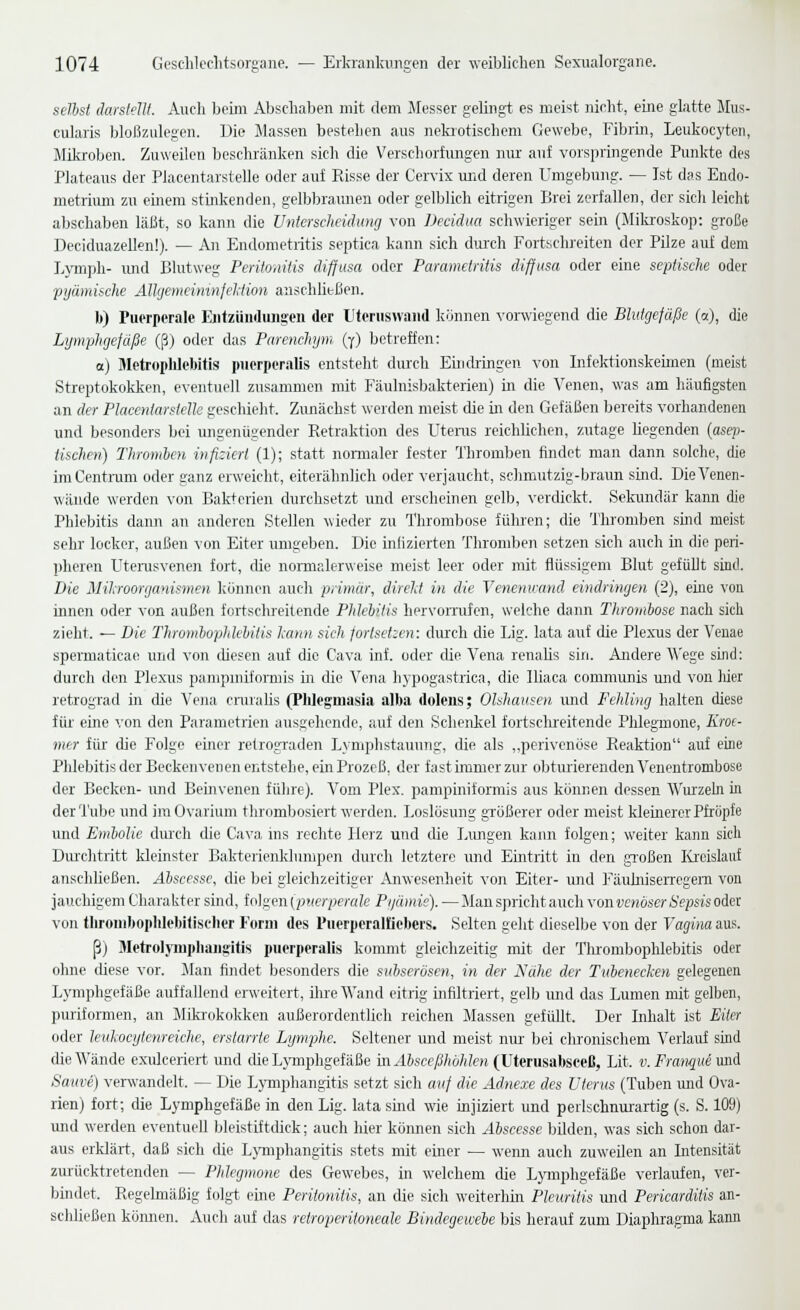 seihst darstellt. Auch beim Abschaben mit dem Messer gelingt es meist nicht, eine glatte Mus- cularis bloßzulegen. Die Massen bestehen aus nekiotischem Gewebe, Fibrin, Leukocyteii, Mikroben. Zuweilen beschränken sich die Verschorfimgen nur auf vorspringende Punkte des Plateaus der Placentarstelle oder auf Risse der Cervix und deren Umgebung. — Ist das Endo- metrium zu einem stinkenden, gelbbraimen oder gelblich eitrigen Brei zerfallen, der sicJi leicht abschaben läßt, so kann die Unterscheidung von Decidua schwieriger sein (Mila'oskop: große Deciduazellen!). — An Endometritis septica kann sich durch Fortschreiten der Pilze auf dem Lymph- und Blntweg Peritonitis diffusa oder Parametritis diffusa oder eine septische oder pyiimische Angenwimnfeliion anschließen. b) Puerperale Eiitziiiiduiigen der LItorus»'and künncn vorwiegend die Blutgefäße (a), die Lymphgefäße (ß) oder das Parenchijm. (y) betreffen: o) Metrophlcbltis puerperalis entsteht durch Eindringen von Infektionskeünen (meist Streptokokken, eventuell zusammen mit Fäulnisbakterien) in die Venen, was am häufigsten an der Placentarstelle geschieht. Zunächst werden meist die in den Gefäßen bereits vorhandenen und besonders bei ungenügender Retraktion des Uteiiis reichUchen, zutage liegenden {asep- tischen) Thromlen infiziert (1); statt normaler fester Thromben findet man dann solche, die im Centrum oder ganz erweicht, eiterähnlich oder ver jaucht, schmutzig-braun sind. Die Venen- wände werden von Bakterien durchsetzt und erscheinen gelb, verdickt. Sekundär kann die Phlebitis dann an anderen Stellen wieder zu Thrombose führen; die Thromben sind meist sehr locker, außen von Eiter umgeben. Die infizierten Thromben setzen sich auch in die peri- pheren Uterusvenen fort, die normalerweise meist leer oder mit flüssigem Blut gefüUt sind. Die Mikroorganismen können auch primär, direkt in die Venenwand eindringen (2), eine von innen oder von außen fortschreitende Phlebitis hervomifen, welche dann Thrombose nach sidi zieht. — Die Tiiroinloplikhitis kann sich jortset:en: durch die Lig. lata auf die Plexus der Veuae spermaticae und von lüesrn auf die Cava inf. oder die Vena renahs sin. Andere A\'ege sind: durch den Plexus pajnpuiiformis m die Vena hypogastrica, die Iliaca commimis und von liier retrograd in die Vena cmrahs (Phlegmasia alba dolens; Olshausen und Fehling halten diese für eine von den Parametrien ausgehende, auf den Schenkel fortsdrreitende Phlegmone, A'rof- mer für die Folge einer retrograden Lyniphstauung, die als „perivenüse Reaktion auf eine Phlebitis der Beckenveneu eritstehe, ein Prozeß, der fast immer zur oljturierenden Venentrombose der Becken- imd Beinvenen fülire). Vom Plex. pampiniformis aus können dessen Wui'zeln in der Tube und imOvarium thrombosiert werden. Loslösung gTößerer oder meist kleinerer Pfropfe und EmboUe dui'ch die Cava ins rechte Herz und die Limgen kann folgen; weiter kann sich Dm'clitritt kleinster Bakterienldumpen durch letztere und Eintritt in den großen lüeislauf anschließen. Abscesse, die bei gleichzeitiger Anwesenheit von Eiter- und ]<äuhiiseiTegeni von jauchigem Charakter sind, folgen {puerperale Pt/ämie). — Man spricht auch von venöser Sepsis oder von tliromboplilebltiselier Form des Puerperalfiebers. Selten geht dieselbe von der Vagina aus. ß) Metroljiupliaiigitis puorperalis kommt gleichzeitig mit der Tlu'ombophlebitis oder olme diese vor. Man findet besonders die subserösen, in der Nülie der Tubenecken gelegenen Lymphgefäße auffallend erweitert, ihre Wand eitrig infiltriert, gelb und das Lumen mit gelben, puriformen, an Mikrokokken außerordentlich reichen Massen gefüllt. Der Inhalt ist Eiter oder leiikocytenreiche, erstarrte Lymphe. Seltener und meist nur bei clironischem Verlauf süid die Wände exulceriert und die Lymphgefäße mAbsceßhöhlen (VtenisähseeH, Lit. v. Fratique xmi Sauve) verwandelt. — Die Lymiphangitis setzt sich a-uf die Adnexe des Uterus (Tuben und Ova- rien) fort; die Lymphgefäße in den Lig. lata smd wie injiziert und perlschnurartig (s. S. 109) und werden eventuell bleistiftdick; auch hier können sich Ahseesse bilden, was sich schon dar- aus erklärt, daß sich die Lj-mphangitis stets mit einer — wemi auch zuweilen an Intensität zurücktretenden — Phlegmone des Gewebes, in welchem die Ljanphgefäße verlaufen, ver- bindet. Regelmäßig folgt eine Peritonitis, an die sich weiterhin Pleuritis und Pericarditis an- schUeßen kömien. Auch auf das retroperitoneale Bindegewebe bis herauf zum Diaphragma kann